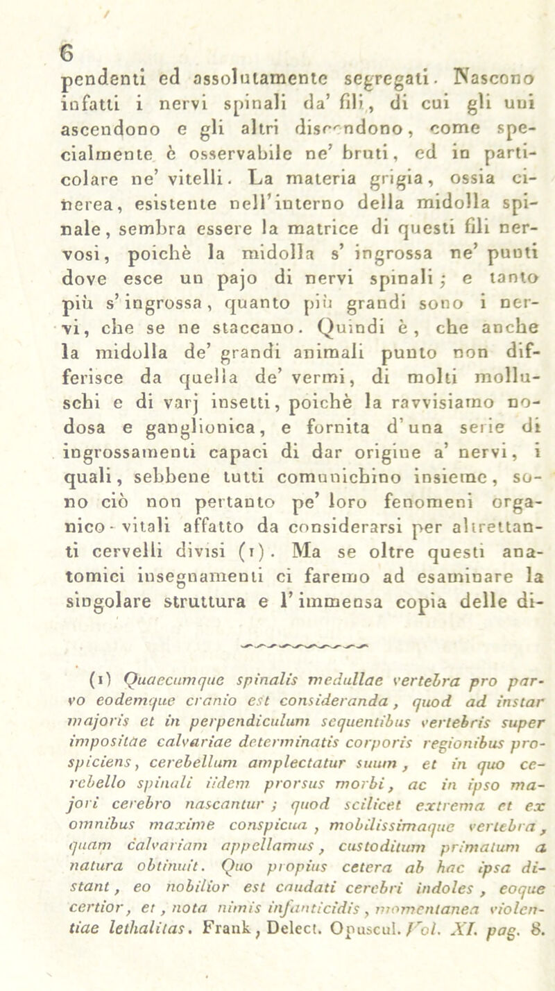 / 6 pendenti ed assolutamente segregali. Nascono infatti i nervi spinali da’ fili, di cui gli uni ascendono e gli altri discendono, come spe- cialmente è osservabile ne’ bruti, ed in parti- colare ne’ vitelli. La materia grigia, ossia ci- nerea, esistente nell’interno della midolla spi- nale, sembra essere la matrice di questi fili ner- vosi, poiché la midolla s’ ingrossa ne’ punti dove esce un pajo di nervi spinali ; e tanto più s’ingrossa, quanto più grandi sono i ner- vi, che se ne staccano. Quindi è, che anche la midolla de’ grandi animali punto non dif- ferisce da quella de’ vermi, di molti mollu- schi e di varj insetti, poiché la ravvisiamo no- dosa e ganglionica, e fornita d’una serie di ingrossamenti capaci di dar origine a’ nervi, i quali, sebbene lutti comunichino insieme, so- no ciò non pertanto pe’ loro fenomeni orga- nico-vitali affatto da considerarsi per altrettan- ti cervelli divisi (i). Ma se oltre questi ana- tomici insegnamenti ci faremo ad esaminare la singolare struttura e l’immensa copia delle di- (i) Quaecumque spìnalis tv ed alla e vertebra prò par- vo eodemcfue cranio est considerando, quod ad instar majoris et in perpendiculum sequentibus vertebris super impositàe calvariae determinatis corporis regionibus prò- spiciens, cerebellum amplectatur suum, et in quo ce- rebello spinali iidem prorsus morbi, ac in ipso ma- jori cerebro nascantur ; quod scilicet extrema et ex omnibus maxime conspiata , mobilissimaque vertebra, quam calvariam appellamus, custoditimi primatum a Tintura obtinuit. Quo propius celerà ab hoc ipsa di- stani, eo nobilior est caudati cerebrì indoles, eoque centor, et, nota nimis infanticìdis , momentanea violen-