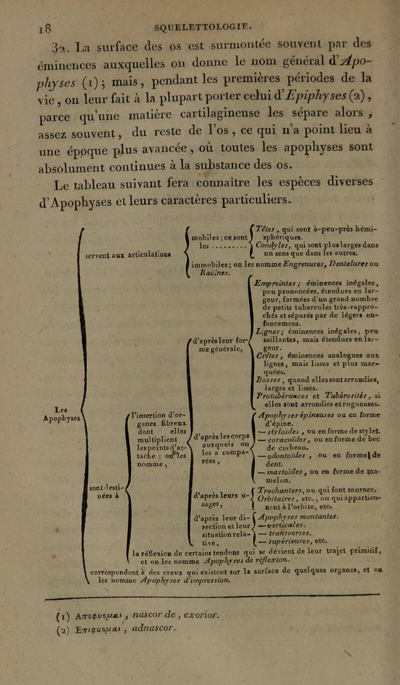 32. Lfi surface des os est surmontée souvent par des éminences auxquelles on donne le nom général ti'Apo- physes (1)5 mais, pendant les premières périodes de la vie, on leur fait à la plupart porter celui à'Epipliyses (2), parce qu’une matière cartilagineuse les sépare alors , assez souvent, du reste de l’os , ce qui n’a point lieu à une éppque plus avancée, où toutes les apophyses sont absolument continues a la substance des os. Le tableau suivant fera connaître les espèces diverses d’Apophyses et leurs caractères particuliers. ecTvent sux flrilcQl&tloDt Le» I Apopkytct I {Têtes , qui sont à-pcu«près béml- spbériques. Condyles, qui sont pluslargesdaos tin sens que dans les autres, immobiles; on \esuommtEn^renures, Denteluresoyx Racines. ^ Empreintes ; ëmioences inégales, peu prononcées, étendues en lar- geur, formées d’un grand nombre de petits tubercules tres-rappro- ebés et séparés par de légers en- foncemens. Lignes; éminences inégales, pen /d'aprèslcor for-/ saillantes, mais étendues enlar- me générale, \ geuT» Crêtes, éminences analogues aux lignes, mais lisses et plus mar« quées. Bosses^ quand ellessootarrondies, larges et lisses. Prot^érances et Tubérosités, si elles sont arrondies et rugueuses. Apophyses-épineuses ou en forme d'épine. styloides , ou en forme de stylet _ coracoïdes , ou en forme de bec - - 1 - ,\ de corbeau* iirtes les a compa-\—odontoïdes, ou en forme|de i dent. —. mastoides , ou en forme de paa- melon. f Trochanters^ OM qui font tourner. } Orbitaires^ etc., ou quiappartico- I nent à Torbite, etc* d’après leur di- f Apophyses montantes. 1 rcctîonetleur J —verticales. situation rcla-| —“ trans^erset, tivc, * — supérieures, etc. la réflexion de certains tendons qui sc dévient de leur Iraîet primitif, et on les nomme Apophyses ae réjlexion, correspondent à des creux qui exîsteut sur la surface de quelques organes, et on les nomme Apophyses d'impression. f l’insertion d’or- canes fibreux elles dont mul lliplient /d’aprc.le5corp. 1« points d’stA tache : o; nomme 80nldcsli-| nées à d’après leurs sages, (1) Awo^t/o//*!, nascor de , exorior. (a) , adriascor.