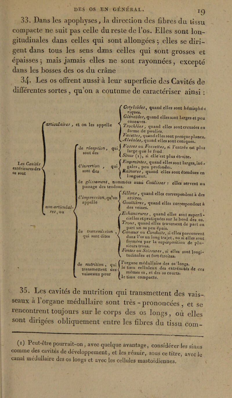 33. Dans les apophyses, la direction des fibres du tissu compacte ne suit pas celle du reste de l’os. Elles sont lon- gitudinales dans celles qui sont allongées ; elles se diri- gent dans tous les sens dans celles qui sont grosses et épaisses 5 mais jamais elles ne sont rayonnées, excepté dans les bosses des os du crâne 34. Les os offrent aussi à leur superficie des Cavités de diÛérentes sortes, qu’on a coutume de caractériser ainsi : ^articulaitef , et on les appelle Les Caviiér extérieures dcj < Oi SOQt de réception, sout des à'infertion , sont des [ non articulai^j ret ^ou ( # votj'loidcs^ quand elles sont hémisphén 1 riqnes. I Gléno'ides, quand ellcssont larges et peu J concaves. J Troclüéet, quand elles sont creusées en I forme de poulies, f quand elles sont presque planes, quand elles sont coniques. qui j 0“ Fossettes, .i l’entrée e»t pluj ’ \ large que le fond. ( Sinus (i), si elle est plus étroite. iÆ’rrîpreinfer, quand elles sont larges, iné.. gales, peu profondes. Mainures, quand elles sont étendues en longueur. de glissement,, nommées aussi Coulissa : elles servent au passage des tendons. ÇSillons, quand elles correspondent à des il artères. \ Gouttières, quand elles correspondent à ■ des veines. ^ •Echancrures,, quand elles sontiuperfî* cielles et pratiquées sur le bord des os. 2ro/ir, quand elles traversent de part ca part un os peu épais. Canaux on Conduits, si elles parconrent dans Tos un long trajet, ou si elles sont formées par la superposition de plu- sieurs trous. ‘ Fentes ou Scissures, si elles sont longi- tudinales et fort étroites. d*impression, qu’on J appelle ^ ' de transmission qui sont dites de nutrition, qui transmettent des vaisseaux pour l’organe médullaire des os'longs, le tissu celluleux des extrémités de ces mêmes os, et des os courts. ( t, le tissu compacte. 35. Les cavités de nutrition qui transmettent des vais- seaux à l’organe médullaire sont très - prononcées , et se rencontrent toujours sur le corps des os longs, où elles sont dirigées obliquement entre les fibres du tissu com- (i) Peut-ttre pourrait-on, avec quelque avantage, considérer les sinus comme des cavités de développement, et les réuuir, sous ce titre, avec le canal médullaire des os longs et avec les cellules mastoïdiennes.