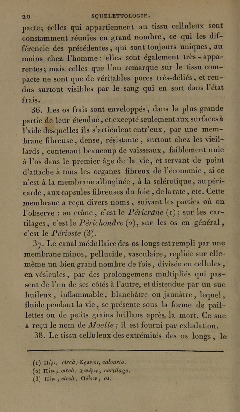 pactes eelles qui appartiennent au tissu celluleux sont constamment l’éunies en grand nombre, ce qui les dif- férencie des précédentes, qui sont toujours uniques, au moins chez l’homme : elles sont également très - appa- rentes; mais celles que l’on remarque sur le tissu com- pacte ne sont que de véritables pores très-déliés, et ren- dus surtout visibles par le sang qui en sort dans l’état frais. 36. Les os frais sont enveloppés, dans la plus grande partie de leur étendue, et excepté seulement aux surfaces à l’aide desquelles ils s’articulent entr’eux, par une mem- brane fibreuse, dense, résistante , surtout chez les vieil- lards , contenant beaucoup de vaisseaux, faiblement unie à l’os dans le premier âge de la vie, et servant de point d’attache à tous les organes fibreux de l’économie , si ce xi’est à la membrane albuginée , à la sclérotique, au péri- carde , aux capsules fibreuses du foie , de la rate, etc. Cette membrane a reçu divers noms , suivant les parties où on l’observe : au ci’âne , c’est le Péricrâne (i) ; sur les car- tilages , c’est le Périchondre (2), sur les os en général, c’est le Périoste (3). 37. Le canal médullaire des os longs est rempli par une membrane mince, pellucide, vasculaire, repliée sur elle- même un bien grand nombre de fois, divisée en cellules , en vésicules, par des prolongemens multipliés qui pas- sent de l’un de ses côtés à l’autre, et distendue par un suc huileux, inflammable, blanchâtre ou jaunâtre, lequel, fluide pendant la vie, se pi'ésente sous la forme de pail- lettes ou de petits grains brillans après, la mort. Ce suc a reçu le nom de Moelle; il est fourni par exhalation. 38. Le tissu celluleux des extrémités des os loncrs . le (l) nsp*» circa; Kça.itov, calt>aria. (3) n«p», circ'a; ;^:ov<t'poç, carlUago. (3) ritp* J circà ; O^ior, os.