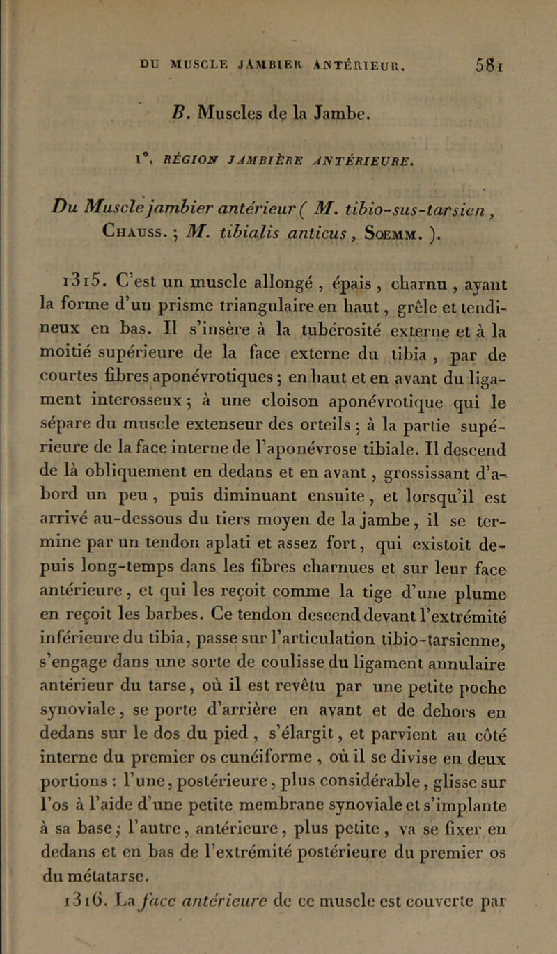 B. Muscles de la Jambe. l”, RÉGION JAMBIÈRE ANTÉRIEURE. Du Muscle jambier antérieur ( M. tibio-sus-tarsicn, Chauss. 5 M. tibialis anticus, Soemm. ). i3i5. C’est un muscle allongé , épais , charnu , ayant la forme d’un prisme triangulaire en haut, grêle et tendi- neux en bas. Il s’insère à la tubérosité externe et à la moitié supérieure de la face externe du tibia , par de courtes fibres aponévrotiques ; en haut et en avant du liga- ment interosseux *, à une cloison aponévrotique qui le sépare du muscle extenseur des orteils j à la partie supé- rieure de la face interne de l’aponévrose tibiale. Il descend de là obliquement en dedans et en avant, grossissant d’a- bord un peu, puis diminuant ensuite, et lorsqu’il est arrivé au-dessous du tiers moyen de la jambe, il se ter- mine par un tendon aplati et assez fort, qui existoit de- puis long-temps dans les fibres charnues et sur leur face antérieure, et qui les reçoit comme la tige d’une plume en reçoit les barbes. Ce tendon descend devant l’extrémité inférieure du tibia, passe sur l’articulation tibio-tarsienne, s’engage dans une sorte de coulisse du ligament annulaire antérieur du tarse, où il est revêtu par une petite poche synoviale, se porte d’arrière en avant et de dehors en dedans sur le dos du pied , s’élargit, et parvient au côté interne du premier os cunéiforme , où il se divise en deux portions : l’une, postérieure, plus considérable, glisse sur l’os à l’aide d’une petite membrane synoviale et s’implante à sa base; l’autre, antérieure, plus petite , va se fixer en dedans et en bas de l’extrémité postérieure du premier os du métatarse. x3iü. IurJucc antérieure de ce muscle est couverte par