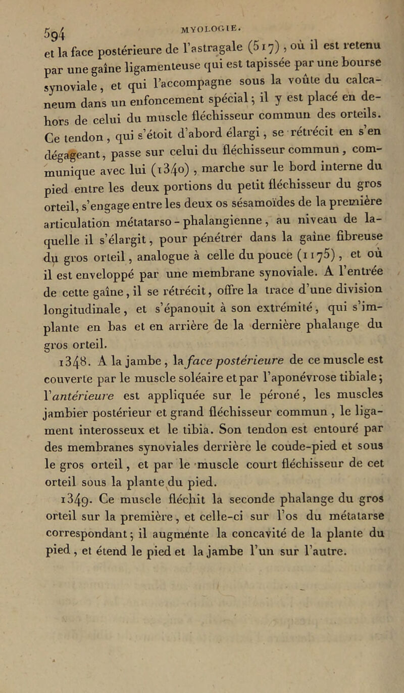 5g,MYOLOCIE. et la face postérieure de l’astragale (5x7), où il est retenu par une gaine ligamenteuse qui est tapissée par une bourse synoviale, et qui l’accompagne sous la voûte du calca- néum dans un enfoncement spécial ; il y est placé en de- hors de celui du muscle fléchisseur commun des orteils. Ce tendon , qui s’étoit d’abord élargi, se rétrécit en s’en dégageant, passe sur celui du fléchisseur commun, com- munique avec lui (i34o) , marche sur le bord interne du pied entre les deux portions du petit fléchisseur du gros orteil, s’engage entre les deux os sésamoïdes de la première articulation métatarso-phalangienne, au niveau de la- quelle il s’élargit, pour pénétrer dans la gaine fibreuse du gros orteil, analogue à celle du pouce (1175), et où il est enveloppé par une membrane synoviale. A l’entrée de cette gaine, il se rétrécit, offre la trace d’une division longitudinale , et s’épanouit à son extrémité, qui s’im- plante en bas et en arrière de la dernière phalange du gi’os orteil. 1343. A la jambe , liiface postérieure de ce muscle est couvei’te par le muscle soléaire et par l’aponévi'ose tibiale ; Vantérieure est appliquée sur le péroné, les muscles jambier postérieur et grand fléchisseur commun , le liga- ment interosseux et le tibia. Son tendon est entouré par des membranes synoviales deri'ière le coude-pied et sous le gros orteil, et par le 'muscle court fléchisseur de cet orteil sous la plante,du pied. 1349. Ce muscle fléchit la seconde phalange du gros orteil sur la premièi'e, et celle-ci sur l’os du métatarse correspondant ^ il augmente la concavité de la plante du pied , et étend le pied et la jambe l’un sur l’autre.