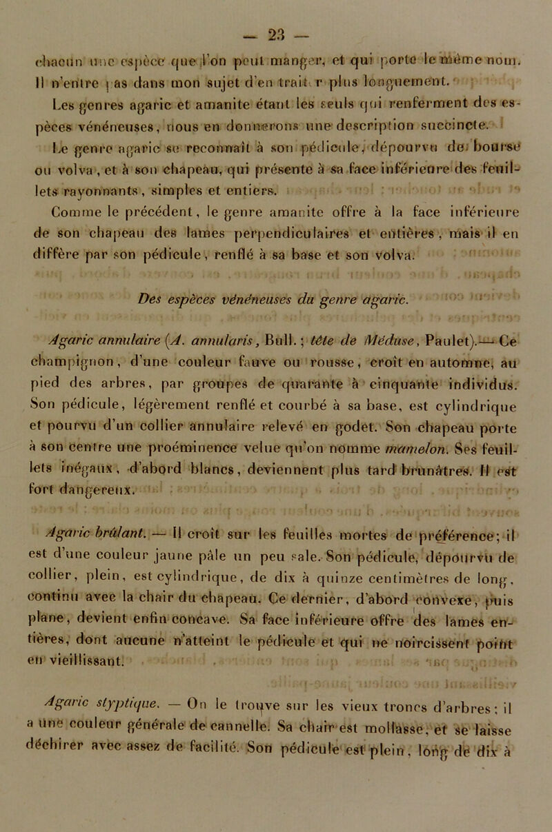 chacun une espèce que,l’on pouL manger, et qui porte le même nom. Il n’entre pas clans mon sujet d’en trait r plus longuement. Les genres agaric et amanite étant les seuls qui renferment des es- pèces vénéneuses, nous en donnerons une description succincte. Le genre agaric se reconnaît à son pédicule, dépourvu de. bourse ou volva , et à son chapeau, qui présente à sa face inférieure des feuil- lets rayonnants , simples et entiers. Comme le précédent, le genre amanite offre à la face inférieure de son chapeau des lames perpendiculaires et entières , mais il eu diffère par son pédicule , renflé à sa base et son volva. - ni,; t ,-•?<« ' • . IIB'Hpdo Des espèces vénéneuses du genre agaric. / p ) * '.• * -» • j ‘ .p , '. i . (.* » • i ! - f j ' • • I ' f -•? . ’ W» f «r? «.m f Agaric annulaire (A. annulons, Bull. ; tète de Méduse, Paulet).—- Ce champignon, d’une couleur fauve ou rousse, croît en automne, au pied des arbres, par groupes de quarante à cinquante individus. Son pédicule, légèrement renflé et courbé à sa base, est cylindrique et pourvu d’un collier annulaire relevé en godet. Son chapeau porte à son centre une proéminence velue qu’on nomme mamelon. Ses feuil- lets inégaux, d’abord blancs, deviennent plus tard brunâtres. Il est fort dangereux. *■ : ‘ '1 - ion. ! .:• air r • .*; r lu- omu h •r'iqi’i: -.s t« r/uok Agaric brûlant. — Il croit sur les feuilles mortes de préférence; il est dune couleur jaune pâle un peu .«ale. Son pédicule, dépourvu de collier, plein, est cylindrique, de dix à quinze centimètres de long, continu avec la chair du chapeau. Ce dernier, d’abord convexe, puis plane, devient enfin concave. Sa face inférieure offre des lames en- tières, dont aucune n’atteint le pédicule et qui ne noircissent poiht en vieillissant. T ' O' Agaric stfptu/ue. — On le troqve sur les vieux troncs d’arbres; il a une couleur générale de cannelle. Sa chair est mollasse, et se laisse déchirer avec assez de facilité. Son pédicule est plein, long de dix à