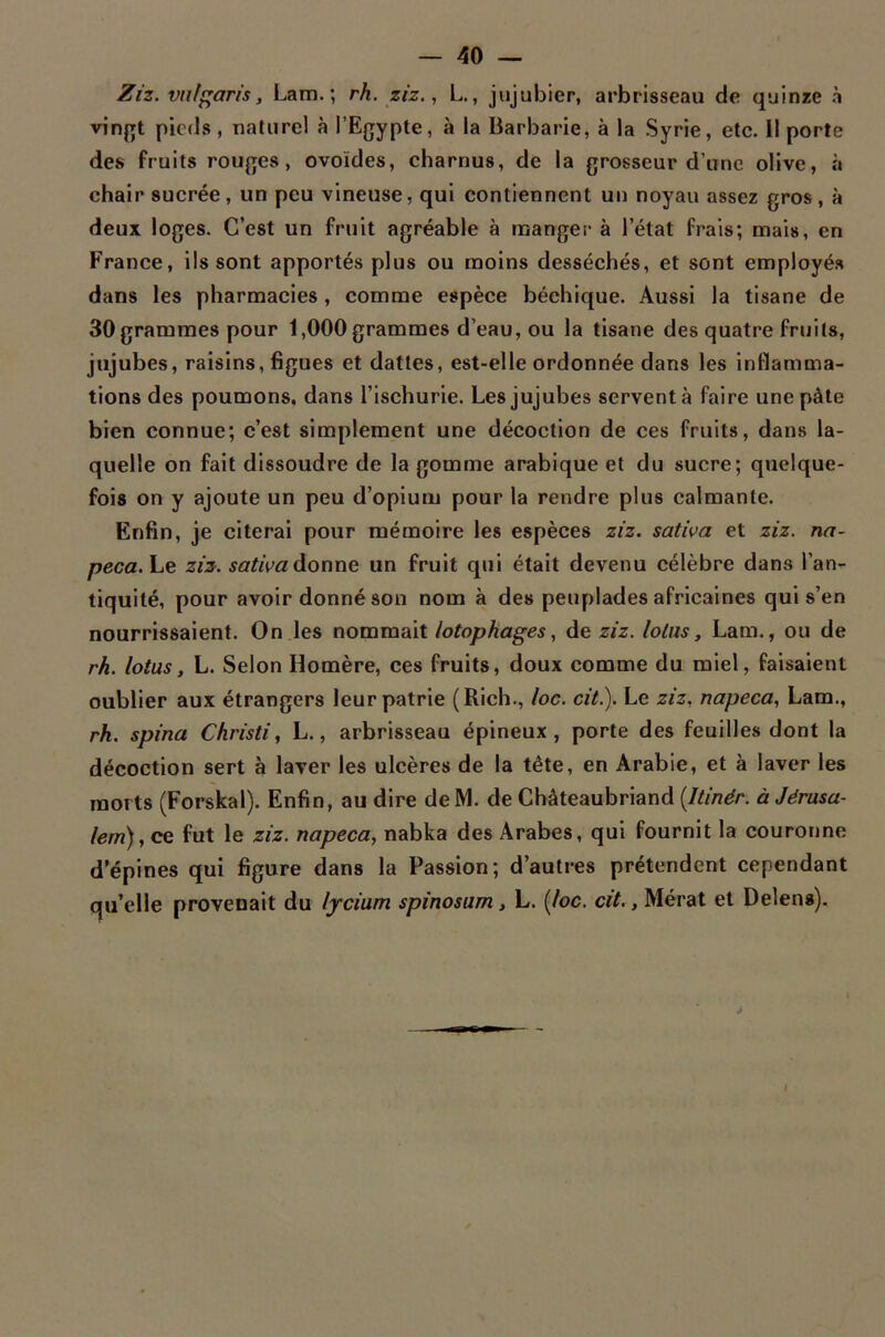 Ziz. vulf^aris, Lam. ; rh. ziz., L, jujubier, arbrisseau de quinze à vingt pieds, naturel à l’Egypte, à la Barbarie, à la Syrie, etc. 11 porte des fruits rouges, ovoïdes, charnus, de la grosseur d’une olive, à chair sucrée, un peu vineuse, qui contiennent un noyau assez gros, à deux loges. C’est un fruit agréable à manger à l’état frais; mais, en France, ils sont apportés plus ou moins desséchés, et sont employés dans les pharmacies, comme espèce béchique. Aussi la tisane de 30 grammes pour 1,000 grammes d’eau, ou la tisane des quatre fruits, jujubes, raisins, figues et dattes, est-elle ordonnée dans les inflamma- tions des poumons, dans l’ischurie. Les jujubes servent à faire une pâte bien connue; c’est simplement une décoction de ces fruits, dans la- quelle on fait dissoudre de la gomme arabique et du sucre; quelque- fois on y ajoute un peu d’opium pour la rendre plus calmante. Enfin, je citerai pour mémoire les espèces ziz. sativa et ziz. na- peca.Le ziz. satwadonne un fruit qui était devenu célèbre dans l’an- tiquité, pour avoir donné son nom à des peuplades africaines qui s’en nourrissaient. On les nommait lotophages, de ziz. lolus, Lam., ou de rh. lotus, L. Selon Homère, ces fruits, doux comme du miel, faisaient oublier aux étrangers leur patrie (Rich., loc. cit). Le ziz, napeca, Lam., rh. spina Christi, L., arbrisseau épineux, porte des feuilles dont la décoction sert à laver les ulcères de la tête, en Arabie, et à laver les morts (Forskal). Enfin, au dire deM. de Châteaubriand [Itinér. à Jérusa- lem), ce fut le ziz. napeca, nabka des Arabes, qui fournit la couronne d’épines qui figure dans la Passion; d’autres prétendent cependant qu’elle provenait du lycium spinosum, L. {loc. cit., Mérat et Delens).