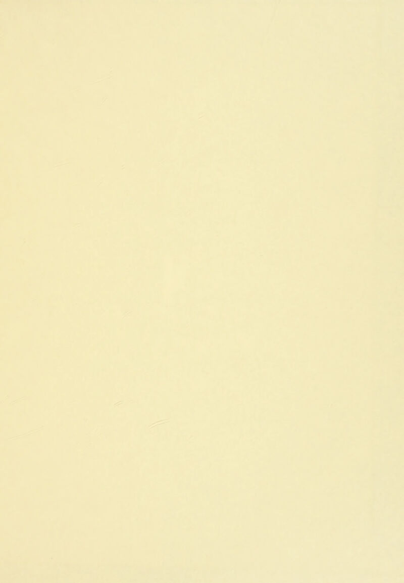 î .♦* *•> * * Y ï: A *- .i I 4^ ^