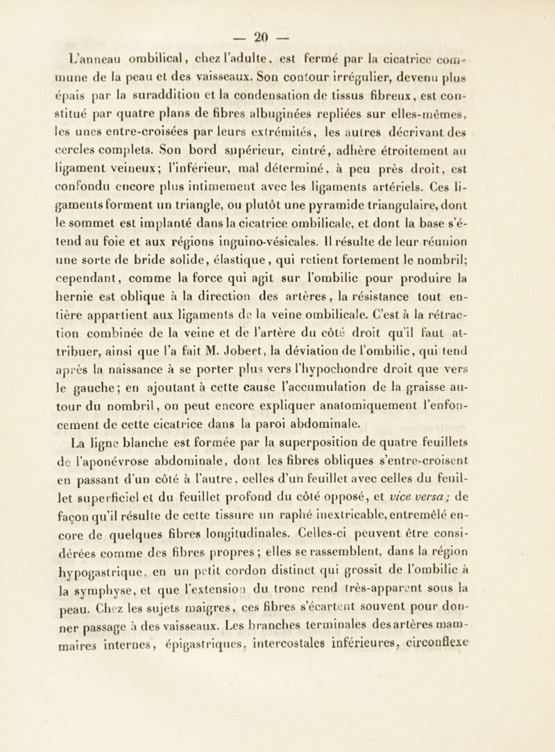 L’anneau ombilical, chez l’adulte, est fermé par la cicatrice com- mune de la peau et des vaisseaux. Son contour irrégulier, devenu plus épais par la suraddition et la condensation de tissus fibreux, est con- stitué par quatre plans de fibres albuginées repliées sur elles-mêmes, les unes entre-croisées parleurs extrémités, les autres décrivant des cercles complets. Son bord supérieur, cintré, adhère étroitement au ligament veineux; l’inférieur, mal déterminé, à peu près droit, est confondu encore plus intimement avec les ligaments artériels. Ces li- gaments forment un triangle, ou plutôt une pyramide triangulaire, dont le sommet est implanté dans la cicatrice ombilicale, et dont la base s’é- tend au foie et aux régions inguino-vésicales. Il résulte de leur réunion une sorte de bride solide, élastique, qui retient fortement le nombril; cependant, comme la force qui agit sur l’ombilic pour produire la hernie est oblique à la direction des artères, la résistance tout en- tière appartient aux ligaments de la veine ombilicale. C’est à la rétrac- tion combinée de la veine et de l’artère du côté droit qu’il faut at- tribuer, ainsi que l’a fait M. Jobert, la déviation de l’ombilic, qui tend après la naissance à se porter plus vers l’hvpochondre droit que vers le gauche; en ajoutant à cette cause l'accumulation de la graisse au- tour du nombril, on peut encore expliquer anatomiquement l’enfon- cement de cette cicatrice dans la paroi abdominale. La ligne blanche est formée par la superposition de quatre feuillets de l’aponévrose abdominale, dont les fibres obliques s’entre-croisent en passant d’un côté à l’autre, celles d’un feuillet avec celles du feuil- let superficiel et du feuillet profond du côté opposé, et vice versa; de façon qu’il résulte de cette tissure un raphé inextricable, entremêlé en- core de quelques fibres longitudinales. Celles-ci peuvent être consi- dérées comme des fibres propres; elles se rassemblent, dans la région hypogastrique, en un petit cordon distinct qui grossit de l’ombilic à la symphyse, et que l’extension du tronc rend très-apparent sous la peau. Chez les sujets maigres, ces fibres s’écartent souvent pour don- ner passage à des vaisseaux. Les branches terminales desartères mam- maires internes, épigastriques, intercostales inférieures, circonflexe