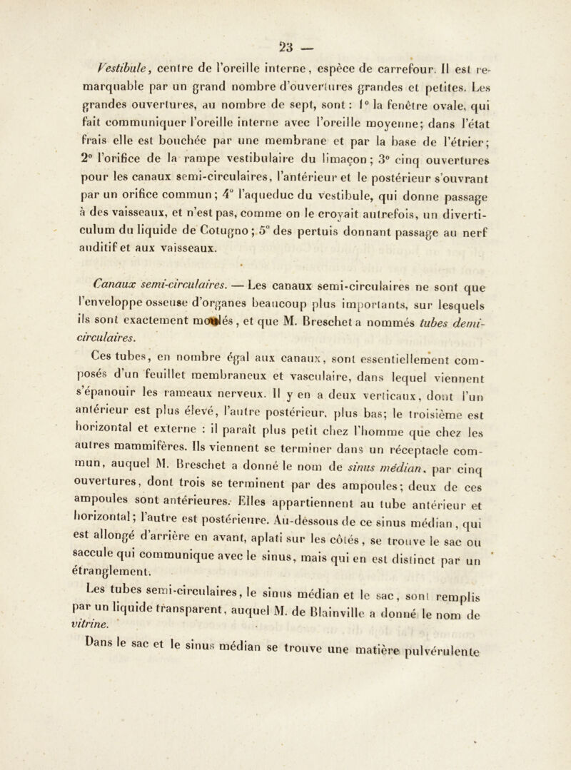 Vestibule, centre de l’oreille interne, espèce de carrefour. Il est re- marquable par un grand nombre d’ouvertures grandes et petites. Les grandes ouvertures, au nombre de sept, sont: 1° la fenêtre ovale, qui fait communiquer l’oreille interne avec l’oreille moyenne; dans letat frais elle est bouchée par une membrane et par la base de l’étrier; 2° l’orifice de la rampe vestibulaire du limaçon; 3° cinq ouvertures pour les canaux semi-circulaires, l’antérieur et le postérieur s’ouvrant par un orifice commun; 4° l’aqueduc du vestibule, qui donne passage à des vaisseaux, et n’est pas, comme on le croyait autrefois, un diverti- culum du liquide de Cotugno; 5° des pertuis donnant passage au nerf auditif et aux vaisseaux. Canaux semi-circulaires. — Les canaux semi-circulaires ne sont que l’enveloppe osseuse d’organes beaucoup plus importants, sur lesquels ils sont exactement moitiés, et que M. Brescheta nommés tubes demi- circulaires. Ces tubes, en nombre égal aux canaux, sont essentiellement com- posés d’un feuillet membraneux et vasculaire, dans lequel viennent s’épanouir les rameaux nerveux. Il y en a deux verticaux, dont l’un antérieur est plus élevé, l’autre postérieur, plus bas; le troisième est horizontal et externe : il parait plus petit chez l’homme que chez les autres mammifères. Ils viennent se terminer dans un réceptacle com- mun, auquel M. Breschet a donné le nom de sinus médian, par cinq ouvertures, dont trois se terminent par des ampoules; deux de ces ampoules sont antérieures.- Elles appartiennent au tube antérieur et horizontal ; l’autre est postérieure. Au-dessous de ce sinus médian , qui est allongé d’arrière en avant, aplati sur les côtés, se trouve le sac ou saccule qui communique avec le sinus, mais qui en est distinct par un étranglement. Les tubes semi-circulaires, le sinus médian et le sac, sont remplis par un liquide transparent, auquel M. de Blainville a donné le nom de vitrine. Dans le sac et le sinus médian se trouve une matière pulvérulente