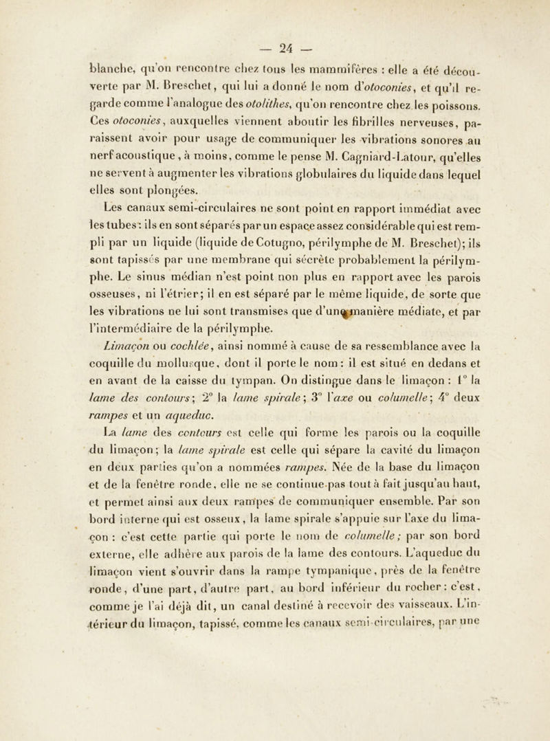 blanche, qu’on rencontre chez tous les mammifères : elle a été décou- verte par M. Breschet, qui lui a donné le nom d'otoconies, et qu’d re- garde comme l’analogue des otolithes, qu’on rencontre chez les poissons. Ces otoconies, auxquelles viennent aboutir les fibrilles nerveuses, pa- raissent avoir pour usage de communiquer les vibrations sonores au nerf acoustique , à moins, comme le pense M. Cagniard-Latour, quelles ne servent à augmenter les vibrations globulaires du liquide dans lequel elles sont plongées. Les canaux semi-circulaires ne sont point en rapport immédiat avec les tubes: ils en sont séparés par un espace assez considérable qui est rem- pli par un liquide (liquide deCotugno, périlymphe de M. Breschet); ils sont tapissés par une membrane qui sécrète probablement la périlym- phe. Le sinus médian n’est point non plus en rapport avec les parois osseuses, ni l’étrier; il en est séparé par le même liquide, de sorte que les vibrations ne lui sont transmises que d’un^manière médiate, et par l’intermédiaire de la périlymphe. Limaçon ou cochlée, ainsi nommé à cause de sa ressemblance avec la coquille du mollusque, dont il porte le nom: il est situé en dedans et en avant de la caisse du tympan. On distingue dans le limaçon : 1° la lame des contours; 2° la lame spirale ; 3° 1 axe ou co/umelle; 4° deux rampes et un aqueduc. La lame des contours est celle qui forme les parois ou la coquille du limaçon; la lame spirale est celle qui sépare la cavité du limaçon en deux parties qu’on a nommées rampes. Née de la base du limaçon et de la fenêtre ronde, elle ne se continuepas tout à fait jusqu’au haut, et permet ainsi aux deux ram'pes de communiquer ensemble. Par son bord interne qui est osseux, la lame spirale s’appuie sur l’axe du lima- çon : c’est cette partie qui porte le nom de columelle ; par son bord externe, elle adhère aux parois de la lame des contours. L’aqueduc du limaçon vient s’ouvrir dans la rampe tympanique, près de la fenêtre ronde, d’une part, d’autre part, au bord inférieur du rocher : c’est, comme je l’ai déjà dit, un canal destiné à recevoir des vaisseaux. L in- térieur du limaçon, tapissé, comme les canaux semi-circulaires, par une