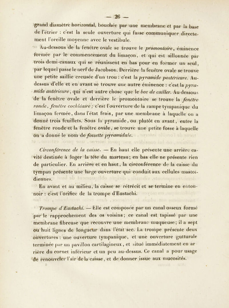 grand diamètre horizontal, bouchée par une membrane et par la base de l’étrier : c’est la seule ouverture qui fasse communiquer directe- ment l’oreille moyenne avec le vestibule. Au-dessous de la fenêtre ovale se trouve le promontoire, éminence formée par le commencement du limaçon, et qui est sillonnée par trois demi-canaux qui se réunissent en bas pour en former un seul, par lequel passe le nerf de Jacobson. Derrière la fenêtre ovale se trouve une petite saillie creusée d’un trou : c’est la pyramide postérieure. Au- dessus d’elle et en avant se trouve une autre éminence : c’est la pyra- mide antérieure, qui n’est autre chose que le bec de cuiller. Au dessous de la fenêtre ovale et derrière le promontoire se trouve la fenêtre ronde, fenêtre cochléaire ; c’est l’ouverture de la rampe tympauique du limaçon fermée, dans l’état frais, par une membrane à laquelle on a donné trois feuillets. Sous la pyramide, ou plutôt en avant, entre la fenêtre ronde et la fenêtre ovale, se trouve une petite fosse à laquelle on a donné le nom dé fossette pyramidale. Circonférence de la caisse. — En haut elle présente une arrière ca- vité destinée à loger la tète du marteau; en bas elle ne présente rien de particulier. En arrière et en haut, la circonférence de la caisse du tympan présente une large ouverture qui conduit aux cellules mastoï- diennes. En avant et au milieu, la caisse se rétrécit et se termine en enton- noir : c’est l’orifice de la trompe d’Eustachi. Trompe d'Eustachi. — Elle est composée par un canal osseux formé parle rapprochement des os voisins; ce canal est tapissé par une membrane fibreuse que recouvre une membrane muqueuse; il a sept ou huit lignes de longueur dans l’état sec. La trompe présente deux ouvertures: une ouverture lympanique, et une ouverture gutturale terminée par un pavillon cartilagineux , et situé immédiatement en ar rière du cornet inférieur et un peu au-dessus. Ce canal a pour usage de renouveler l’air delà caisse, et de donner issue aux mucosités.