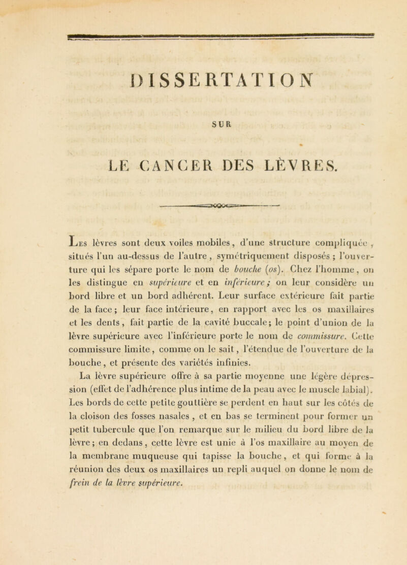 SLR LE CANCER DES LÈVRES. Les lèvres sont deux voiles mobiles, d’une structure compliquée , situés l’un au-dessus de l’autre, symétriquement disposés; l’ouver- ture qui les sépare porte le nom de bouche (os). Chez l’homme, on les distingue en supérieure et en inférieure; on leur considère un bord libre et un bord adhérent. Leur surface extérieure fait partie de la face ; leur face intérieure, en rapport avec les os maxillaires et les dents, fait partie de la cavité buccale; le point d’union de la lèvre supérieure avec l’inférieure porte le nom de commissure. Cette commissure limite, comme on le sait, l’étendue de l’ouverture de la bouche, et présente des variétés infinies. La lèvre supérieure offre à sa partie moyenne une légère déprés- sion (effet de l’adhérence plus intime de la peau avec le muscle labial). Les bords de cette petite gouttière se perdent en haut sur les côtés de la cloison des fosses nasales , et en bas se terminent pour former un petit tubercule que l’on remarque sur le milieu du bord libre de la lèvre ; en dedans, cette lèvre est unie à l’os maxillaire au moyen de la membrane muqueuse qui tapisse la bouche, et qui forme à la réunion des deux os maxillaires un repli auquel on donne le nom de frein de la lèvre supérieure.