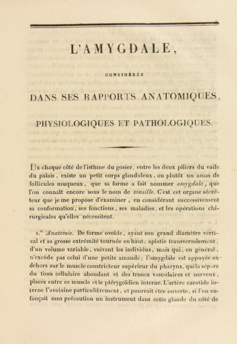 CONSIDÉRÉE DA^S SES UAPl'ORTS ANATOMIQUES, PHYSIOLOGIQUES ET PATHOLOGIQUES. U. IJe chaque côté de l’isthme du gosier; entre les deux piliers du voile du palais , existe un petit corps glanduleux, ou plutôt un amas de follicules muqueux, que sa forme a fait nommer amygdale ^ que l’on connaît encore sous le nom de tonsille. C’est cet organe sécré- teur que je me propose d’examiner , en considérant successivement sa conformation, ses fonctions, ses maladies, et les opérations chi- rurgicales qu’elles''nécessitent. 1.® Anatomie. Déformé ovoïde, ayant son grand diamètre verti- cal et sa grosse extrémité tournée en haut, aplatie transversalement, d’un volume variable, suivant les individus, mais qui, en général , n’excède pas celui d’une petite amande; l’amygdale est appuyée en* dehors sur le muscle constricteur supérieur du pharynx, qui la sép.ire du tissu cellulaire abondant et des troncs vasculaires et nerveux , placés entre ce muscle elle ptérygoïdien interne. L’artère carotide in- terne l’avoisine particulièrement, et pourrait être ouverte, si l’on en- fonçait sans précaution un instrument dans cette glande du côté de