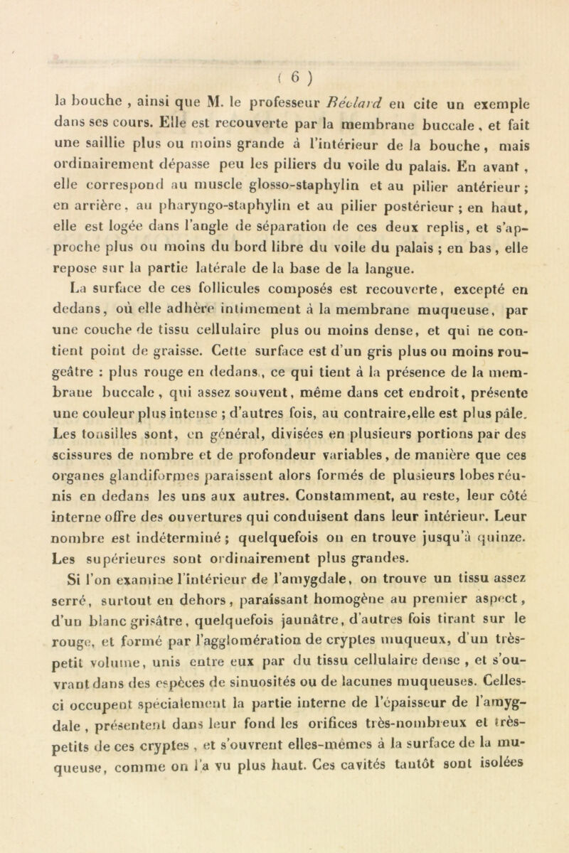 la bouche , ainsi que M. le professeur Béolard en cite un exemple dans ses cours. Elle est recouverte par la membrane buccale , et fait une saillie plus ou moins grande à l’intérieur de la bouche, mais ordinairement dépasse peu les piliers du voile du palais. En avant , elle correspond au muscle glosso-staphylin et au pilier antérieur; en arrière, au pharyngo-staphylin et au pilier postérieur ; en haut, elle est logée dans l’angle de séparation de ces deux replis, et s’ap- proche plus ou moins du bord libre du voile du palais ; en bas, elle repose sur la partie latérale de la base de la langue. La surface de ces follicules composés est recouverte, excepté en dedans, où elle adhère intimement à la membrane muqueuse, par une couche de tissu cellulaire plus ou moins dense, et qui ne con- tient point de graisse. Cette surface est d’un gris plus ou moins rou- geâtre ; plus rouge en dedans,, ce qui tient à la présence de la mem- brane buccale , qui assez souvent, même dans cet endroit, présente une couleur plus intense ; d’autres fois, au contraire,elle est plus pâle. Les tonsiiles sont, en général, divisées en plusieurs portions par des scissures de nombre et de profondeur variables, de manière que ces organes glandiformes paraissent alors formés de plusieurs lobes réu- nis en dedans les uns aux autres. Constamment, au reste, leur côté interne offre des ouvertures qui conduisent dans leur intérieur. Leur nombre est indéterminé ; quelquefois on en trouve jusqu’à quinze. Les supérieures sont ordinairement plus grandes. Si l’on examine rinlérieur de l’amygdale, on trouve un tissu assez serré, surtout en dehors, paraissant homogène au premier aspect, d’un blanc grisâtre, quelquefois jaunâtre, d’autres fois tirant sur le rouge, et formé par l’agglomération de cryptes muqueux, d’un très- petit volume, unis entre eux par du tissu cellulaire dense , et s’ou- vrant dans des espèces de sinuosités ou de lacunes muqueuses. Celles- ci occupent spécialement la partie interne de l’épaisseur de l’amyg- dale , présentent dans leur fond les orifices tiès-nombieux et très- petits de ces cryptes , et s’ouvrent elles-mêmes à la surface de la mu- queuse, comme on l’a vu plus haut. Ces cavités tantôt sont isolées