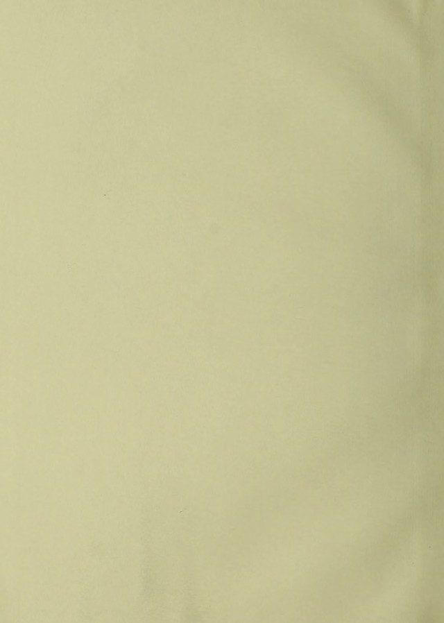 digitised image 2