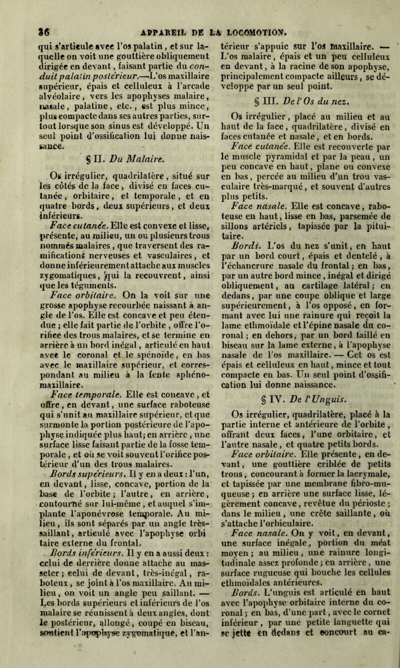 qui s'articule avee l’os palatin, et sur la- uelle on voit une gouttière obliquement irigée en devant, faisant partie du con- duit palatin postérieur.—L’os maxillaire supérieur, épais et celluleux à l’arcade alvéolaire , vers les apophyses malaire, nasale, palatine, etc., est plus mince, plus eompacte dans ses autres parties, sur- tout lorsque son sinus est développé. Un seul point d’ossification lui donne nais- sance. § II. Du Malaire. Os irrégulier, quadrilatère , situé sur les côtés de la face, divisé en faces cu- tanée , orbitaire, et temporale, et en quatre bords, deux supérieurs , et deux inférieurs. Face cutanée. Elle est convexe et lisse, présente, au milieu, un ou plusieurs trous nommés malaires , que traversent des ra- mifications nerveuses et vasculaires, et donne inférieurement attache aux muscles zygomatiques, jqui la recouvrent, ainsi que les téguments. Face orbitaire. On la voit sur une grosse apophyse recourbée naissant à an- gle de l'os. Elle est concave et peu éten- due ; elle fait partie de l’orbite , offre l’o- rifice des trous malaires, et se termine en arrière à un bord inégal, articulé en haut avec le coronal et le spénoïde, en bas avec le maxillaire supérieur, et corres- pondant au milieu à la fente sphéno- maxillaire. Face temporale. Elle est coneave, et offre, en devant, une surface raboteuse qui s’unit au maxillaire supérieur, et que surmonte la portion postérieure de l’apo- physe indiquée plus haut; en arrière , une surface lisse faisant partie de la fosse tem- porale , et où se voit souvent l’orifice pos- térieur d’un des trous malaires. Bords supérieurs. Il y en a deux : l’un, en devant, lisse, concave, portion de la base de l’orbite; l’autre, en arrière, contourné sur lui-même , et auquel s’im- plante l’aponévrose temporale. Au mi- lieu , ils sont séparés par un angle très- saillant, artieulé avec l'apophyse orbi taire externe du frontal. Bords inférieurs. Il y en a aussi deux : celui de derrière donne attache au mas- seter ; eelui de devant, très-inégal, ra- boteux , se joint à l’os maxillaire. Au mi- lieu , on voit un angle peu saillant. — Les bords supérieurs et inférieurs de l’os malaire se réunissent à deux angles, dont le postérieur, allongé, coupé en biseau, soutient l'apophyse zygomatique, et l’an- térieur s’appuie sur l’os maxillaire. — L'os malaire, épais et un peu celluleux en devant, à la racine de son apophyse, principalement compacte ailleurs, se dé- veloppe par un seul point. § III. Del’Os du nez. Os irrégulier, placé au milieu et au haut de la face, quadrilatère, divisé en faces cutanée et nasale, et en bords. Face cutanée. Elle est recouverte par le muscle pyramidal et par la peau, un peu concave en haut, plane ou convexe en bas, percée au milieu d’un trou vas- culaire très-marqué, et souvent d’autres plus petits. Face nasale. Elle est concave, rabo- teuse en haut, lisse en bas, parsemée de sillons artériels, tapissée par la pitui- taire. Bords. L’os du nez s’unit, en haut par un bord court, épais et dentelé , à l’échancrure nasale du frontal ; en bas, par un autre bord mince, inégal et dirigé obliquement, au cartilage latéral ; en dedans, par une coupe oblique et large supérieurement, à l’os opposé, en for- mant avec lui une rainure qui reçoit la lame etlimoïdale et l'épine nasale du co- ronal ; en dehors, par un bord taillé en biseau sur la lame externe, à l’apophyse nasale de l’os maxillaire. — Cet os est épais et celluleux en haut, mince et tout compacte en bas. Un seul point d’ossifi- cation lui donne naissance. § IV. De l'Un guis. Os irrégulier, quadrilatère, placé à la partie interne et antérieure de l’orbite, offrant deux faces, l’une orbitaire, et l’autre nasale, et quatre petits bords. Face orbitaire. Elle présente, en de- vant, une gouttière criblée de petits trous, concourant à former la lacrymale, et tapissée par une membrane fibro-mu- queuse ; en arrière une surface lisse, lé- gèrement concave, revêtue du périoste ; dans le milieu, une crête saillante, où s’attache l'orbiculaire. Face nasale. On y voit, en devant, une surface inégale, portion du méat moyen ; au milieu , une rainure longi- tudinale assez profonde ; en arrière , une surface rugueuse qui bouche les cellules ethmoïdales antérieures. Bords. L’unguis est articulé en haut avec l’apophyse orbitaire interne du co- ronal ; en bas, d’une part, avec le cornet inférieur , par une petite languette qui se jette en dedans et concourt au ea-