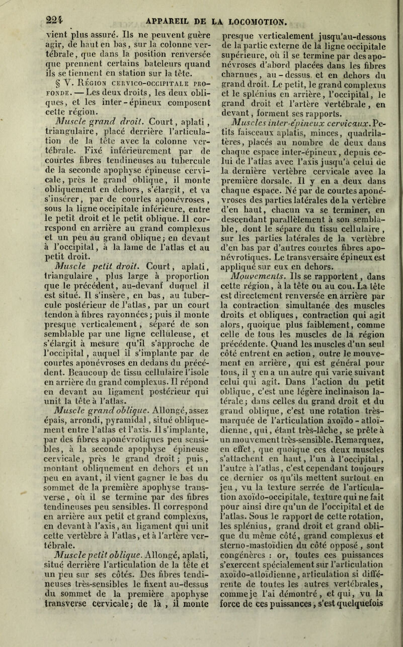 vient plus assuré. Ils ne peuvent guère agirj de haut en bas, sur la colonne ver- tébrale, que dans la position renversée que prennent certains bateleurs quand ils se tiennent en station sur la tête. § Y. Région cervico-occipitale pro- fonde. — Les deux droits, les deux obli- ques, et les inter - épineux composent cette région. Muscle grand droit. Court, aplati , triangulaire, placé derrière l’articula- tion de la tête avec la colonne ver- tébrale. Fixé inférieurement par de courtes fibres tendineuses au tubercule de la seconde apophyse épineuse cervi- cale , près le grand oblique, il monte obliquement en dehors, s’élargit, et va s’insérer, par de courtes aponévroses , sous la ligne occipitale inférieure, entre le petit droit et le petit oblique. Il cor- respond en arrière au grand complexus et un peu au grand oblique ; en devant à l’occipital, à la lame de l’atlas et au petit droit. Muscle petit droit. Court, aplati, triangulaire , plus large à proportion que le précédent, au-devanf duquel il est situé. Il s’insère, en bas, au tuber- cule postérieur de l’atlas, par un court tendon à fibres rayonnées ; puis il monte presque verticalement, séparé de son semblable par une ligne celluleuse, et s’élargit à mesure qu’il s’approche de l’occipital , auquel il s’implante par de courtes aponévroses en dedans du précé- dent. Beaucoup de tissu cellulaire l’isole en arrière du grand complexus. Il répond en devant au ligament postérieur qui unit la tête à l’atlas. Muscle grand oblique. Allongé, assez épais, arrondi, pyramidal, situé oblique- ment entre l’atlas et l’axis. Il s’implante, par des fibres aponévrotiques peu sensi- bles, à la seconde apophyse épineuse cervicale, près le grand droit ; puis, montant obliquement en dehors et un peu en avant, il vient gagner le bas du sommet de la première apophyse trans- verse , où il se termine par des fibres tendineuses peu sensibles. Il correspond en arrière aux petit et grand complexus, en devant à l’axis, au ligament qui unit cette vertèbre à l’atlas, et à l'artère ver- tébrale. Muscle petit oblique. Allongé, aplati, situé derrière l’articulation de la tête et un peu sur ses côtés. Des fibres tendi- neuses très-sensibles le fixent au-dessus du sommet de la première apophyse transverse cervicale; de là , il monte presque verticalement jusqu’au-dessous de la partie externe de la ligne occipitale supérieure, où il se termine par des apo- névroses d’abord placées dans les fibres charnues, au-dessus et en dehors du grand droit. Le petit, le grand complexus et le splénius en arrière, l’occipital, le grand droit et l’artère Vertébrale , en devant, forment ses rapports. Muscles inter-épineux cervicaux. Pe- tits faisceaux aplatis, minces, quadrila- tères, placés au nombre de deux dans chaque espace inter-épineux, depuis ce- lui de l’atlas avec l’axis jusqu’à celui de la dernière vertèbre cervicale avec la première dorsale. Il y en a deux dans chaque espace. Né par de courtes aponé- vroses des parties latérales de la vertèbre d’en haut, chacun va se terminer, en descendant parallèlement à son sembla- ble , dont le sépare du tissu cellulaire , sur les parties latérales de la vertèbre d’en bas par d’autres courtes fibres apo- névrotiques. Le transversaire épineux est appliqué sur eux en dehors. Mouvements. Ils se rapportent, dans cette région, à la tête ou au cou. La tête est directement renversée en arrière par la contraction simultanée des muscles droits et obliques , contraction qui agit alors, quoique plus faiblement, comme celle de tous les muscles de la région précédente. Quand les muscles d’un seul côté entrent en action, outre le mouve- ment en arrière, qui est général pour tous, il y en a un autre qui varie suivant celui qui agit. Dans l’action du petit oblique, c’est une légère inclinaison la- térale ; dans celles du grand droit et du grand oblique, c’est une rotation très- marquée de l’articulation axoïdo - atloï- dienne, qui, étant très-lâche, se prête à un mouvement très-sensible. Remarquez, en effet, que quoique ces deux muscles s’attachent en haut, l’un à l’occipital , l’autre à l’atlas, c’est cependant toujours ce dernier os qu’ils mettent surtout en jeu, vu la texture serrée de l’articula- tion axoïdo-occipitale, texture qui ne fait pour ainsi dire qu’un de l’occipital et de l’atlas. Sous le rapport de cette rotation, les splénius, grand droit et grand obli- que du même côté, grand complexus et sterno-mastoïdien du côté opposé , sont congénères : or, toutes ces puissances s’exercent spécialement sur l’articulation axoïdo-atloïdienne, articulation si diffé- rente de toutes les autres vertébrales, comme je l’ai démontré, et qui, vu la force de ces puissances, s’est quelquefois