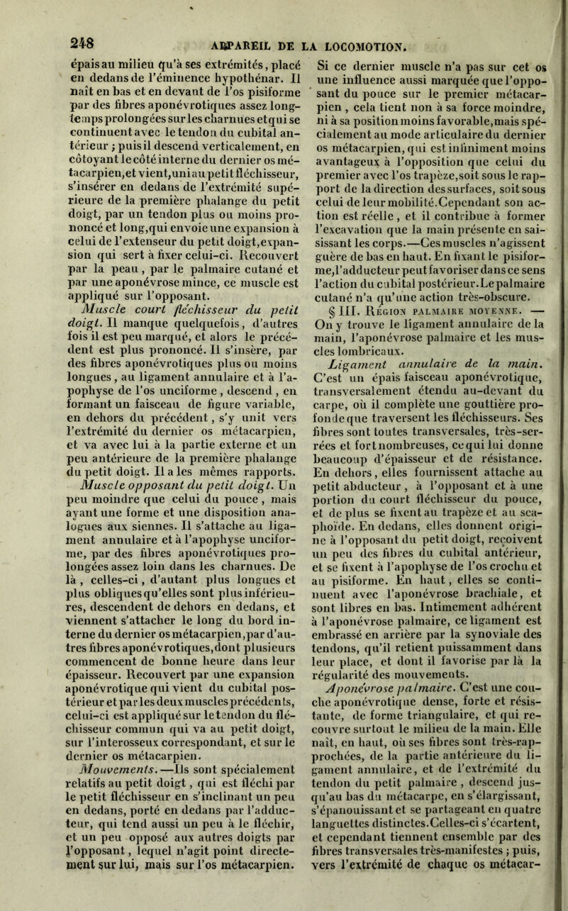 épais au milieu qu’à ses extrémités, placé en dedans de l’éminence hypothénar. Il naît en bas et en devant de l’os pisiforme par des fibres aponévrotiques assez long- temps prolongées sur les charnues et qui se continuent avec le tendon du cubital an- térieur ; puis il descend verticalement, en côtoyant le côté interne du dernier os mé- tacarpien,et vient,uniaupetit fléchisseur, s’insérer en dedans de l’extrémité supé- rieure de la première phalange du petit doigt, par un tendon plus ou moins pro- noncé et long,qui envoie une expansion à celui de l’extenseur du petit doigt,expan- sion qui sert à fixer celui-ci. Recouvert par la peau, par le palmaire cutané et par une aponévrose mince, ce muscle est appliqué sur l’opposant. Muscle court fléchisseur du petit doigt. Il manque quelquefois, d’autres fois il est peu marqué, et alors le précé- dent est plus prononcé. Il s’insère, par des fibres aponévrotiques plus ou moins longues, au ligament annulaire et à l’a- pophyse de l’os unciforme , descend , en formant un faisceau de figure variable, en dehors du précédent, s'y unit vers l’extrémité du dernier os métacarpien, et va avec lui à la partie externe et un peu antérieure de la première phalange du petit doigt. Haies mêmes rapports. Muscle opposant du petit doigt. Un peu moindre que celui du pouce , mais ayant une forme et une disposition ana- logues aux siennes. Il s’attache au liga- ment annulaire et à l’apophyse uncifor- me, par des fibres aponévrotiques pro- longées assez loin dans les charnues. De là , celles-ci, d’autant plus longues et plus obliques qu’elles sont plus inférieu- res, descendent de dehors en dedans, et viennent s’attacher le long du bord in- terne du dernier os métacarpien,par d’au- tres fibres aponévrotiques,dont plusieurs commencent de bonne heure dans leur épaisseur. Recouvert par une expansion aponévrotique qui vient du cubital pos- térieur et par les deux muscles précédcn ts, celui-ci est appliqué sur le tendon du flé- chisseur commun qui va au petit doigt, sur l’interosseux correspondant, et sur le dernier os métacarpien. Mouvements.—Ils sont spécialement relatifs au petit doigt, qui est fléchi par le petit fléchisseur en s’inclinant un peu en dedans, porté en dedans par l’adduc- teur, qui tend aussi un peu à le fléchir, et un peu opposé aux autres doigts par l’opposant, lequel n’agit point directe- ment sur lui, mais sur l’os métacarpien. Si ce dernier muscle n’a pas sur cet os une influence aussi marquée que l’oppo- sant du pouce sur le premier métacar- pien , cela tient non à sa force moindre, ni à sa position moins favorable,mais spé- cialement au mode articulaire du dernier os métacarpien, qui est infiniment moins avantageux à l’opposition que celui du premier avec l’os trapèze,soit sous le rap- port de la direction des surfaces, soit sous celui de leur mobilité.Cependant son ac- tion est réelle , et il contribue à former l’excavation que la main présente en sai- sissant les corps.—Ces muscles n’agissent guère de bas en haut. En fixant le pisifor- me,l’adducteur peut favoriser dans ce sens l’action du cubital postérieur.Le palmaire cutané n’a qu’une action très-obscure. § III. Région palmaire moyenne. — On y trouve le ligament annulaire delà main, l’aponévrose palmaire et les mus- cles lombricaux. Ligament annulaire de la main. C’est un épais faisceau aponévrotique, transversalement étendu au-devant du carpe, où il complète une gouttière pro- fonde que traversent les fléchisseurs. Ses fibres sont toutes transversales, très-ser- rées et fort nombreuses, ce qui lui donne beaucoup d’épaisseur et de résistance. En dehors, elles fournissent attache au petit abducteur , à l’opposant et à une portion du court fléchisseur du pouce, et déplus se fixent au trapèze et au sca- phoïde. En dedans, elles donnent origi- ne à l’opposant du petit doigt, reçoivent un peu des fibres (lu cubital antérieur, et se fixent à l’apophyse de l’os crochu et au pisiforme. En haut, elles se conti- nuent avec l’aponévrose brachiale, et sont libres en bas. Intimement adhérent à l’aponévrose palmaire, ce ligament est embrassé en arrière par la synoviale des tendons, qu’il retient puissamment dans leur place, et dont il favorise par là la régularité des mouvements. Aponévrose palmaire. C’est une cou- che aponévrotique dense, forte et résis- tante, de forme triangulaire, et qui re- couvre surtout le milieu de la main. Elle naît, en haut, où ses fibres sont très-rap- prochées, de la partie antérieure du li- gament annulaire, et de l’extrémité du tendon du petit palmaire , descend jus- qu’au bas du métacarpe, en s’élargissant, s’épanouissant et se partageant en quatre languettes distinctes.Celles-ci s’écartent, et cependant tiennent ensemble par des fibres transversales très-manifestes ; puis, vers l’extrémité de chaque os métacar-