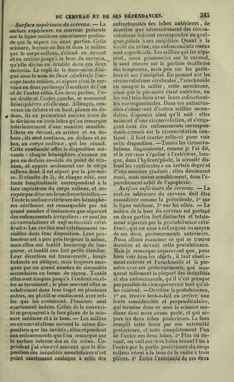 Surface supérieure du cerveau. — La surface supérieure ou convexe présente sur la ligne médiane une scissure profon- de qui la sépare en deux parties. Cette scissure, bornée en bas et dans le milieu par le corps calleux, s’étend en devant et en arrière jusqu’à la base du cerveau, A qu’elle divise eu totalité dans ces deux endroits. Le repli de la dure-mère dési- gné sous le nom de faux cérébrale l’oc- cupe toute entière, et sépare ainsi le cer- veau en deux par lies qu’il soutient de F un et de l’autre côtés. Ces deux parties, l’u- ne droite et l’autre gauche, se nomment hémisphères cérébraux. Allongés, con- vexes en dehors et en haut, planes en de- * dans, ils ne présentent aucune trace de la division en trois lobes qu’on remarque inférieurement d’une manière sensible. Libres en devant, en arrière et en de- hors , ils sont continus, en dedans et en bas, au corps calleux, qui les réunit. Cette continuité offre la disposition sui- vante : chaque hémisphère s’avance un peu en dedans au-delà du point de réu- nion, et appuie seulement sur le corps calleux dont il est séparé par la pie-mè- re. Il résulte de là, de chaque côté, une fente longitudinale correspondant à la face supérieure du corps calleux, et oc- cupée par diverses branches artérielles.— Toute la surface extérieure des hémisphè- res cérébraux est remarquable par un grand nombre d’éminences que séparent des enfoncements irréguliers : ce sont les circonvolutions et anfractuosités céré- brales. Les cavités sont extrêmement va- riables dans leur disposition. Leur pro- fondeur est à peu près toujours la même, mais elles ont tantôt beaucoup de lon- gueur, et tantôt une fort petite étendue. Leur direction est transversale , longi- tudinale ou oblique, mais toujours mar- quée par un grand nombre de sinuosités secondaires en forme de zigzag. Tantôt elles sont simples jusqu’à l’endroit oit el- les se terminent ; le plus souvent elles se subdivisent dans leur trajet en plusieurs autres, ou plutôt se continuent avec cel- les qui les avoisinent. Plusieurs sont exactement isolées. Celles de la convexi- té se propagent à la face plane de la scis- sure médiane et à la base. — Les saillies ou circonvolutions suivent la même dis- position que les cavités ; elles répondent aux enfoncements que l’on remarque sur la surface interne des os du crâne. Ce- pendant j’ai observé souvent que la dis- position des inégalités susorbitaires n’est point exactement analogue à celle des ses dépendances; 385 anfractuosités des lobes antérieurs , de manière que nécessairement des circon- volutions doivent correspondre en quel- ques points à ces inégalités. Quant à la voûte du crâne, ces enfoncements osseux sont superficiels. Les saillies qui les sépa- rent , assez prononcées sur le coronal, le sont encore sur la portion écailleuse des temporaux, mais peu sur les parié- taux et sur l’occipital. En passant sur les circonvolutions cérébrales, l’arachnoïde en masque la saillie ; cette membrane, ainsi que la pie-mère étant enlevées, on les voit très-bien avec leurs anfractuosi- tés correspondantes. Dans ces anfractuo- sités s’observent d’autres saillies secon- daires disposées ainsi qu’il suit : elles naissent d’une circonvolution, et s’enga- gent dans des enfoncements correspon- dants crensés sur la circonvolution con- tiguë : il faut écarter celle-ci pour voir cette disposition. —Toutes les circonvo- lutions disparaissent, comme je l’ai dit, et le cerveau s’égalise à l’extérieur, lors- que, dans l’hydrocéphale, la sérosité dis- tend les ventricules à un certain degré et d’une manière graduée ; elles diminuent aussi, mais moins sensiblement, dans l’é- panchement subit de l’apoplexie. Surface inférieure du cerveau. — La surface inférieure du cerveau doit être considérée comme la précédente, 1° sur la ligne médiane, 2° sur les côtés. — Le milieu de la base du cerveau est partagé en deux parties fort distinctes et totale- ment séparées par la protubérance céré- brale, qui est unie à cet organe au moyen de ses deux prolongements antérieurs. Nous allons examiner ce qui se trouve derrière et devant cette protubérance. Mais je remarque auparavant que, pour bien voir tous les objets , il faut absolu- ment enlever et l’arachnoïde et la pie- mère avec ses prolongements, qui mas- quent tellement la plupart des inégalités et des enfoncements, qu’il n’est presque pas possible de rien apercevoir tant qu’el- les existent. —Derrière la protubérance, 1° on trouve tout-à-fait en arrière une fente considérable et perpendiculaire, qui termine dans ce sens la scissure mé- diane dont nous avons parlé, et qui sé- pare les deux lobes postérieurs. La faux remplit cette fente par son extrémité postérieure, et isole complètement l’un de l’autre ces deux lobes. 2° Plus en de- vant, on voit ces deux lobes tenant l’un à l’autre par la partie postérieure du corps calleux réuni à la base de la voûte à trois piliers. 3° Entre l’extrémité de ces deux