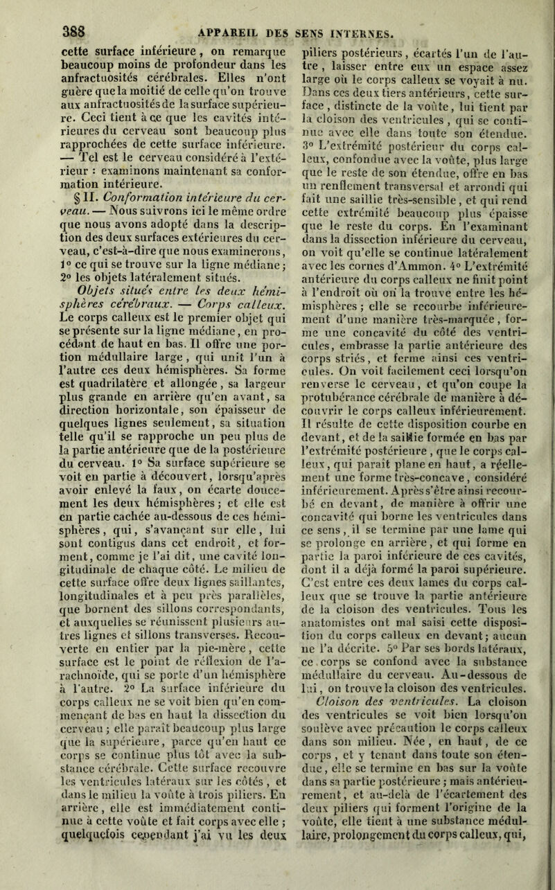 cette surface inférieure, on remarque beaucoup moins de profondeur dans les anfractuosités cérébrales. Elles n’ont guère que la moitié de celle qu’on trouve aux anfractuosités de la surface supérieu- re. Ceci tient à ce que les cavités inté- rieures du cerveau sont beaucoup plus rapprochées de cette surface inférieure. — Tel est le cerveau considéré à l’exté- rieur : examinons maintenant sa confor- mation intérieure. § II. Conformation inferieure du cer- veau. — Nous suivrons ici le même ordre que nous avons adopté dans la descrip- tion des deux surfaces extérieures du cer- veau, c’est-à-dire que nous examinerons, 10 ce qui se trouve sur la ligne médiane ; 2° les objets latéralement situés. Objets situés entre les deux hémi- sphères cérébraux. — Corps calleux. Le corps calleux est le premier objet qui se présente sur la ligne médiane, en pro- cédant de haut en bas. Il offre une por- tion médullaire large , qui unit l'un à l’autre ces deux hémisphères. Sa forme est quadrilatère et allongée, sa largeur plus grande en arrière qu’en avant, sa direction horizontale, son épaisseur de quelques lignes seulement, sa situation telle qu’il se rapproche un peu plus de la partie antérieure que de la postérieure du cerveau. 1° Sa surface supérieure se voit en partie à découvert, lorsqu’après avoir enlevé la faux, on écarte douce- ment les deux hémisphères ; et elle est en partie cachée au-dessous de ces hémi- sphères , qui, s’avançant sur elle, lui sont contigus dans cet endroit, et for- ment, comme je l’ai dit, une cavité lon- gitudinale de chaque côté. Le milieu de cette surface offre deux lignes saillantes, longitudinales et à peu près parallèles, que bornent des sillons correspondants, et auxquelles se réunissent plusieurs au- tres lignes et sillons transverses. Recou- verte en entier par la pie-mère, cette surface est le point de réflexion de l’a- rachnoïde, qui se porte d’un hémisphère à l'autre. 2° La surface inférieure du corps calleux ne se voit bien qu’en com- mençant de bas en haut la dissection du cerveau ; elle paraît beaucoup plus large que la supérieure, parce qu’en haut ce corps se continue plus tôt avec la sub- stance cérébrale. Cette surface recouvre les ventricules latéraux sur les côtés , et dans le milieu la voûte à trois piliers. En arrière, elle est immédiatement conti- nue à cette voûte et fait corps avec elle ; quelquefois cependant j’ai vu les deux piliers postérieurs , écartés l’un de l'au- tre , laisser entre eux un espace assez large où le corps calleux se voyait à nu. Dans ces deux tiers antérieurs, cette sur- face , distincte de la voûte, lui tient par la cloison des ventricules , qui se conti- nue avec elle dans toute son étendue. 3° L’extrémité postérieur du corps cal- leux, confondue avec la voûte, plus large que le reste de son étendue, offre en bas un renflement transversal et arrondi qui fait une saillie très-sensible, et qui rend cette extrémité beaucoup plus épaisse que le reste du corps. En l’examinant dans la dissection inférieure du cerveau, on voit qu’elle se continue latéralement avec les cornes d’Ammon. 4° L’extrémité antérieure du corps calleux ne finit point à l’endroit où on la trouve entre les hé- misphères ; elle se recourbe inférieure- ment d’une manière très-marquée, for- me une concavité du côté des ventri- cules, embrasse la partie antérieure des corps striés, et ferme ainsi ces ventri- cules. On voit facilement ceci lorsqu’on renverse le cerveau, et qu’on coupe la protubérance cérébrale de manière à dé- couvrir le corps calleux inférieurement. Il résulte de cette disposition courbe en devant, et de la saisie formée en bas par l’extrémité postérieure , que le corps cal- leux , qui paraît plane en haut, a réelle- ment une forme très-concave, considéré inférieurement. Après s’être ainsi recour- bé en devant, de manière à offrir une concavité qui borne les ventricules dans ce sens, il se termine par une lame qui se prolonge en arrière, et qui forme en partie la paroi inférieure de ces cavités, dont il a déjà formé la paroi supérieure. C’est entre ces deux lames du corps cal- leux que se trouve la partie antérieure de la cloison des ventricules. Tous les anatomistes ont mal saisi cette disposi- tion du corps calleux en devant; aucun ne l’a décrite. 5° Par ses bords latéraux, ce corps se confond avec la substance médullaire du cerveau. Au-dessous de lui, on trouve la cloison des ventricules. Cloison des ventricules. La cloison des ventricules se voit bien lorsqu’on soulève avec précaution le corps calleux dans son milieu. Née , en haut, de ce corps , et y tenant dans toute son éten- due , elle se termine en bas sur la voûte dans sa partie postérieure ; mais antérieu- rement, et au-delà de l’écartement des deux piliers qui forment l’origine de la voûte, elle tient à une substance médul- laire, prolongement du corps calleux, qui,