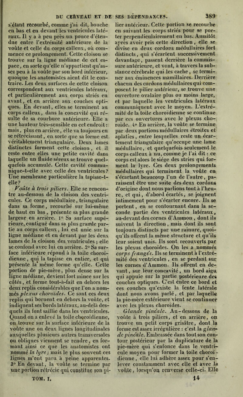 s’étant recourbé, comme j’ai dit, bouche en bas et en devant les ventricules laté- raux. Il y a à peu près un pouce d’éten- due entre l’extrémité antérieure de la voûte et celle du corps calleux, où com- mence ce prolongement. Cette cloison se trouve sur la ligne médiane de cet es- pace , en sorte qu’elle n’appartient qu’as- sez peu à la voûte par son bord inférieur, quoique les anatomistes aient dit le con- traire. Les deux surfaces de cette cloison correspondent aux ventricules latéraux, et particulièrement aux corps striés en avant, et en arrière aux couches opti- ques. En devant, elles se terminent au corps calleux, dans la concavité qui ré- sulte de sa courbure antérieure. Elle a une hauteur très-sensible en cet endroit : mais, plus en arrière, elle va toujours en se rétrécissant, en sorte que sa forme est véritablement triangulaire. Deux lames distinctes forment cette cloison, et il reste entre elles une petite cavité dans laquelle un fluide séreux se trouve quel- quefois accumulé. Cette cavité commu- nique-t-elle avec celle des ventricules ? Une membrane particulière la tapisse-t- elle? Vouïe à trois piliers. Elle se rencon- tre au-dessous de la cloison des ventri- cules. Ce corps médullaire, triangulaire dans sa forme, recourbé sur lui-même de haut en bas , présente sa plus grande largeur en arrière. 1° Sa surface supé- rieure, contiguë dans sa plus grande par- tie au corps calleux , lui est unie sur la ligne médiane et en devant par les deux lames de la cloison des ventricules ; elle se confond avec lui en arrière. 2° Sa sur- face inférieure répond à la toile choroï- dienne, qui la tapisse en entier, et qui présente la* même forme qu’elle. Cette portion de pie-mère, plus dense sur la ligne médiane, devient fort mince sur les côtés, et forme tout-à-fait en dehors les deux replis considérables que l’on a nom- més plexus choroïdes. Ce sont ces deux replis qui bornent en dehors la voûte, et indiquent ses bords latéraux, au-delà des- quels ils font saillie dans les ventricules. Quand on a enlevé la toile chqroïdienne, on trouve sur la surface inférieure de la voûte une ou deux lignes longitudinales auxquelles plusieurs autres transversales ou obliques viennent se rendre , en for- mant ainsi ce que les anatomistes ont nommé la lyre ; mais le plus souvent ces lignes m’ont paru à peine apparentes. 3° En devant, la voûte se termine par une portion rétrécie qui constitue son pi- TOM. I, lier antérieur. Cette portion se recourbe en suivant les corps striés pour se por- ter perpendiculairement en bas. Aussitôt après avoir pris cette direction , elle se divise en deux cordons médullaires fort distincts, qui s’écartent successivement davantage, passent derrière la commis- sure antérieure, et vont, à travers la sub- stance cérébrale qui les cache, se termi- ner aux éminences mamillaires. Derrière chacun des cordons médullaires qui com- posent le pilier antérieur, se trouve une ouverture ovalaire plus ou moins large, et par laquelle les ventricules latéraux communiquent avec le moyen. L’extré- mité delà toile choroïdienne se continue par ces ouvertures avec le plexus cho- roïde. 4° En arrière, la voûte se termine par deux portions médullaires étroites et aplaties, entre lesquelles reste un écar- tement triangulaire qu’occupe une lame médullaire, et quelquefois seulement le corps calleux à nu, comme je l’ai dit : ce corps est alors le siège des stries qui for- ment la lyre. Ces deux prolongements médullaires qui terminent la voûte en s’écartant beaucoup l’un de l’autre , pa- raissent être une suite des deux cordons d’origine dont nous parlions tout à l’heu- re, et qui, d’abord écartés, se joignent intimement pour s’écarter encore. Us se portent, en se contournant dans la se- conde partie des ventricules latéraux, au-devant des cornes d’Aminon , dont ils suivent la direction, mais dont ils sont toujours distincts par une rainure, quoi- qu’ils offrent la même structure et qu’ils leur soient unis. Us sont recouverts par les plexus choroïdes. On les a nommés corps frangés. Ils se terminent à l’extré- mité des ventricules , en se perdant sur les cornes d’Ammon. Us offrent en de- vant , sur leur concavité, un bord aigu qui appuie sur la partie postérieure des couches optiques. C’est entre ce bord et ces couches qu’existe la fente latérale dont nous avons parlé, et par laquelle la pie-mère extérieure vient se continuer avec les plexus choroïdes. Glande pinéale. Au-dessous de la voûte à trois piliers, et en arrière, on trouve un petit corps grisâtre, dont la forme est assez irrégulière : c’est la glan- de pinéale. Embrassée dans tout son con- tour postérieur par la duplicature de la pie-mère qui s’enfonce dans le ventri- cule moyen pour former la toile choroï- dienne , elle lui adhère assez pour s’en- lever constamment avec elle et avec la voûte, lorsqu’on renverse celle-ci. Elle 14