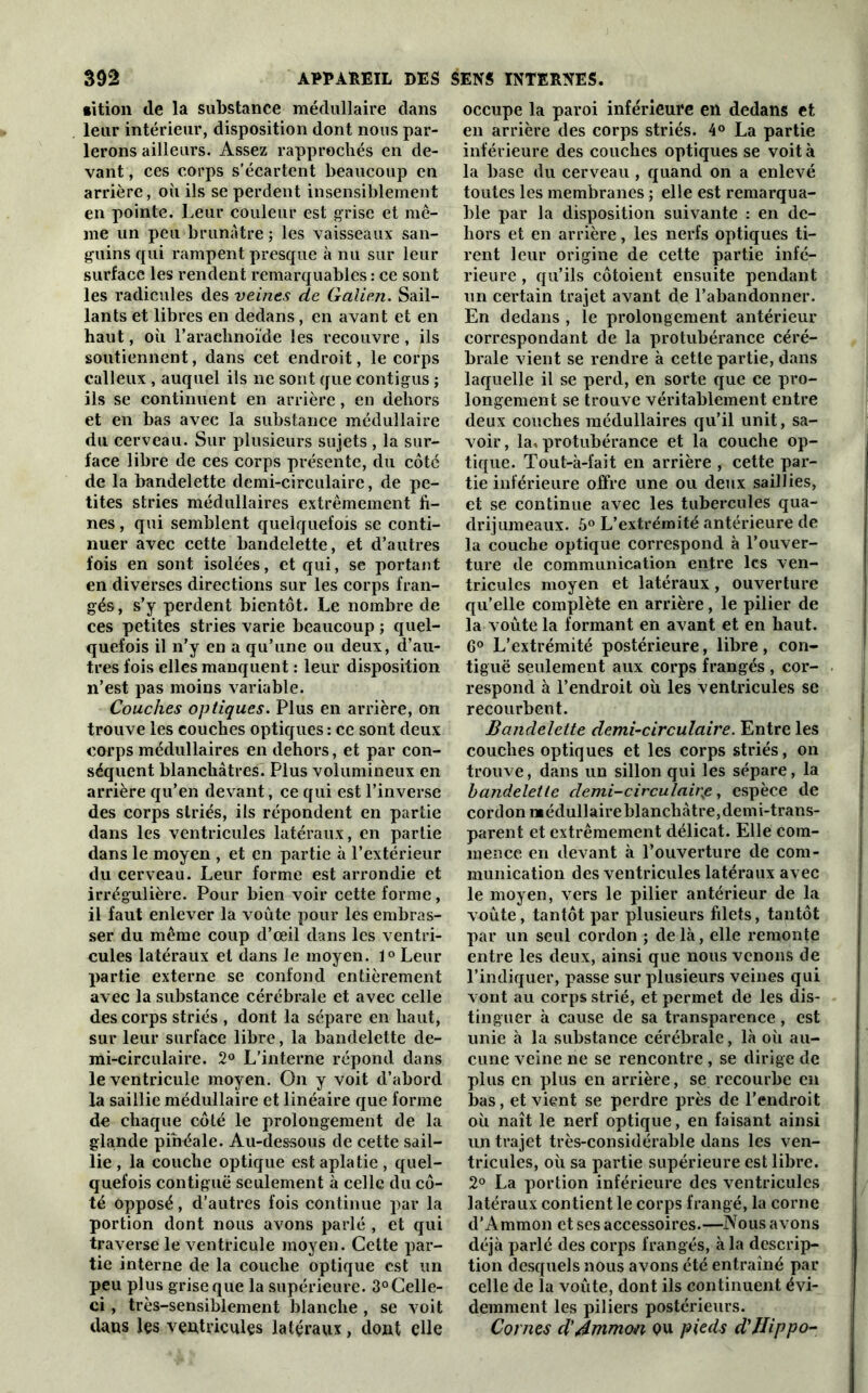 •ition de la substance médullaire dans leur intérieur, disposition dont nous par- lerons ailleurs. Assez rapprochés en de- vant , ces corps s'écartent beaucoup en arrière, où ils se perdent insensiblement en pointe. Leur couleur est grise et mê- me un peu brunâtre ; les vaisseaux san- guins qui rampent presque à nu sur leur surface les rendent remarquables : ce sont les radicules des veines de Galien. Sail- lants et libres en dedans, en avant et en haut, où l’arachnoïde les recouvre, ils soutiennent, dans cet endroit, le corps calleux , auquel ils ne sont que contigus ; ils se continuent en arrière, en dehors et en bas avec la substance médullaire du cerveau. Sur plusieurs sujets , la sur- face libre de ces corps présente, du côté de la bandelette demi-circulaire, de pe- tites stries médullaires extrêmement fi- nes , qui semblent quelquefois se conti- nuer avec cette bandelette, et d’autres fois en sont isolées, et qui, se portant en diverses directions sur les corps fran- gés, s’y perdent bientôt. Le nombre de ces petites stries varie beaucoup ; quel- quefois il n’y en a qu’une ou deux, d’au- tres fois elles manquent : leur disposition n’est pas moins variable. Couches optiques. Plus en arrière, on trouve les couches optiques : ce sont deux corps médullaires en dehors, et par con- séquent blanchâtres. Plus volumineux en arrière qu’en devant, ce qui est l’inverse des corps striés, ils répondent en partie dans les ventricules latéraux, en partie dans le moyen , et en partie à l’extérieur du cerveau. Leur forme est arrondie et irrégulière. Pour bien voir cette forme, il faut enlever la voûte pour les embras- ser du même coup d’œil dans les ventri- cules latéraux et dans le moyen. 1° Leur partie externe se confond entièrement avec la substance cérébrale et avec celle des corps striés , dont la sépare en haut, sur leur surface libre, la bandelette de- mi-circulaire. 2° L’interne répond dans le ventricule moyen. On y voit d’abord la saillie médullaire et linéaire que forme de chaque côté le prolongement de la glapde pinéale. Au-dessous de cette sail- lie , la couche optique est aplatie, quel- quefois contiguë seulement à celle du cô- té opposé, d’autres fois continue par la portion dont nous avons parlé , et qui traverse le ventricule moyen. Cette par- tie interne de la couche optique est un peu plus grise que la supérieure. 3°Celle- ci , très-sensiblement blanche , se voit dans les ventricules latéraux, dont elle occupe la paroi inférieure en dedans et en arrière des corps striés. 4° La partie inférieure des couches optiques se voit à la base du cerveau , quand on a enlevé toutes les membranes ; elle est remarqua- ble par la disposition suivante : en de- hors et en arrière, les nerfs optiques ti- rent leur origine de cette partie infé- rieure , qu’ils côtoient ensuite pendant un certain trajet avant de l’abandonner. En dedans , le prolongement antérieur correspondant de la protubérance céré- brale vient se rendre à cette partie, dans laquelle il se perd, en sorte que ce pro- longement se trouve véritablement entre deux couches médullaires qu’il unit, sa- voir , la, protubérance et la couche op- tique. Tout-à-fait en arrière , cette par- tie inférieure offre une ou deux saillies, et se continue avec les tubercules qua- drijumeaux. 5° L’extrémité antérieure de la couche optique correspond à l’ouver- ture de communication entre les ven- tricules moyen et latéraux, ouverture qu’elle complète en arrière, le pilier de la voûte la formant en avant et en haut. G0 L’extrémité postérieure, libre, con- tiguë seulement aux corps frangés , cor- respond à l’endroit où les ventricules se recourbent. Bandelette demi-circulaire. Entre les couches optiques et les corps striés, on trouve, dans un sillon qui les sépare, la bandelette demi-circulaire, espèce de cordon médullaire blanchâtre,demi-trans- parent et extrêmement délicat. Elle com- mence en devant à l’ouverture de com- munication des ventricules latéraux avec le moyen, vers le pilier antérieur de la voûte, tantôt par plusieurs filets, tantôt par un seul cordon ; de là, elle remonte entre les deux, ainsi que nous venons de l’indiquer, passe sur plusieurs veines qui vont au corps strié, et permet de les dis- tinguer à cause de sa transparence, est unie à la substance cérébrale, là où au- cune veine ne se rencontre , se dirige de plus en plus en arrière, se recourbe en bas, et vient se perdre près de l'endroit où naît le nerf optique, en faisant ainsi un trajet très-considérable dans les ven- tricules, où sa partie supérieure est libre. 2° La portion inférieure des ventricules latéraux contient le corps frangé, la corne d’Ammon et ses accessoires.—Nous avons déjà parlé des corps frangés, à la descrip- tion desquels nous avons été entraîné par celle de la voûte, dont ils continuent évi- demment les piliers postérieurs. Cornes d'Ammon pu pieds d'Hippo-