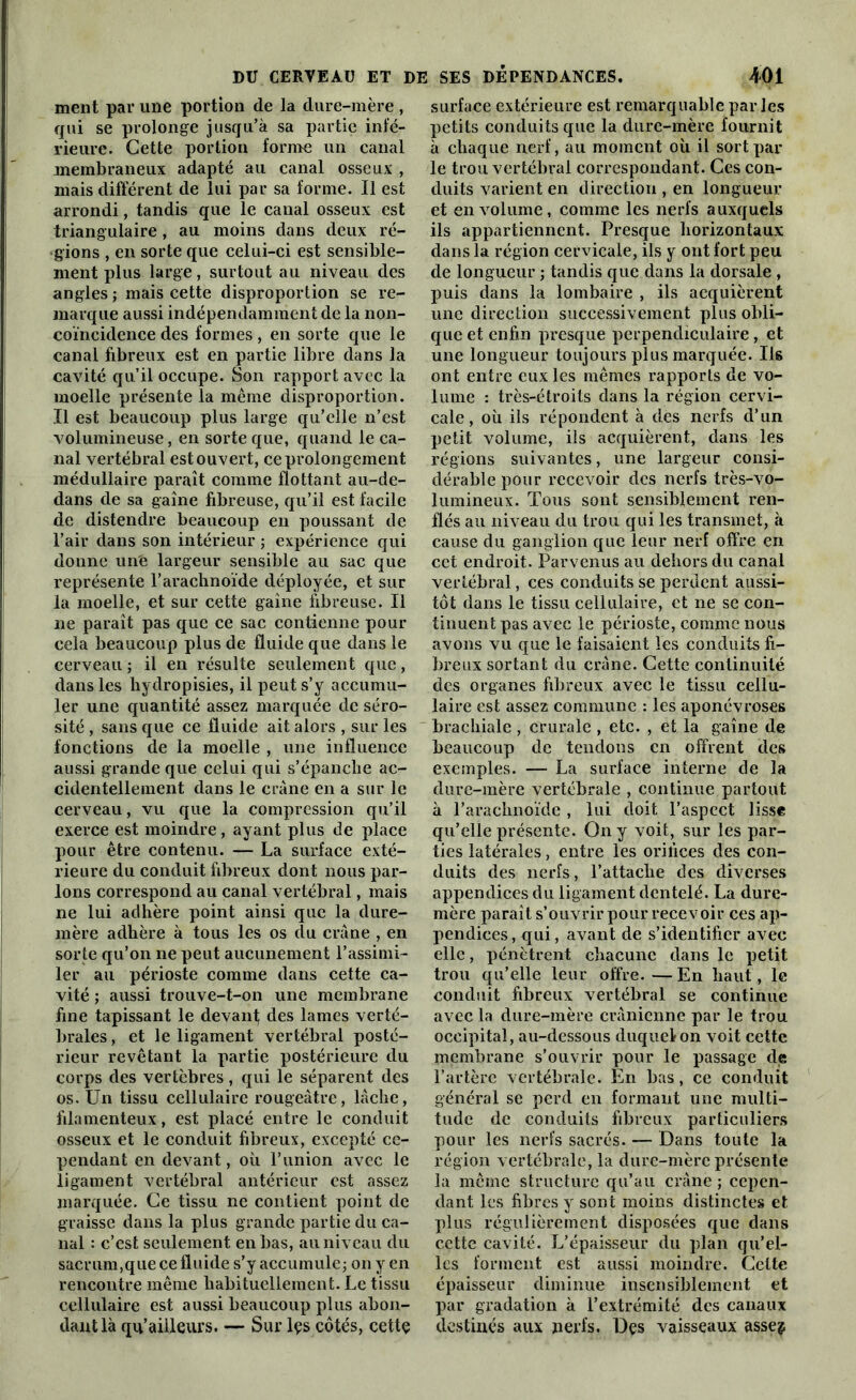 ment par une portion de la dure-mère , qui se prolonge jusqu’à sa partie infé- rieure. Cette portion forme un canal membraneux adapté au canal osseux , mais différent de lui par sa forme. Il est arrondi, tandis que le canal osseux est triangulaire, au moins dans deux ré- gions , en sorte que celui-ci est sensible- ment plus large, surtout au niveau des angles ; mais cette disproportion se re- marque aussi indépendamment de la non- coïncidence des formes, en sorte que le canal fibreux est en partie libre dans la cavité qu’il occupe. Son rapport avec la moelle présente la même disproportion. Il est beaucoup plus large qu’elle n’est volumineuse, en sorte que, quand le ca- nal vertébral est ouvert, ce prolongement médullaire paraît comme flottant au-de- dans de sa gaine fibreuse, qu’il est facile de distendre beaucoup en poussant de l’air dans son intérieur -, expérience qui donne une largeur sensible au sac que représente l’arachnoïde déployée, et sur la moelle, et sur cette gaine fibreuse. Il ne paraît pas que ce sac contienne pour cela beaucoup plus de fluide que dans le cerveau ; il en résulte seulement que, dans les hydropisies, il peut s’y accumu- ler une quantité assez marquée de séro- sité , sans que ce fluide ait alors , sur les fonctions de la moelle , une influence aussi grande que celui qui s’épanche ac- cidentellement dans le crâne en a sur le cerveau, vu que la compression qu’il exerce est moindre, ayant plus de place pour être contenu. — La surface exté- rieure du conduit fibreux dont nous par- lons correspond au canal vertébral, mais ne lui adhère point ainsi que la dure- mère adhère à tous les os du crâne , en sorte qu’on ne peut aucunement l’assimi- ler au périoste comme dans cette ca- vité ; aussi trouve-t-on une membrane fine tapissant le devanf des lames verté- brales , et le ligament vertébral posté- rieur revêtant la partie postérieure du corps des vertèbres, qui le séparent des os. Un tissu cellulaire rougeâtre, lâche, filamenteux, est placé entre le conduit osseux et le conduit fibreux, excepté ce- pendant en devant, où l’union avec le ligament vertébral antérieur est assez marquée. Ce tissu ne contient point de graisse dans la plus grande partie du ca- nal : c’est seulement en bas, au niveau du sacrum,que ce fluide s’y accumule; on y en rencontre même habituellement. Le tissu cellulaire est aussi beaucoup plus abon- dant là qu’ailleurs. — Sur les côtés, cettç surface extérieure est remarquable parles petits conduits que la dure-mère fournit à chaque nerf, au moment où il sort par- le trou vertébral correspondant. Ces con- duits varient en direction , en longueur et en volume, comme les nerfs auxquels ils appartiennent. Presque horizontaux dans la région cervicale, ils y ont fort peu de longueur ; tandis que dans la dorsale , puis dans la lombaire , ils acquièrent une direction successivement plus obli- que et enfin presque perpendiculaire, et une longueur toujours plus marquée. Us ont entre eux les mêmes rapports de vo- lume : très-étroits dans la région cervi- cale, où ils répondent à des nerfs d’un petit volume, ils acquièrent, dans les régions suivantes, une largeur consi- dérable pour recevoir des nerfs très-vo- lumineux. Tous sont sensiblement ren- flés au niveau du trou qui les transmet, à cause du ganglion que leur nerf offre en cet endroit. Parvenus au dehors du canal vertébral, ces conduits se perdent aussi- tôt dans le tissu cellulaire, et ne se con- tinuent pas avec le périoste, comme nous avons vu que le faisaient les conduits fi- breux sortant du crâne. Cette continuité des organes fibreux avec le tissu cellu- laire est assez commune : les aponévroses brachiale , crurale , etc. , et la gaine de beaucoup de tendons en offrent des exemples. — La surface interne de la dure-mère vertébrale , continue partout à l’arachnoïde , lui doit l’aspect lisse qu’elle présente. On y voit, sur les par- ties latérales, entre les orifices des con- duits des nerfs, l’attache des diverses appendices du ligament dentelé. La dure- mère paraît s’ouvrir pour recevoir ces ap- pendices, qui, avant de s’identifier avec elle, pénètrent chacune dans le petit trou qu’elle leur offre.—En haut, le conduit fibreux vertébral se continue avec la dure-mère crânienne par le trou occipital, au-dessous duquel on voit cette membrane s’ouvrir pour le passage de l’artère vertébrale. En bas, ce conduit général se perd en formant une multi- tude de conduits fibreux particuliers pour les nerfs sacrés. — Dans toute la région vertébrale, la dure-mère présente la même structure qu’au crâne ; cepen- dant les fibres y sont moins distinctes et plus régulièrement disposées que dans cette cavité. L’épaisseur du plan qu’el- les forment est aussi moindre. Celte épaisseur diminue insensiblement et par gradation à l’extrémité des canaux destinés aux nerfs. Des vaisseaux asse$