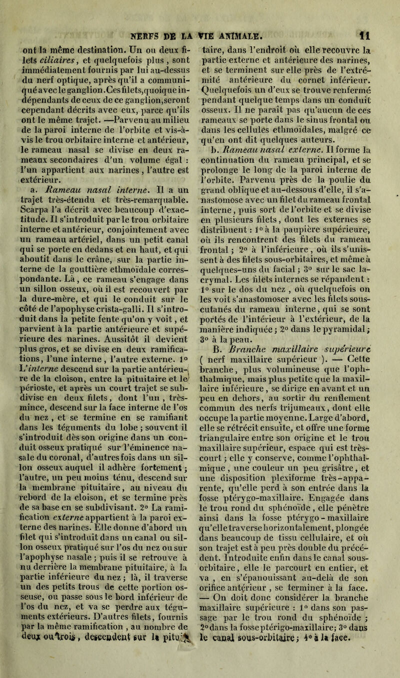 NERFS DE LA ont la même destination. Un ou deux fi- lets ciliaires, et quelquefois plus , sont immédiatement fournis par lui au-dessus du nerf optique, après qu’il a communi- qué avec le ganglion. Ces filets, quoique in- dépendants de ceux de ce ganglion,seront cependant décrits avec eux, parce qu’ils ont le même trajet. —Parvenu au milieu de la paroi interne de l’orbite et vis-à- vis le trou orbitaire interné et antérieur, le rameau nasal se divise en deux ra- meaux secondaires d’un volume égal : l’un appartient aux narines , l’autre est extérieur. a. Rameau nasal interne. Il a un trajet très-étendu et très-remarquable. Scarpa l’a décrit avec beaucoup d’exac- titude. Il s’introduit parle trou orbitaire interne et antérieur, conjointement avec un rameau artériel, dans un petit canal qui se porte en dedans et en haut, et qui aboutit dans le crâne, sur la partie in- terne de la gouttière ethmoïdale corres- pondante. Là, ce rameau s’engage dans un sillon osseux, où il est recouvert par la dure-mère, et qui le conduit sur le côté de l’apophyse crista-galli. Il s’intro- duit dans la petite fente qu’on y voit, et parvient à la partie antérieure et supé- rieure des narines. Aussitôt il devient plus gros, et se divise en deux ramifica- tions, l’ime interne, l’autre externe. 1° Uinterne descend sur la partie antérieur re de la cloison, entre la pituitaire et le/ périoste, et après un court trajet se sub- divise en deux filets, dont l’un , très- mince, descend sur la face interne de l’os du nez , et se termine en se ramifiant dans les téguments du lobe ; souvent il s’introduit dès son origine dans un con- duit osseux pratiqué sur l’éminence na- sale du coronal, d’autres fois dans un sil- lon osseux auquel il adhère fortement; l’autre, un peu moins ténu, descend sur la membrane pituitaire, au niveau du rebord de la cloison, et se termine près de sa base en se subdivisant. 2® La rami- fication externe appartient à la paroi ex- terne des narines. Elle donne d’abord un filet qui s’introduit dans un canal ou sil- lon osseux pratiqué sur l’os du nez ou sur l'apophyse nasale ; puis il se retrouve à nu derrière la membrane pituitaire, à la partie inférieure du nez ; là, il traverse un des petits trous de cette portion os- seuse, ou passe sous le bord inférieur de l’os du nez, et va se perdre aux tégu- ments extérieurs. D’autres filets, fournis par la même ramification , au nombre de deuj oulrois, descendent sur U pitui^ VIE ANIMALE. 11 taire, dans l’endroit où elle recouvre la partie externe et antérieure des narines, et se terminent sur elle près de l’extré- mité antérieure du cornet inférieur. Quelquefois un d’eux se trouve renfermé pendant quelque temps dans un conduit osseux. Il ne paraît pas qu’aucun de ces rameaux se porte dans le sinus frontal ou dans les cellules ethmoïdales, malgré ce qu’en ont dit quelques auteurs. b. Rameau nasal externe. Il forme la continuation du rameau principal, et se prolonge le long de la paroi interne de l’orbite. Parvenu près de la poulie du grand oblique et au-dessous d’elle, il s'a- nastomose avec un filet du rameau frontal interne, puis sort de l’orbite et se divise en plusieurs filets, dont les externes se distribuent : l°à la paupière supérieure, où ils rencontrent des filets du rameau frontal ; 2° à l’inférieure , où ils s’unis- sent à des filets sous-orbitaires, et même à quelques-uns du facial ; 3° sur le sac la- crymal. Les filets internes se répandent : 1° sur le dos du nez , où quelquefois on les voit s’anastomoser avec les filets sous- cutanés du rameau interne, qui se sont portés de l’intérieur à l’extérieur, de la manière indiquée ; 2° dans le pyramidal ; 3° à la peau. B. Branche maxillaire supérieure ( nerf maxillaire supérieur ). — Cette branche, plus volumineuse que l’oph- thalmique, mais plus petite que la maxil- laire inférieure, se dirige en avant et un peu en dehors, au sortir du renflement commun des nerfs trijumeaux, dont elle occupe la partie moyenne. Large d’abord, elle se rétrécit ensuite, et offre une forme triangulaire entre son origine et le trou maxillaire supérieur, espace qui est très- court ; elle y conserve, comme l’ophthal- mique , une couleur un peu grisâtre, et une disposition plexifonne très-appa- rente, qu’elle perd à son entrée dans la fosse ptérygo-maxillaire. Engagée dans le trou rond du sphénoïde , elle pénètre ainsi dans la fosse ptérygo - maxillaire qu’elle traverse horizontalement, plongée dans beaucoup de tissu cellulaire, et où son trajet est à peu près double du précé- dent. Introduite enfin dans le canal sous- orbitaire , elle le parcourt en entier, et va , en s’épanouissant au-delà de son orifice antérieur , se terminer à la face. — On doit donc considérer la branche maxillaire supérieure : 1° dans son pas- sage par le trou rond du sphénoïde ; 2° dans la fosse ptérigo-maxillaire; 3° dans le canal sous-orbitaire ; 4° à la face.