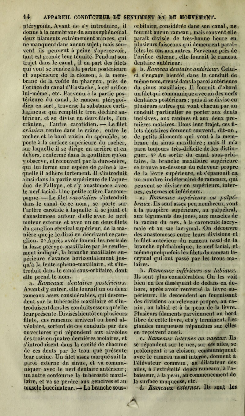 14- AFPAÏtEIË CONDtTCTEÜR Dü SËtfTIMËS'T ËT DÛ MÔÏTVÉMËXT. ptérygoïde. Avant de s’y introduire, il donne à la membrane du sinus sphénoïdal deux filaments extrêmement minces, qui ne manquent dans aucun sujet ; mais sou- vent ils peuvent à peine s’apercevoir, tant est grande leur ténuité. Pendant son trajet dans le canal, il en part des filets qui vont se rendre à la partie postérieure et supérieure de la cloison, à la mem- brane de la voûte du pharynx, près de l’orifice du canal d’Eustaclie, à cet orifice lui-même , etc. Parvenu à la partie pos- térieure du canal, le rameau ptérygoï- dien en sort, traverse la substance carti- lagineuse qui remplit le trou déchiré an- térieur, et se divise en deux filets, l’un crânien, l’autre carotidien. — Le filet crânien rentre dans le crâne, entre le rocher et le bord voisin du spénoïde, se porte à la surface supérieure du rocher, sur laquelle il se dirige en arrière et en dehors, renfermé dans la gouttière qu’on y observe, et recouvert par la dure-mère, qui lui forme une espèce de gaine à la- quelle il adhère fortement. Il s’introduit ainsi dans la partie supérieure de l’aque- duc deFallope, et s’y anastomose avec le nerf facial. Une petite artère l’accom- pagne. — Le filet carotidien s’introduit dans le canal de ce nom, se porte sur l’artère carotide à laquelle il se joint et s’anastomose autour d’elle avec le nerf moteur externe et avec un ou deux filets du ganglion c'ervical supérieur, de la ma- nière que je le dirai en décrivant ce gan- glion. 3° Après avoir fourni les nerfs de la fosse ptérygo-maxillaire par le renfle- ment indiqué, la branche maxillaire su- périeure s’avance horizontalement jus- qu’à la fente sphéno-maxillaire, et s’in- troduit dans le canal sous-orbitaire, dont elle prend le nom. a. Rameaux dentaires postérieurs. Avant d’y entrer, elle fournit un ou deux rameaux assez considérables, qui descen- dent sur la tubérosité maxillaire et s’in- troduisent dans les conduits osseux qu’elle leur présente. Divisés bientôt en plusieurs filets, ces rameaux arrivent au bord al- véolaire, sortent de ces conduits par des ouvertures qui répondent aux alvéoles des trois ou quatre dernières molaires, et s'introduisent dans la cavité de chacune de ces dents par le trou que présente leur racine. Un filet assez marqué suit la paroi externe du sinus, et va commu- niquer avec le nerf dentaire antérieur ; un autre contourne la tubérosité maxil- laire, et va se perdre aux gencives et au muscle buccinateur, — La branche sous- orbitaire, considérée dans son canal, ne fournit aucun rameau ; mais souvent elle paraît divisée de très-bonne heure en plusieurs faisceaux qui demeurent paral- lèles les uns aux autres. Parvenue près de l’orifice externe, elle fournit le rameau dentaire antérieur. f b. Rameau dentaire antérieur. Celui- ci s’engage bientôt dans le conduit de même nom,creusé dans la paroi antérieure du sinus maxillaire. Il fournit d’abord un filet qui communique avec un des nerfs dentaires postérieurs ; puis il se divise en plusieurs autres qui vont chacun par un conduit particulier se porter aux dents incisives, aux canines et aux deux pre- mières molaires. Dans leur trajet, ces fi- lets dentaires donnent souvent, dit-on , de petits filaments qui vont à la mem- brane du sinus maxillaire ; mais il m’a paru toujours très-difficile de les distin- guer. 4° Au sortir du canal sous-orbi- taire , la branche maxillaire supérieure se trouve au-dessous du releveur propre de la lèvre supérieure, et s’épanouit en un nombre indéterminé de rameaux, qui peuvent se diviser en supérieurs, inter- nes, externes et inférieurs. a. Rameaux supérieurs ou palpé- braux. Ils sont assez peu nombreux, vont à la paupière supérieure, au palpébral, aux téguments des joues; aux muscles de la racine du nez, à la caroncule lacry- male et au sac lacrymal. On découvre des anastomoses entre leurs divisions et le filet antérieur du rameau nasal de la branche ophthalmique, le nerf facial, et même quelquefois les filets du rameau la- crymal qui ont passé par les trous ma- laires. b. Rameaux inférieurs ou labiaux. Us sont plus considérables. On les voit bien en les disséquant de dedans en de- hors , après avoir renversé la lèvre su- périeure. Ils descendent en fournissant des divisions au releveur propre, au ca- nin , au labial et à la peau de la lèvre. Plusieurs filaments parviennent au bord libre de cette lèvre, et s’y terminent. Les glandes muqueuses répandues sur elles en reçoivent aussi. c. Rameaux internes ou nasaux. Us se répandent sur le nez, sur ses ailes, se prolongent à sa cloison, communiquent avec le rameau nasal interne, donnent à l’élévateur commun, au dilatateur des ailes, à l’extrémité de ses rameaux, à l’a- baisseur, à la peau, au commencement de la surface muqueuse, etc. d. Rameaux externes, Us sont Us A