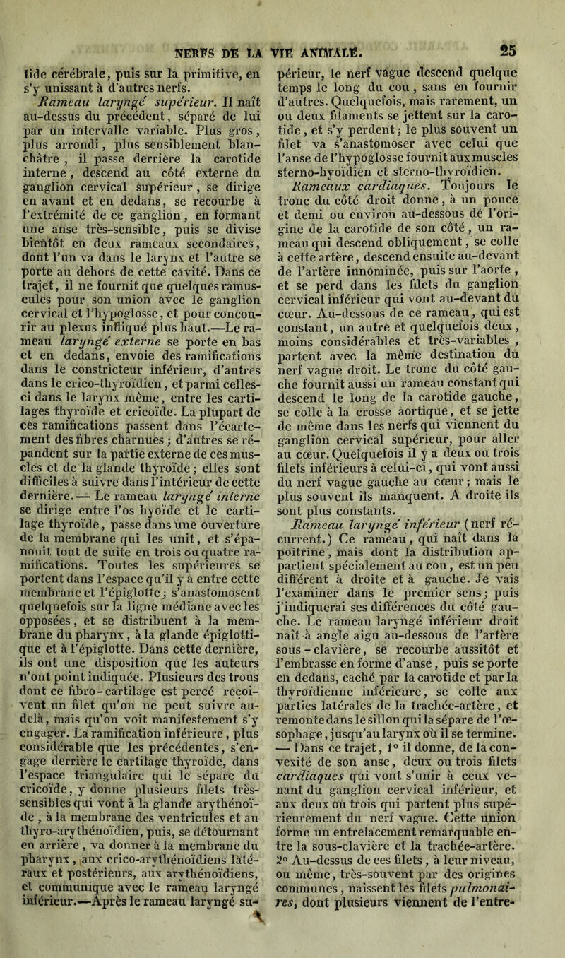 tide cérébrale, puis sur la primitive, en s’y unissant à d’autres nerfs. Rameau laryngé supérieur. Il naît au-dessus du précédent, séparé de lui par un intervalle variable. Plus gros, plus arrondi, plus sensiblement blan- châtre , il passe derrière la carotide interne , descend au côté externe du ganglion cervical supérieur, se dirige en avant et en dedans, se recourbe à l’extrémité de ce ganglion , en formant une anse très-sensible, puis se divise bientôt en deux rameaux secondaires, dont l’un va dans le larynx et l’autre se porte au dehors de cette cavité. Dans ce trajet, il ne fournit que quelques ramus- cules pour son union avec le ganglion cervical et l’hypoglosse, et pour concou- rir au plexus indiqué plus haut.—Le ra- meau laryngé externe se porte en bas et en dedans, envoie des ramifications dans le constricteur inférieur, d’autres dans le crico-thyroïdien, et parmi celles- ci dans le larynx même, entre les carti- lages thyroïde et cricoïde. La plupart de ces ramifications passent dans l’écarte- ment des fibres charnuès ; d’autres se ré- pandent sur la partie externe de ces mus- cles et de la glande thyroïde ; elles sont difficiles à suivre dans l’intérieur de cette dernière.— Le rameau laryngé interne se dirige entre l’os hyoïde et le carti- lage thyroïde, passe dans une ouverture de la membrane qui les unit, et s’épa- nouit tout de suite en trois ou quatre ra- mifications. Toutes les supérieures se portent dans l’espace qu’il y a entre cette membrane et l’épiglotte j s’anastomosent quelquefois sur la ligne médiane avec les opposées, et se distribuent à la mem- brane du pharynx , à la glande épiglotti- que et à l’épiglotte. Dans cette dernière, ils ont une disposition que les auteurs n’ont point indiquée. Plusieurs des trous dont ce fibro-cartilage est percé reçoi- vent un filet qu’on ne peut suivre au- delà , mais qu’on voit manifestement s’y engager. La ramification inférieure, plus considérable que les précédentes, s’en- gage derrière le cartilage thyroïde, dans l’espace triangulaire qui le sépare du cricoïde, y donne plusieurs filets très- sensibles qui vont à la glande arythénoï- de , à la membrane des ventricules et au thyro-arythénoïdien, puis, se détournant en arrière , va donner à la membrane du pharynx, ,aux crico-arythénoïdiens laté- raux et postérieurs, aux arythénoïdiens, et communique avec le rameau laryngé inférieur.—Après le rameau laryngé su-* \ périeur, le nerf vague descend quelque temps le long du cou , sans en fournir d’autres. Quelquefois, mais rarement, un ou deux filaments se jettent sur la caro- tide , et s’y perdent ; le plus souvent un filet va s’anastomoser avec celui que l’anse de l’hypoglosse fournit aux muscles sterno-hyoïdien et sterno-thyroïdien. Rameaux cardiaques. Toujours le tronc du côté droit donne, à un pouce et demi ou environ au-dessous dé l’ori- gine de la carotide de son côté, un ra- meau qui descend obliquement, se colle à cette artère, descend ensuite au-devant de l’artère innominée, puis sur l’aorte , et se perd dans les filets du ganglion cervical inférieur qui vont au-devant du cœur. Au-dessous de ce rameau, qui est constant, un autre et quelquefois deux, moins considérables et très-variables , partent avec la même destination du nerf vague droit. Le tronc du côté gau- che fournit aussi un rameau constant qui descend le long de la carotide gauche, se colle à la crosse aortique, et se jette de même dans les nerfs qui viennent du ganglion cervical supérieur, pour aller au cœur. Quelquefois il y a deux ou trois filets inférieurs à celui-ci, qui vont aussi du nerf vague gauche au cœur ; mais le plus souvent ils manquent. A droite ils sont plus constants. Rameau laryngé inférieur (nerf ré- current.) Ce rameau , qui naît dans la poitrine, mais dont la distribution ap- partient spécialement au cou, est un peu différent à droite et à gauche. Je vais l’examiner dans le premier sens ; puis j’indiquerai ses différences du côté gau- che. Le rameau laryngé inférieur droit naît à angle aigu au-dessous de l’artère sous - clavière, se recourbe aussitôt et l’embrasse en forme d’anse, puis se porte en dedans, caché par la carotide et par la thyroïdienne inférieure, se colle aux parties latérales de la trachée-artère, et remonte dans le sillon quila sépare de l’œ- sophage , jusqu'au larynx où il se termine. — Dans ce trajet, 1° il donne, de la con- vexité de son anse, deux ou trois filets cardiaques qui vont s’unir à ceux ve- nant du ganglion cervical inférieur, et aux deux ou trois qui partent plus supé- rieurement du nerf vague. Cette union forme un entrelacement remarquable en- tre la sous-clavière et la trachée-artère. 2° Au-dessus de ces filets, à leur niveau, ou même, très-souvent par des origines communes , naissent les filets pulmonai- res, dont plusieurs viennent de l’entre-