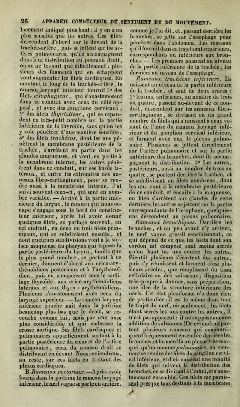 lacement indiqué plus haut : il y en a un plus sensible que les autres. Ces filets descendent d’abord sur le devant de la trachée-artère , puis se jettent $ur les ar- tères pulmonaires, qu’ils accompagnent dans leur distribution au poumon droit, où on ne les suit que difficilement : plu- sieurs des filaments qui en échappent vont augmenter les filets cardiaques. En montant le long de la trachée-artère, le rameau laryngé inférieur fournit 3° des filets œsophagiens , qui s’anastomosent dans ce conduit avec ceux du côté op- posé , et avec des ganglions cervicaux ; 4° des filets thyroïdiens , qui se répan- dent en très-petit nombre sur la partie inférieure de la thyroïde, sans qu’on les y voie pénétrer d’une manière sensible ; 5° des filets trachéens, dont les uns pé- nètrent la membrane postérieure de la trachée, s’arrêtent en partie dans les glandes muqueuses, et vont .en partie à la membrane interne; les autres pénè- trent dans ce conduit, sur ses bords la- téraux , et entre les extrémités des an- neaux fibro-cartilagineux, pour se ren- dre aussi à la membrane interne. J’ai suivi souvent ceux-ci, qui sont en nom- bre variable. — Arrivé à la partie infé- rieure du larynx, le rameau qui nous oc- cupe s’engage sous le bord du constric- teur inférieur, après lui avoir donné quelques filets, se partage souvent, en cet endroit, en deux ou trois filets prin- cipaux , qui se subdivisent ensuite , et dont quelques subdivisions vont à la sur- face muqueuse du pharynx qui tapisse la partie postérieure du larynx, tandis que le plus grand nombre, se portant à ce dernier, donnent d’abord aux crico-ary- thénoïdiens postérieurs et à l’arythénoï- dien, puis en s’engageant sous le carti- lage thyroïde, aux crico-arythénoïdiens latéraux et aux thyro - arythénoïdiens. Plusieurs s’anastomosent avec ceux du laryngé supérieur. —Le rameau laryngé inférieur gauche naît dans la poitrine beaucoup plus bas que le droit, se re- courbe comme lui, mais par une anse plus considérable et qui embrasse la crosse aortique. Ses filets .cardiaques et pulmonaires appartiennent surtout à la partie postérieure du cœur et de l’artère pulmonaire , ceux du rameau droit se distribuant en devant. Nous reviendrons, au reste, sur ces filets en traitant des plexus cardiaques. B .Rameaux pectoraux.—Après avoir fourni dans la poitrine le rameau laryngé inférieur, le nerf vague se porte en arrière. comme je l’ai dit, et, passant derrière les bronches, se jette sur l’œsophage pour pénétrer dans l’abdomen. Les rameaux qu’il fournit dans ce trajet sont supérieurs, correspondants ou inférieurs aux bron- ches. — Les premiers naissent au niveau de la partie inférieure de la trachée ; les derniers au niveau de l’œsophage. Rameaux trachéens inférieurs. Ils naissent au niveau de la partie inférieure de la trachée, et sont de deux ordres : 1° les uns, antérieurs, au nombre de trois ou quatre, passent au-devant de ce con- duit , descendent sur les anneaux fibro- cartilagineux , se divisent en un grand nombre de filets qui s’unissent à ceux ve- nant de l’anse du rameau laryngé infé- rieur et du ganglion cervical inférieur, et forment avec eux le plexus pulmo- naire. Plusieurs se jettent directement sur l’artère pulmonaire et sur la partie antérieure des bronches, dont ils accom- pagnent la distribution. 2° Les autres, postérieurs, aussi au nombre de trois ou quatre, se portent derrière la trachée, et se subdivisent en filets nombreux, dont les uns vont à la membrane postérieure de ce conduit, et ensuite à la muqueuse, ou bien s’arrêtent aux glandes de cette dernière; les autres se jettent sur la partie correspondante de l’œsophage, quelques- uns descendent au plexus pulmonaire. Rameaux bronchiques. Derrière les bronches, et un peu avant d’y arriver, le nerf vague grossit sensiblement ; ce qui dépend de ce que les filets dont son cordon est composé sont moins serrés qu’en haut les uns contre les autres. Bientôt plusieurs s’écartent des autres, puis s’y réunissent et forment ainsi plu- sieurs aréoles, que remplissent du tissu cellulaire ou des vaisseaux; disposition très-propre à donner, sans préparation, une idée de la structure intérieure des nerfs. Cet état plexiforme n’a donc rien de particulier ; il est le même dans tout le trajet du nerf, où seulement, les filets étant serrés les uns contre les autres, il n’est pas apparent : il ne suppose aucune addition de substance.pDe cet endroit par- tent plusieurs rameaux qui communi- quent fréquemment ensemble derrière les bronches, et forment là un plexus très-mar- qué, qu’on nomme pulmonaire, où vien- nent se rendre des filets du ganglion cervi- cal inférieur, et d'où naissent une infinité de filets qui suivent la distribution des bronches,en se divisant à l’infini,et s'anas- tomosant ensemble. Ces filets me parais- sent presque tous destiués à la membrane