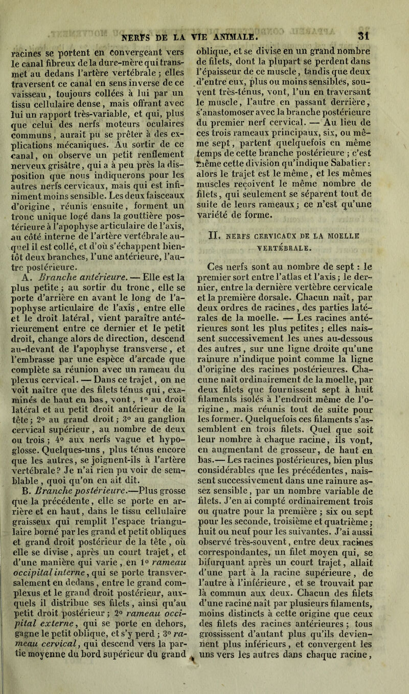 racines se portent en convergeant vers le canal fibreux delà dure-mère qui trans- met au dedans l’artère vertébrale ; elles traversent ce canal en sens inverse de ce vaisseau, toujours collées à lui par un tissu cellulaire dense , mais offrant avec lui un rapport très-variable, et qui, plus que celui des nerfs moteurs oculaires communs, aurait pu se prêter à des ex- plications mécaniques. Au sortir de ce canal, on observe un petit renflement nerveux grisâtre, qui a à peu près la dis- position que nous indiquerons pour les autres nerfs cervicaux, mais qui est infi- niment moins sensible. Les deux faisceaux d’origine , réunis ensuite, forment un tronc unique logé dans la gouttière pos- térieure à l’apophyse articulaire de l’axis, au côté interne de l’artère vertébrale au- quel il est collé, et d’où s’échappent bien- tôt deux branches, l’une antérieure, l’au- tre postérieure. A. Branche antérieure. — Elle est la plus petite ; au sortir du tronc, elle se porte d’arrière en avant le long de l’a- pophyse articulaire de l’axis , entre elle et le droit latéral, vient paraître anté- rieurement entre ce dernier et le petit droit, change alors de direction, descend au-devant de l’apophyse transverse, et l’embrasse par une espèce d’arcade que complète sa réunion avec un rameau du plexus cervical. — Dans ce trajet, on ne voit naître que des filets ténus qui, exa- minés de haut en bas , vont, 1 ° au droit latéral et au petit droit antérieur de la tête ; 2° au grand droit3° au ganglion cervical supérieur, au nombre de deux ou trois ; 4° aux nerfs vague et hypo- glosse. Quelques-uns , plus ténus encore que les autres, se joignent-ils à l’artère vertébrale? Je n’ai rien pu voir de sem- blable , quoi qu’on en ait dit. B. Branche postérieure.—Plus grosse que la précédente, elle se porte en ar- rière et en haut, dans le tissu cellulaire graisseux qui remplit l’espace triangu- laire borné par les grand et petit obliques et grand droit postérieur de la tête , où elle se divise, après un court trajet, et d’une manière qui varie , en 1° rameau occipital interne, qui se porte transver- salement en dedans , entre le grand corn- plexus et le grand droit postérieur, aux- quels il distribue ses filets, ainsi qu’au petit droit postérieur ; 2° rameau occi- pital externe, qui se porte en dehors, gagne le petit oblique, et s’y perd ; 3° ra- meau cervical, qui descend vers la par- tie moyenne du bord supérieur du grand oblique, et se divise en un grand nombre de filets, dont la plupart se perdent dans l’épaisseur de ce muscle, tandis que deux d’entre eux, plus ou moins sensibles, sou- vent très-ténus, vont, l’un en traversant le muscle, l’autre en passant derrière, s’anastomoser avec la branche postérieure du premier nerf cervical. — Au lieu de ces trois rameaux principaux, six, ou mê- me sept, partent quelquefois en même temps de cette branche postérieure ; c’est Tnême cette division qu’indique Sabatier : alors le trajet est le même, et les mêmes muscles reçoivent le même nombre de filets, qui seulement se séparent tout de suite de leurs rameaux ; ce n’est qu’une variété de forme. II, HERES CERVICAUX DE LA MOELLE VERTÉBRALE. Ces nerfs sont au nombre de sept : le premier sort entre l’atlas et l’axis ; le der- nier, entre la dernière vertèbre cervicale et la première dorsale. Chacun naît, par deux ordres de racines, des parties laté- rales de la moelle. — Les racines anté- rieures sont les plus petites -, elles nais- sent successivement les unes au-dessous des autres, sur une ligne droite qu’une rainure n’indique point comme la ligne d’origine des racines postérieures. Cha- cune naît ordinairement de la moelle, par deux filets que fournissent sept à huit filaments isolés à l’endroit même de l’o- rigine , mais réunis tout de suite pour les former. Quelquefois ces filaments s’as- semblent en trois filets. Quel que soit leur nombre à chaque racine, ils vont, en augmentant de grosseur, de haut en bas.— Les racines postérieures, bien plus considérables que les précédentes, nais- sent successivement dans une rainure as- sez sensible, par un nombre variable de filets. J’en ai compté ordinairement trois ou quatre pour la première ; six ou sept pour les seconde, troisième et quatrième ; huit ou neuf pour les suivantes. J’ai aussi observé très-souvent, entre deux racines correspondantes, un filet moyen qui, se bifurquant après un court trajet, allait d’une part à la racine supérieure , de l’autre à l’inférieure, et se trouvait par là commun aux deux. Chacun des filets d’une racine naît par plusieurs filaments, moins distincts à cette origine que ceux des filets des racines antérieures ; tous grossissent d’autant plus qu’ils devien- nent plus inférieurs, et convergent les ^ uns vers les autres dans chaque racine,