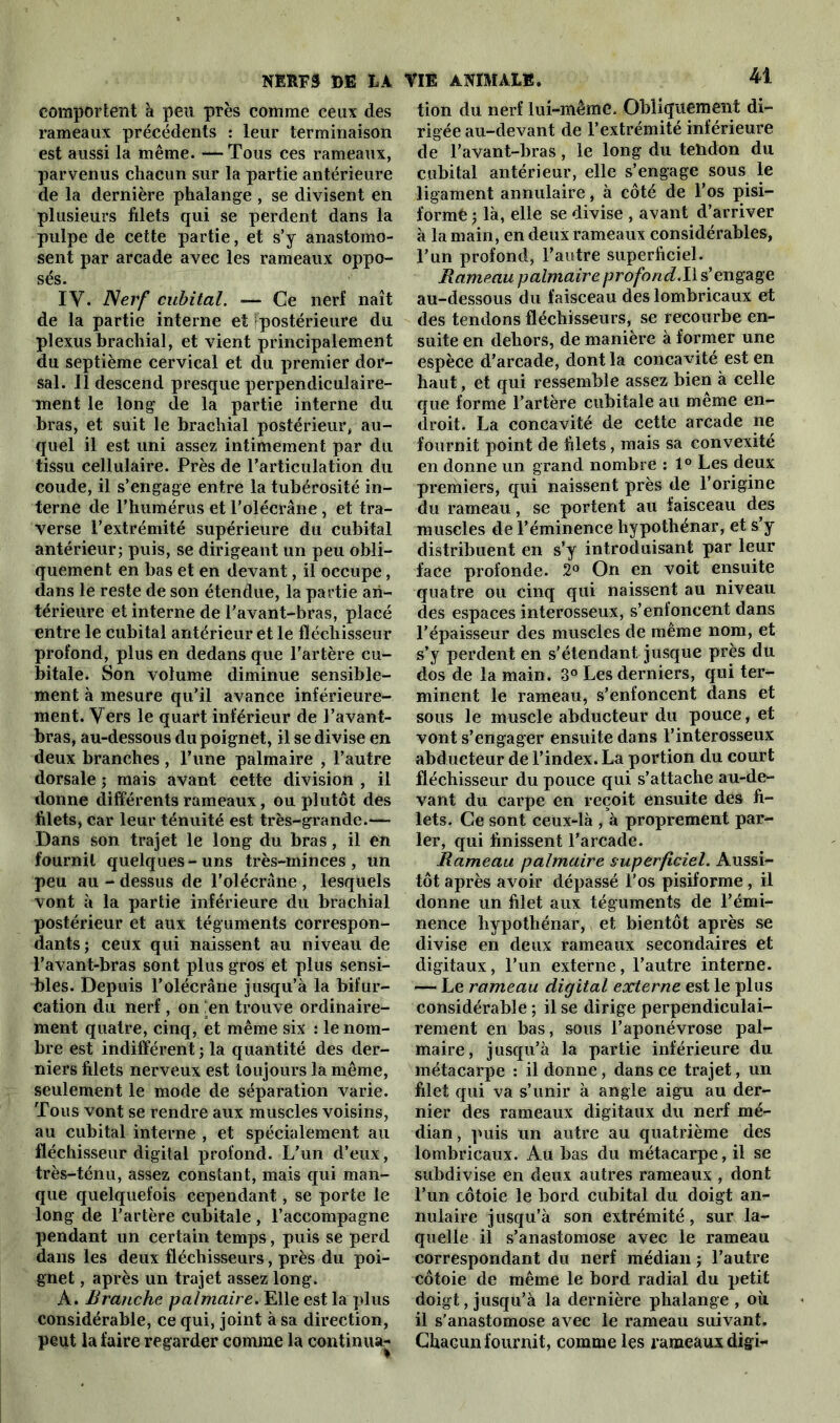 comportent à peu près comme ceux des rameaux précédents : leur terminaison est aussi la même. —Tous ces rameaux, parvenus chacun sur la partie antérieure de la dernière phalange , se divisent en plusieurs filets qui se perdent dans la pulpe de cette partie, et s’y anastomo- sent par arcade avec les rameaux oppo- sés. IV. Nerf cubital. — Ce nerf naît de la partie interne et postérieure du plexus brachial, et vient principalement du septième cervical et du premier dor- sal. Il descend presque perpendiculaire- ment le long de la partie interne du bras, et suit le brachial postérieur, au- quel il est uni assez intimement par du tissu cellulaire. Près de l’articulation du coude, il s’engage entre la tubérosité in- terne de l’humérus et l’olécrane, et tra- verse l’extrémité supérieure du cubital antérieur; puis, se dirigeant un peu obli- quement en bas et en devant, il occupe, dans le reste de son étendue, la partie an- térieure et interne de l’avant-bras, placé entre le cubital antérieur et le fléchisseur profond, plus en dedans que l’artère cu- bitale. Son volume diminue sensible- ment à mesure qu’il avance inférieure- ment. Vers le quart inférieur de l’avant- bras, au-dessous du poignet, il se divise en deux branches , l’une palmaire , l’autre dorsale ; mais avant cette division , il donne différents rameaux, ou plutôt des filets, car leur ténuité est très-grande.— Dans son trajet le long du bras, il en fournil quelques-uns très-minces, un peu au - dessus de l’olécrane , lesquels vont à la partie inférieure du brachial postérieur et aux téguments correspon- dants; ceux qui naissent au niveau de l’avant-bras sont plus gros et plus sensi- bles. Depuis l’olécrâne jusqu’à la bifur- cation du nerf, on en trouve ordinaire- ment quatre, cinq, et même six : le nom- bre est indifférent ; la quantité des der- niers filets nerveux est toujours la même, seulement le mode de séparation varie. Tous vont se rendre aux muscles voisins, au cubital interne , et spécialement au fléchisseur digital profond. L’un d’eux, très-ténu, assez constant, mais qui man- que quelquefois cependant, se porte le long de l’artère cubitale , l’accompagne pendant un certain temps, puis se perd dans les deux fléchisseurs, près du poi- gnet , après un trajet assez long. À. Branche palmaire. Elle est la plus considérable, ce qui, joint à sa direction, peut la faire regarder comme la continua- VIE ANIMALE. 41 tion du nerf lui-même. Obliquement di- rigée au-devant de l’extrémité inférieure de l’avant-bras, le long du tehdon du cubital antérieur, elle s’engage sous, le ligament annulaire, à côté de l’os pisi- forme ; là, elle se divise , avant d’arriver à la main, en deux rameaux considérables, l’un profond, l’autre superficiel. Rameau palmaireprofond.il s’engage au-dessous du faisceau des lombricaux et des tendons fléchisseurs, se recourbe en- suite en dehors, de manière à former une espèce d’arcade, dont la concavité est en haut, et qui ressemble assez bien à celle que forme l’artère cubitale au même en- droit. La concavité de cette arcade ne fournit point de filets, mais sa convexité en donne un grand nombre : 1° Les deux premiers, qui naissent près de l’origine du rameau, se portent au faisceau des muscles de l’éminence hypothénar, et s’y distribuent en s’y introduisant par leur face profonde. 2° On en voit ensuite quatre ou cinq qui naissent au niveau des espaces interosseux, s’enfoncent dans l’épaisseur des muscles de même nom, et s’y perdent en s’étendant jusque près du dos de la main. 3° Les derniers, qui ter- minent le rameau, s’enfoncent dans et sous le muscle abducteur du pouce, et vont s’engager ensuite dans l’interosseux abducteur de l’index. La portion du court fléchisseur du pouce qui s’attache au-de- vant du carpe en reçoit ensuite des fi- lets. Ce sont ceux-là , à proprement par- ler, qui finissent l’arcade. Rameau palmaire superficiel. Aussi- tôt après avoir dépassé l’os pisiforme , il donne un filet aux téguments de l’émi- nence hypothénar, et bientôt après se divise en deux rameaux secondaires et digitaux, l’un externe, l’autre interne. — Le rameau digital externe est le plus considérable ; il se dirige perpendiculai- rement en bas, sous l’aponévrose pal- maire, jusqu’à la partie inférieure du métacarpe : il donne, dans ce trajet, un filet qui va s’unir à angle aigu au der- nier des rameaux digitaux du nerf mé- dian, puis un autre au quatrième des lombricaux. Au bas du métacarpe, il se subdivise en deux autres rameaux , dont l’un côtoie le bord cubital du doigt an- nulaire jusqu’à son extrémité, sur la- quelle il s’anastomose avec le rameau correspondant du nerf médian ; l’autre côtoie de même le bord radial du petit doigt, jusqu’à la dernière phalange, où il s’anastomose avec le rameau suivant. Chacun fournit, comme les rameaux digi-