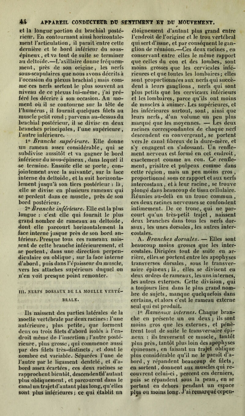 et la longue portion du brachial posté- rieur. En contournant ainsi horizontale- ment l’articulation, il paraît entre cette dernière et le bord inférieur du sous- épineux , et va tout de suite se terminer au deltoïde.—L’axillaire donne fréquem- ment , près de son origine, les nerfs sous-scapulaires que nous avons décrits à l’occasion du plexus brachial ; mais com- me ces nerfs sortent le plus souvent au niveau de ce plexus lui-même, j’ai pré- féré les décrire à son occasion. Au mo- ment où il se contourne sur la tête de l’humérus, il fournit quelques filets au muscle petit rond ; parvenu au-dessus du brachial postérieur, il se divise en deux branches principales, l’une supérieure, l’autre inférieure. 1° Branche supérieure. Elle donne un rameau assez considérable, qui se subdivise aussitôt et va gagner le bord inférieur du sous-épineux , dans lequel il se termine. Ensuite elle se porte, con- jointement avec la suivante, sur la face interne du deltoïde, et la suit horizonta- lement jusqu’à son tiers postérieur : là, elle se divise en plusieurs rameaux qui se perdent dans ce muscle, près de son bord postérieur. 2° Branche inférieure. Elle est la plus longue : c’est elle qui fournit le plus grand nombre de rameaux au deltoïde, dont elle parcourt horizontalement la face interne jusque près de son bord an- térieur. Presque tous ces rameaux nais- sent de cette branche inférieurement, et se portent, dans une direction perpen- diculaire ou oblique , sur la face interne d’abord, puis dans l’épaisseur du muscle, vers les attaches supérieurs duquel on n’en voit presque point remonter. III. NERFS DORSAUX DE LA MOELLE VERTE- BRALE. Ils naissent des parties latérales de la moelle vertébrale par deux racines : l’une antérieure, plus petite, que forment deux ou trois filets d’abord isolés à l’en- droit même de l’insertion ; l’autre posté- rieure , plus grosse, qui commence aussi par des filets très-distincts , et dont le nombre est variable. Séparées l’une de l’autre par le ligament dentelé, et d’a- bord assez écartées, ces deux racines se rapprochent bientôt, descendentkl'autant plus obliquement, et parcourent dans le canal un trajet d’autant plus long, qu’elles sont plus inférieures ; ce qui établit un éloignement d’autant plus grand entre l’endroit de l’origine et le trou vertébral qui sert d’issue, et par conséquent le gan- glion de réunion.—Ces deux racines , en conservant entre elles le même rapport que celles du cou et des lombes, sont moins grosses que les cervicales infé- rieures et que toutes les lombaires ; elles sont proportionnées aux nerfs qui succè- dent à leurs ganglions , nerfs qui sont plus petits que les cervicaux inférieurs et les lombaires, parce qu’ils ont moins de muscles à animer. Les supérieures, et les inférieures surtout, sont, ainsi que leurs nerfs, d’un volume un peu plus marqué que les moyennes. — Les deux racines correspondantes de chaque nerf descendent en convergeant, se portent vers le canal fibreux de la dure-mère, et s’y engagent en s’adossant. Un renfle- ment nerveux est formé en cet endroit, exactement comme au cou. Ce renfle- ment, grisâtre et pulpeux comme dans cette région, mais un peu moins gros , proportionné sous ce rapport et aux nerfs intercostaux , et à leur racine, se trouve plongé dans beaucoup de tissu cellulaire. Réunies au-delà en un tronc commun , ces deux racines nerveuses se confondent intimement. De ce tronc, qui ne par- court qu’un très-petit trajet , naissent deux branches dans tous les nerfs dor- saux , les unes dorsales, les autres inter- costales. A. Branches dorsales. — Elles sont beaucoup moins grosses que les inter- costales. Dirigées tout de suite en ar- rière, elles se portent entre les apophyses transverses dorsales, sous le transver- saire épineux ; là , elles se divisent en deux ordres de rameaux, les uns internes, les autres externes. Cette division, qui a toujours lieu dans le plus grand, nom- bre de sujets, manque quelquefois dans certains, et alors c’est le rameau externe seul qui est produit. 1° Rameaux internes. Chaque bran- che en présente un ou deux ; ils sont moins gros que les externes, et pénè- trent tout de suite le transversaire épi- neux : ils traversent ce muscle, tantôt plus près, tantôt plus loin des apophyses épineuses, en faisant un traj’et oblique plus considérable qu’il ne le paraît d’a- bord , y répandent beaucoup de filets, en sortent, donnent aux muscles qui re- couvrent celui-ci, percent ces derniers, puis se répandent sous la peau, en se portant en dehors pendant un espace plys ou moins long. J’ai remarqué cepen-