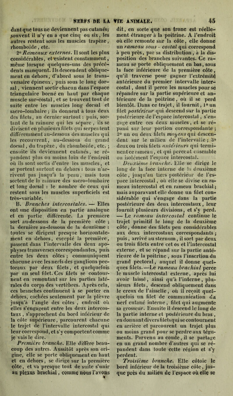 dant que tous ne deviennent pas cutanés; souvent il n’y en a que cinq ou six, les autres restent sous les muscles trapèze, rhomboïde, etc. 2° Rameaux externes. Il sont les plus considérables, et'existent constamment, même lorsque quelques-uns des précé- dents manquent. Ils descendent oblique- ment en dehors, d’abord sous le trans- versaire épineux, puis sous le long dor- sal , viennent sortir chacun dans l’espace triangulaire borné en haut par chaque muscle sur-costal, et se trouvent tout de suite entre les muscles long dorsal et sacro-lombaire ; ils donnent à tous deux des filets, au dernier surtout : puis, sor- tant de la rainure qui les sépare , iis se divisent en plusieurs filets qui serpentent différemment au-dessous des muscles qui les recouvrent, au-dessous du grand dorsal, du trapèze, du rhomboïde, etc. ; ensuite ils deviennent cutanés, se ré- pandent plus ou moins loin de l’endroit où ils sont sortis d’entre les muscles, et se portent surtout en dehors : tous n’ar- rivent pas jusqu’à la peau, mais tous sortent de la rainure des sacro-lombaire et long dorsal : le nombre de ceux qui restent sous les muscles superficiels est très-variable. B. Branches intercostales. — Elles ont une disposition en partie analogue et en partie, différente. La première sort au-dessous de la première côte ; la dernière au-dessous de la douzième : toutes se dirigent presque horizontale- ment en dehors, excepté la première, passent dans l’intervalle des deux apo- physes transverses correspondantes, puis entre les deux côtes ; communiquent chacune avec les nerfs des ganglions pec- toraux par deux filets, et quelquefois par un seul filet. Ces filets se contour- nent en remontant sur les parties laté- rales du corps des vertèbres. Après cela, ces branches continuent à se porter en dehors, cachées seulement par la plèvre jusqu’à l’angle des côtes , endroit où elles s’engagent entre les deux intercos- taux , s’approchent du bord inférieur de la côte supérieure, parcourent chacune le trajet de l’intervalle intercostal qui leur correspond, et s’y comportent comme je vais le dire. Première branche. Elle diffère beau- coup des autres. Aussitôt après son ori- gine, elle se porte obliquement en haut et en dehors, se dirige sur la première côte, et va presque tout de suite s’unir au plexus brachial, comme nous l’avons dit, en sorte que son tronc est réelle- ment étranger à la poitrine. A l’endroit où elle remonte sur la côte, elle donne un rameau sous - costal qui correspond à peu près, par sa distribution, à la dis-* position des branches suivantes. Ce ra- meau se porte obliquement en bas, sous la face inférieure de la première côte, qu’il traverse pour gagner l’extrémité antérieure du premier intervalle inter- costal , dont il perce les muscles pour se répandre sur la partie supérieure et an- térieure de la poitrine, où il se perd bientôt. Dans ce trajet, il fournit, l°un filet postérieur qui descend sur la partie postérieure de l’espace intercostal, s’en- gage entre ces deux muscles, et se ré- pand sur leur portion correspondante ; 2° un ou deux filets moyens qui descen- dent sur le milieu de l’intervalle ; 3° deux ou trois filets antérieurs qui termi- nent ce rameau, et qui percent ensemble ou isolément l’espace intercostal. Deuxième branche. Elle se dirige le long de la face interne de la deuxième côte, jusqu’au tiers postérieur de l’es- pace intercostal, où elle se divise en ra- meau intercostal et en rameau brachial; mais auparavant elle donne un filet con- sidérable qui s’engage dans la partie postérieure des deux intercostaux, leur fournit plusieurs divisions, et s’y perd. — Le rameau intercostal continue le trajet primitif le long de la deuxième côte, donne des filets peu considérables aux deux intercostaux correspondants ; puis , arrivé au sternum, il sort par deux ou trois filets entre cet os et l’intercostal externe, et se répand sur la partie anté- rieure de la poitrine , sous l’insertion du grand pectoral, auquel il donne quel- ques filets.—Le rameau brachial perce le muscle intercostal externe, après lui avoir laissé, ainsi qu’à l’interne, plu- sieurs filets, descend obliquement dans le creux de l’aisselle , où il reçoit quel- quefois un filet de communication du nerf cutané interne , filet qui augmente sa grosseur. Ensuite il descend le long de la partie interne et postérieure du bras , en donnant divers filets qui se contournent en arrière et parcourent un trajet plus ou moins grand pour se perdre aux tégu- ments. Parvenu au coude, il se partage en un grand nombre d’autres qui se ré- pandent dans toute cette région et s’y perdent. Troisième branche. Elle côtoie le bord inférieur de la troisième côte, jus- que près du milieu de l’espace où elle se