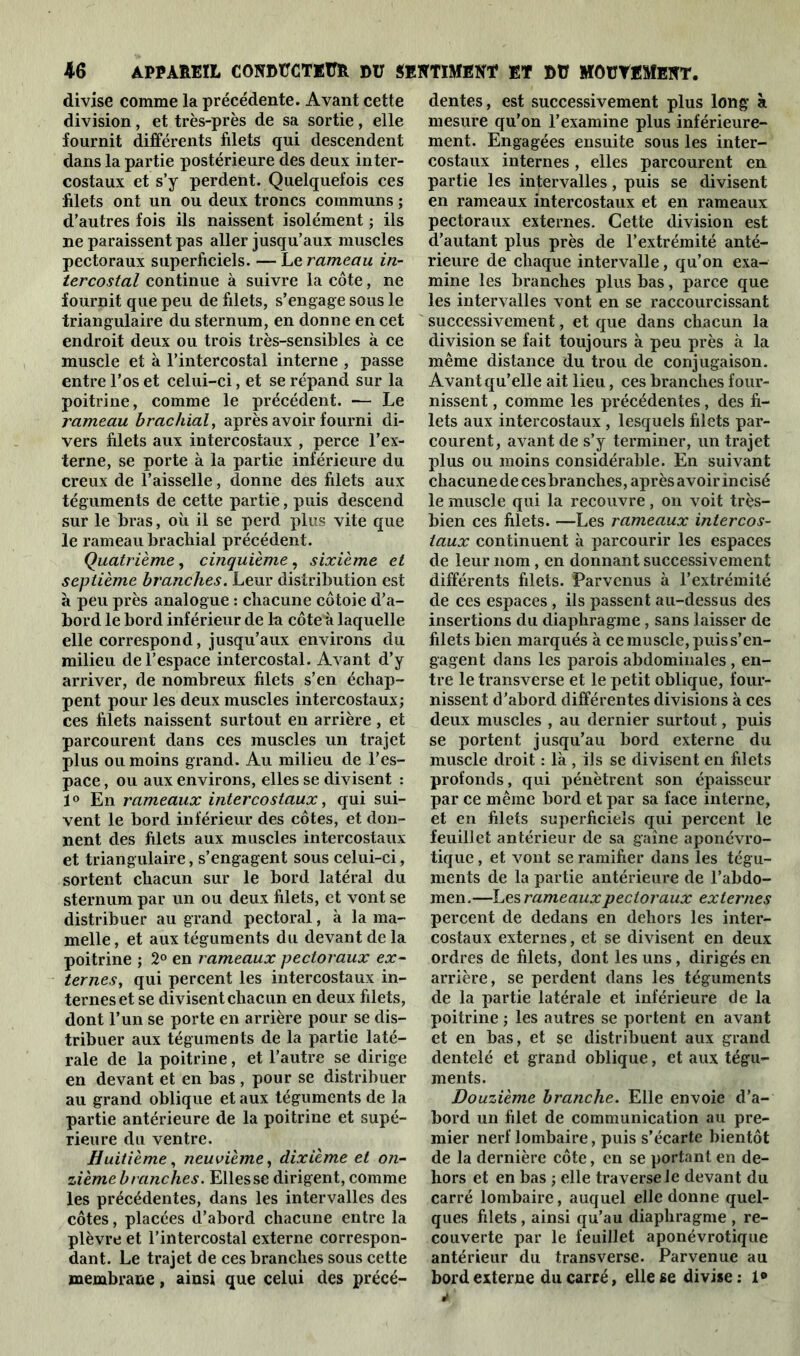 divise comme la précédente. Avant cette division, et très-près de sa sortie, elle fournit différents filets qui descendent dans la partie postérieure des deux inter- costaux et s’y perdent. Quelquefois ces filets ont un ou deux troncs communs ; d’autres fois ils naissent isolément ; ils ne paraissent pas aller jusqu’aux muscles pectoraux superficiels. — Le rameau in- tercostal continue à suivre la côte, ne fournit que peu de filets, s’engage sous le triangulaire du sternum, en donne en cet endroit deux ou trois très-sensibles à ce muscle et à l’intercostal interne , passe entre l’os et celui-ci, et se répand sur la poitrine, comme le précédent. •— Le rameau brachial, après avoir fourni di- vers filets aux intercostaux , perce l’ex- terne, se porte à la partie inférieure du creux de l’aisselle, donne des filets aux téguments de cette partie, puis descend sur le bras, où il se perd plus vite que le rameau brachial précédent. Quatrième, cinquième, sixième et septième branches. Leur distribution est à peu près analogue : chacune côtoie d’a- bord le bord inférieur de lu côteù laquelle elle correspond, jusqu’aux environs du milieu de l’espace intercostal. Avant d’y arriver, de nombreux filets s’en échap- pent pour les deux muscles intercostaux; ces filets naissent surtout en arrière, et parcourent dans ces muscles un trajet plus ou moins grand. Au milieu de l’es- pace , ou aux environs, elles se divisent : 1° En rameaux intercostaux, qui sui- vent le bord inférieur des côtes, et don- nent des filets aux muscles intercostaux et triangulaire, s’engagent sous celui-ci, sortent chacun sur le bord latéral du sternum par un ou deux filets, et vont se distribuer au grand pectoral, à la ma- melle , et aux téguments du devant de la poitrine ; 2° en rameaux pectoraux ex- ternes, qui percent les intercostaux in- ternes et se divisent chacun en deux filets, dont l’un se porte en arrière pour se dis- tribuer aux téguments de la partie laté- rale de la poitrine, et l’autre se dirige en devant et en bas , pour se distribuer au grand oblique et aux téguments de la partie antérieure de la poitrine et supé- rieure du ventre. Huitième, neuvième, dixième et on- zième branches. Elles se dirigent, comme les précédentes, dans les intervalles des côtes, placées d’abord chacune entre la plèvre et l’intercostal externe correspon- dant. Le trajet de ces branches sous cette membrane, ainsi que celui des précé- dentes, est successivement plus long à mesure qu’on l’examine plus inférieure- ment. Engagées ensuite sous les inter- costaux internes, elles parcourent en partie les intervalles, puis se divisent en rameaux intercostaux et en rameaux pectoraux externes. Cette division est d’autant plus près de l’extrémité anté- rieure de chaque intervalle, qu’on exa- mine les branches plus bas, parce que les intervalles vont en se raccourcissant successivement, et que dans chacun la division se fait toujours à peu près à la même distance du trou de conjugaison. Avant qu’elle ait lieu, ces branches four- nissent , comme les précédentes, des fi- lets aux intercostaux , lesquels filets par- courent, avant de s’y terminer, un trajet plus ou moins considérable. En suivant chacune de ces branches, après avoir incisé le muscle qui la recouvre, on voit très- bien ces filets. —Les rameaux intercos- taux continuent à parcourir les espaces de leur nom , en donnant successivement différents filets. Parvenus à l’extrémité de ces espaces , ils passent au-dessus des insertions du diaphragme , sans laisser de filets bien marqués à ce muscle, puis s’en- gagent dans les parois abdominales , en- tre le transverse et le petit oblique, four- nissent d’abord différentes divisions à ces deux muscles , au dernier surtout, puis se portent jusqu’au bord externe du muscle droit : là , ils se divisent en filets profonds, qui pénètrent son épaisseur par ce même bord et par sa face interne, et en filets superficiels qui percent le feuillet antérieur de sa gaine aponévro- tique, et vont se ramifier dans les tégu- ments de la partie antérieure de l’abdo- men.—Les rameaux pectoraux externes percent de dedans en dehors les inter- costaux externes, et se divisent en deux ordres de filets, dont les uns, dirigés en arrière, se perdent dans les téguments de la partie latérale et inférieure de la poitrine ; les autres se portent en avant et en bas, et se distribuent aux grand dentelé et grand oblique, et aux tégu- ments. Douzième branche. Elle envoie d’a- bord un filet de communication au pre- mier nerf lombaire, puis s’écarte bientôt de la dernière côte, en se portant en de- hors et en bas ; elle traverse le devant du carré lombaire, auquel elle donne quel- ques filets, ainsi qu’au diaphragme , re- couverte par le feuillet aponévrotique antérieur du transverse. Parvenue au bord externe du carré, elle se divise: 1®