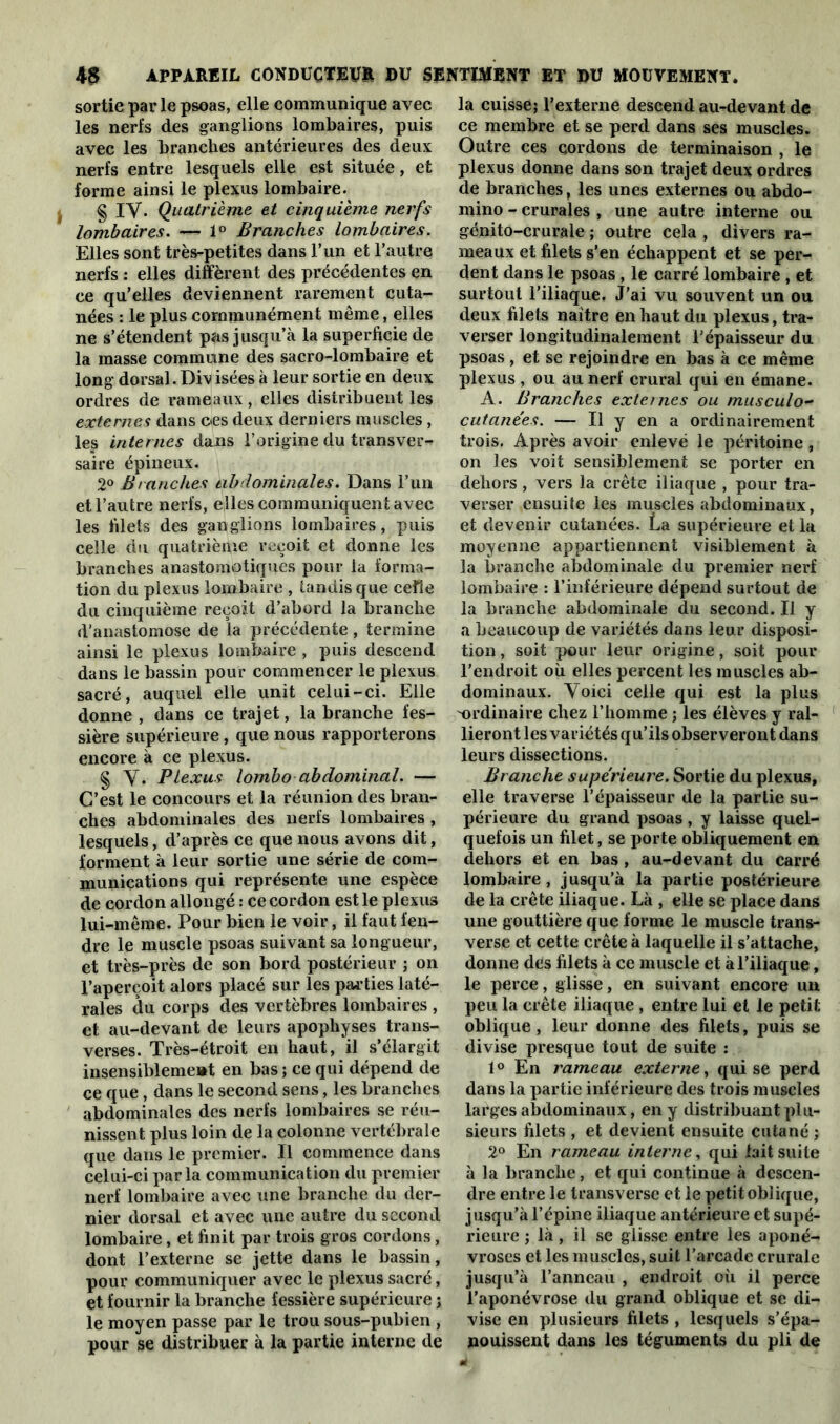 sortie parle psoas, elle communique avec les nerfs des ganglions lombaires, puis avec les branches anterieures des deux nerfs entre lesquels elle est située, et forme ainsi le plexus lombaire. § IV. Quatrième et cinquième nerfs lombaires. — 1° Branches lombaires. Elles sont très-petites dans l’un et l’autre nerfs : elles diffèrent des précédentes en ce qu’elles deviennent rarement cuta- nées : le plus communément même, elles ne s’étendent pas jusqu’à la superficie de la masse commune des sacro-lombaire et long dorsal. Divisées à leur sortie en deux ordres de rameaux , elles distribuent les externes dans c<es deux derniers muscles, les internes dans l’origine du transver- saire épineux. 2° B/anches abdominales. Dans l’un et l’autre nerfs, elles communiquent avec les filets des ganglions lombaires, puis celle du quatrième reçoit et donne les branches anastomotiques pour la forma- tion du plexus lombaire , tandis que ceïïe du cinquième reçoit d’abord la branche d’anastomose de la précédente, termine ainsi le plexus lombaire , puis descend dans le bassin pour commencer le plexus sacré, auquel elle unit celui-ci. Elle donne , dans ce trajet, la branche fes- sière supérieure, que nous rapporterons encore à ce plexus. § V. Plexus lombo abdominal. — C’est le concours et la réunion des bran- ches abdominales des nerfs lombaires , lesquels, d’après ce que nous avons dit, forment à leur sortie une série de com- munications qui représente une espèce de cordon allongé : ce cordon est le plexus lui-même. Pour bien le voir, il faut fen- dre le muscle psoas suivant sa longueur, et très-près de son bord postérieur ; on l’aperçoit alors placé sur les parties laté- rales du corps des vertèbres lombaires , et au-devant de leurs apophyses trans- verses. Très-étroit en haut, il s’élargit insensiblement en bas ; ce qui dépend de ce que, dans le second sens, les branches abdominales des nerfs lombaires se réu- nissent plus loin de la colonne vertébrale que dans le premier. Il commence dans celui-ci parla communication du premier nerf lombaire avec une branche du der- nier dorsal et avec une autre du second lombaire, et finit par trois gros cordons, dont l’externe se jette dans le bassin, pour communiquer avec le plexus sacré, et fournir la branche fessière supérieure ; le moyen passe par le trou sous-pubien , pour se distribuer à la partie interne de la cuissej l’externe descend au-devant de ce membre et se perd dans ses muscles. Outre ces cordons de terminaison , le plexus donne dans son trajet deux ordres de branches, les unes externes ou abdo- mino - crurales , une autre interne ou génito-crurale ; outre cela , divers ra- meaux et filets s’en échappent et se per- dent dans le psoas , le carré lombaire , et surtout l’iliaque. J’ai vu souvent un ou deux filets naître en haut du plexus, tra- verser longitudinalement l’épaisseur du psoas, et se rejoindre en bas à ce même plexus , ou au nerf crural qui en émane. A. Branches externes ou musculo- cutanées. — Il y en a ordinairement trois. Après avoir enlevé le péritoine , on les voit sensiblement se porter en dehors, vers la crête iliaque , pour tra- verser ensuite les muscles abdominaux, et devenir cutanées. La supérieure et la moyenne appartiennent visiblement à la branche abdominale du premier nerf lombaire : l’inférieure dépend surtout de la branche abdominale du second. Il y a beaucoup de variétés dans leur disposi- tion , soit pour leur origine, soit pour l’endroit où elles percent les muscles ab- dominaux. Voici celle qui est la plus 'ordinaire chez l’homme ; les élèves y ral- lieront les variétés qu’ils observeront dans leurs dissections. Branche supérieure. Sortie du plexus, elle traverse l’épaisseur de la partie su- périeure du grand psoas, y laisse quel- quefois un filet, se porte obliquement en dehors et en bas , au-devant du carré lombaire , jusqu’à la partie postérieure de la crête iliaque. Là , elle se place dans une gouttière que forme le muscle trans- verse et cette crête à laquelle il s’attache, donne des filets à ce muscle et à l’iliaque, le perce, glisse, en suivant encore un peu la crête iliaque , entre lui et le petit oblique, leur donne des filets, puis se divise presque tout de suite : i° En rameau externe, qui se perd dans la partie inférieure des trois muscles larges abdominaux, en y distribuant plu- sieurs filets , et devient ensuite cutané ; 2° En rameau interne, qui lait suite à la branche, et qui continue à descen- dre entre le transverse et le petit oblique, jusqu’à l’épine iliaque antérieure et supé- rieure ; là, il se glisse entre les aponé- vroses et les muscles, suit l’arcadc crurale jusqu’à l’anneau , endroit où il perce l’aponévrose du grand oblique et se di- vise en plusieurs filets , lesquels s’épa- nouissent dans les téguments du pli de