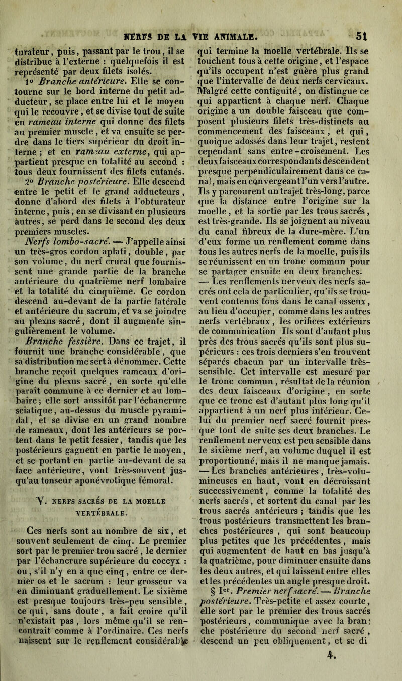 turateur, puis, passant par le trou, il se distribue à l’externe : quelquefois il est représenté par deux filets isolés. 1° Branche antérieure. Elle se con- tourne sur le bord interne du petit ad- ducteur , se place entre lui et le moyen qui le recouvre, et se divise tout de suite en rameau interne qui donne des filets au premier muscle , et va ensuite se per- dre dans le tiers supérieur du droit in- terne ; et en rameau externe, qui ap- partient presque en totalité au second : tous deux fournissent des filets cutanés. 2° Branche postérieure. Elle descend entre le petit et le grand adducteurs , donne d’abord des filets à l’obturateur interne, puis, en se divisant en plusieurs autres, se perd dans le second des deux premiers muscles. Nerfs lombo-sacré. — J’appelle ainsi un très-gros cordon aplati, double, par son volume, du nerf crural que fournis- sent une grande partie de la branche antérieure du quatrième nerf lombaire et la totalité du cinquième. Ce cordon descend au-devant de la partie latérale et antérieure du sacrum, et va se joindre au plexus sacré, dont il augmente sin- gulièrement le volume. Branche fessière. Dans ce trajet, il fournit une branche considérable , que sa distribution me sert à dénommer. Cette branche reçoit quelques rameaux d’ori- gine du plexus sacré , en sorte qu’elle paraît commune à ce dernier et au lom- baire ; elle sort aussitôt par l’échancrure sciatique, au-dessus du muscle pyrami- dal, et se divise en un grand nombre de rameaux, dont les antérieurs se por- tent dans le petit fessier, tandis que les postérieurs gagnent en partie le moyen, et se portant en partie au-devant de sa face antérieure, vont très-souvent jus- qu’au tenseur aponévrotique fémoral. Y. NERFS SACRÉS DE LA MOELLE VERTÉBRALE. Ces nerfs sont au nombre de six, et souvent seulement de cinq. Le premier sort par le premier trou sacré , le dernier par l’échancrure supérieure du coccyx : ou, s’il n’y en a que cinq, entre ce der- nier os et le sacrum : leur grosseur va en diminuant graduellement. Le sixième est presque toujours très-peu sensible, ce qui, sans doute , a fait croire qu’il n’existait pas , lors même qu’il se ren- contrait comme à l’ordinaire. Ces nerfs naissent sur le renflement considérable qui termine la moelle vertébrale. Ils se touchent tous à cette origine, et l’espace qu’ils occupent n’est guère plus grand que l’intervalle de deux nerfs cervicaux. Malgré cette contiguïté, on distingue ce qui appartient à chaque nerf. Chaque origine a un double faisceau que com- posent plusieurs filets très-distincts au commencement des faisceaux , et qui, quoique adossés dans leur trajet, restent cependant sans entre-croisement. Les deuxfaisceaux correspondants descendent presque perpendiculairement dans ce ca- nal, mais en convergeant l’un vers l’autre. Ils y parcourent un trajet très-long, parce que la distance entre l’origine sur la moelle , et la sortie par les trous sacrés, est très-grande. Ils se joignent au niveau du canal fibreux de la dure-mère. L’un d’eux forme un renflement comme dans tous les autres nerfs de la moelle, puis ils se réunissent en un tronc commun pour se partager ensuite en deux branches. — Les renflements nerveux des nerfs sa- crés ont cela de particulier, qu’ils se trou- vent contenus tous dans le canal osseux, au lieu d’occuper, comme dans les autres nerfs vertébraux, les orifices extérieurs de communication Ils sont d’autant plus près des trous sacrés qu’ils sont plus su- périeurs : ces trois derniers s’en trouvent séparés chacun par un intervalle très- sensible. Cet intervalle est mesuré par le tronc commun , résultat de la réunion des deux faisceaux d’origine , en sorte que ce tronc est d’autant plus long qu’il appartient à un nerf plus inférieur. Ce- lui du premier nerf sacré fournit pres- que tout de suite ses deux branches. Le renflement nerveux est peu sensible dans le sixième nerf, au volume ducjuel il est proportionné, mais il ne manque jamais. — Les branches antérieures , très-volu- mineuses en haut, vont en décroissant successivement, comme la totalité des nerfs sacrés, et sortent du canal par les trous sacrés antérieurs ; tandis que les trous postérieurs transmettent les bran- ches postérieures , qui sont beaucoup plus petites que les précédentes, mais qui augmentent de haut en bas jusqu’à la quatrième, pour diminuer ensuite dans les deux autres, et qui laissent entre elles et les précédentes un angle presque droit. § Ier. Premier nerf sacré. — Branche postérieure. Très-petite et assez courte, elle sort par le premier des trous sacrés postérieurs, communique avec la bran: che postérieure du second nerf sacré , descend un peu obliquement, et se di 4.