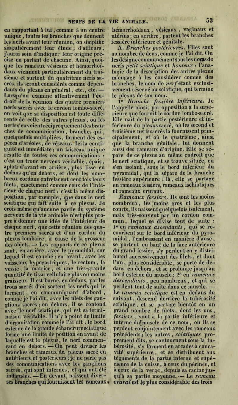 en rapportant à lui, comme à un centre unique, toutes les branches que donnent les nerfs avant leur réunion, on simplifie singulièrement leur étude ; d’ailleurs , j’aurai soin d’indiquer leur origine pré- cise en parlant de chacune. Ainsi, quoi- que les rameaux vésicaux et hémorrhoï- daux viennent particulièrement du troi- sième et surtout du quatrième nerfs sa- crés, ils seront considérés comme dépen- dants du plexus en général, etc., etc. — Lorsqu’on examine attentivement l’en- droit de la réunion des quatre premiers nerfs sacrés avec le cordon lombo-sacré, on voit que sa disposition est toute diffé- rente de celle des autres plexus , où les nerfs s’envoient réciproquement des bran- ches de communication , branches qui, quelquefois multipliées, forment des es- pèces d’aréoles, de réseaux. Ici la conti- guïté est immédiate ; un faisceau unique résulte de toutes ces communications : c’est un tronc nerveux véritable , épais , aplati d'avant en arrière, plus lisse en dedans qu’en dehors, et dont les nom- breux cordons entrelacent cent fois leurs filets , exactement comme ceux de l’inté- rieur de chaque nerf : c'est la même dis- position , par exemple, que dans le nerf sciatique qui fait suite à ce plexus. Je crois même qu’aucune partie du système nerveux de la vie animale n'est plus pro- pre à donner une idée de l’intérieur de chaque nerf, que cette réunion des qua- tre premiers sacrés et d’un cordon du plexus lombaire, à cause de la grosseur des objets. —» Les rapports de ce plexus sont, en arrière, avec le pyramidal, sur lequel il est couché ; en avant, avec les vaisseaux hypogastriques, le rectum , la vessie , la matrice , et une très-grande quantité de tissu cellulaire plus ou moins graisseux. Il est borné, en dedans, parles trous sacrés d’où sortent les nerfs qui le forment , en communiquant d’abord , comme je l’ai dit, avec les filets des gan- glions sacrés ; en dehors, il se confond avec fle nerf sciatique, qui est sa termi- naison véritable. Il n’y a point de limite d’organisation comme je l'ai dit : le bord externe de la grande échancrure sciatique forme une limite de position en avant de laquelle est le plexus, le nerf commen- çant en dehors. — On peut diviser les branches et rameaux du plexus sacré en antérieurs et postérieurs ; je ne parle pas des communications avec les ganglions sacrés, qui sont internes, et qui ont été indiquées. —En devant, naissent diver- ses branches qui fournissent les rameaux * liémorrhoïdaux , vésicaux , vaginaux et utérins ; en arrière, partent les branches fessière inférieure et génitale. A. Branches postérieures. Elles sont au nombre de deux, comme je l’ai dit. On les désigne communément sous les noms de nerfs petit sciatique et honteux : l’ana- logie de la description des autres plexus m’engage à les considérer comme des branches, le nom de nerf étant exclusi- vement réservé au sciatique, qui termine le plexus de son nom. 1° Branche fessière inferieure. Je l’appelle ainsi, par opposition à la supé- rieure que fournit le cordon lombo-sacré. Elle naît de la partie postérieure et in- férieure du plexus sacré, où les second et troisième nerfs sacrés la fournissent prin- cipalement , et où le quatrième , ainsi que la branche génitale , lui donnent aussi des rameaux d’origine. Elle se sé- pare de ce plexus au même endroit que le nerf sciatique, et se trouve située, en s’en isolant, sous le bord inférieur du pyramidal, qui la sépare de la branche fessière supérieure : là, elle se partage en rameaux fessiers, rameaux ischiatiques et rameaux cruraux. Rameaux fessiers. Ils sont les moins nombreux, les ;moins gros et les plus courts; ils naissent quelquefois isolément, mais très-souvent par un cordon com- mun , lequel se divise tout de suite : 1° en rameaux ascendants , qui se re- courbent sur le bord inférieur du pyra- midal , l’embrassent en manière d’anse , se portent en haut de la face antérieure du grand fessier, s’y perdent en y distri- buant successivement des filets , et dont l’un, plus considérable, se porte de de- dans en dehors, et se prolonge jusqu’au bord externe du muscle ; 2° en rameaux descendants, peu nombreux , et qui se perdent tout de suite dans ce muscle. — Le rameau sciatique est en dedans du suivant, descend derrière la tubérosité sciatique, et se partage bientôt en un grand nombre de filets, dont les uns, fessiers, vont à la partie inférieure et interne dufmuscle de ce nom, où ils se perdent conjointement avec les rameaux précédents ; les autres , sciatiques pro- prement dits, se contournent sous la tu- bérosité , s’y forment en arcades à conca- vité supérieure , et se distribuent aux téguments de la partie interne et supé- rieure de la cuisse, à ceux du périnée, et à ceux de la verge, depuis sa racine jus- qu’à sa partie moyenne. — Le rameau crural est le plus considérable des trois