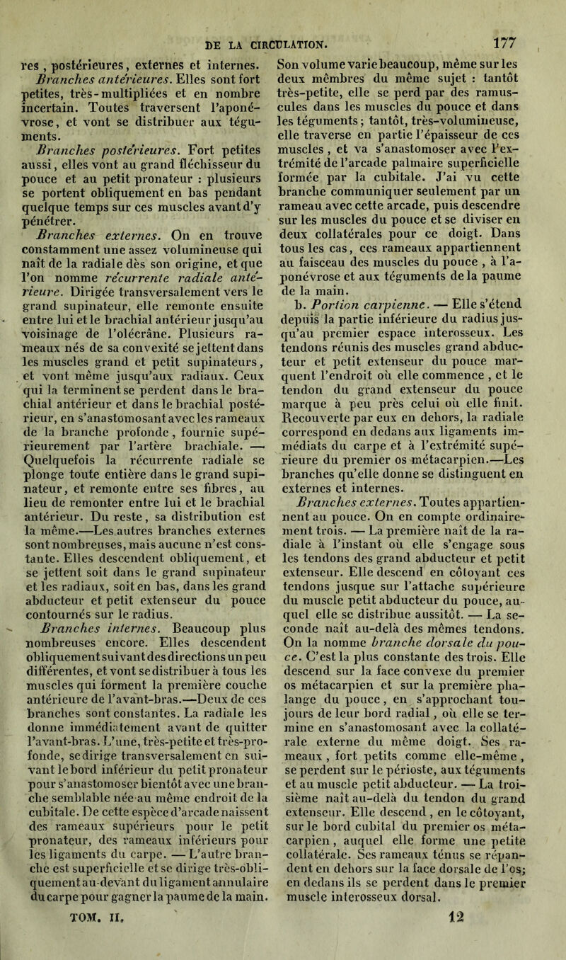 res, postérieures, externes et internes. Branches antérieures. Elles sont fort petites, très-multipliées et en nombre incertain. Toutes traversent l’aponé- vrose, et vont se distribuer aux tégu- ments. Branches postérieures. Fort petites aussi, elles vont au grand fléchisseur du pouce et au petit pronateur : plusieurs se portent obliquement en bas pendant quelque temps sur ces muscles avant d’y pénétrer. Branches externes. On en trouve constamment une assez volumineuse qui naît de la radiale dès son origine, et que l’on nomme récurrente radiale anté- rieure. Dirigée transversalement vers le grand supinateur, elle remonte ensuite entre lui et le brachial antérieur jusqu’au voisinage de l’olécrâne. Plusieurs ra- meaux nés de sa convexité se jettent dans les muscles grand et petit supinateurs, et vont même jusqu’aux radiaux. Ceux qui la terminent se perdent dans le bra- chial antérieur et dans le brachial posté- rieur, en s’anastomosant avec les rameaux de la branche profonde, fournie supé- rieurement par l’artère brachiale. — Quelquefois la récurrente radiale se plonge toute entière dans le grand supi- nateur, et remonte entre ses fibres, au lieu de remonter entre lui et le brachial antérieur. Du reste, sa distribution est la même.—Les autres branches externes sont nombreuses, mais aucune n’est cons- tante. Elles descendent obliquement, et se jettent soit dans le grand supinateur et les radiaux, soit en bas, dans les grand abducteur et petit extenseur du pouce contournés sur le radius. Branches internes. Beaucoup plus nombreuses encore. Elles descendent obliquement suivant des directions un peu différentes, et vont se distribuer à tous les muscles qui forment la première couche antérieure de l’avant-bras.—Deux de ces branches sont constantes. La radiale les donne immédiatement avant de quitter l’avant-bras. L’une, très-petite et très-pro- fonde, se dirige transversalement en sui- vant le bord inférieur du petit pronateur pour s’anastomoser bientôt avec une bran- che semblable née au même endroit de la cubitale. De cette espèce d’arcade naissent des rameaux supérieurs pour le petit pronateur, des rameaux inférieurs pour les ligaments du carpe. —L’autre bran- che est superficielle et se dirige très-obli- quement au-devant du ligament annulaire du carpe pour gagner la paume de la main. TOM. II» Son volume varie beaucoup, même sur les deux mêmbres du même sujet : tantôt très-petite, elle se perd par des ramus- cules dans les muscles du pouce et dans les téguments; tantôt, très-volumineuse, elle traverse en partie l’épaisseur de ces muscles , et va s’anastomoser avec l'ex- trémité de l’arcade palmaire superficielle formée par la cubitale. J’ai vu cette branche communiquer seulement par un rameau avec cette arcade, puis descendre sur les muscles du pouce et se diviser en deux collatérales pour ce doigt. Dans tous les cas, ces rameaux appartiennent au faisceau des muscles du pouce , à l’a- ponévrose et aux téguments de la paume de la main. b. Portion carpienne. — Elle s’étend depuis la partie inférieure du radius jus- qu’au premier espace interosseux. Les tendons réunis des muscles grand abduc- teur et petit extenseur du pouce mar- quent l’endroit où elle commence , et le tendon du grand extenseur du pouce marque à peu près celui où elle finit. Recouverte par eux en dehors, la radiale correspond en dedans aux ligaments im- médiats du carpe et à l’extrémité supé- rieure du premier os métacarpien.—Les branches qu’elle donne se distinguent en externes et internes. Branches externes. Toutes appartien- nent au pouce. On en compte ordinaire- ment trois. — La première naît de la ra- diale à l’instant où elle s’engage sous les tendons des grand abducteur et petit extenseur. Elle descend en côtoyant ces tendons jusque sur l’attache supérieure du muscle petit abducteur du pouce, au- quel elle se distribue aussitôt. — La se- conde naît au-delà des mêmes tendons. On la nomme branche dorsale du pou- ce. C’est la plus constante des trois. Elle descend sur la face convexe du premier os métacarpien et sur la première pha- lange du pouce, en s’approchant tou- jours de leur bord radial, où elle se ter- mine en s’anastomosant avec la collaté- rale externe du même doigt. Ses ra- meaux , fort petits comme elle-même , se perdent sur le périoste, aux téguments et au muscle petit abducteur. — La troi- sième naît au-delà du tendon du grand extenseur. Elle descend, en le côtoyant, sur le bord cubilal du premier os méta- carpien , auquel elle forme une petite collatérale. Ses rameaux ténus se répan- dent en dehors sur la face dorsale de l’os; en dedans ils se perdent dans le premier muscle interosseux dorsal. n