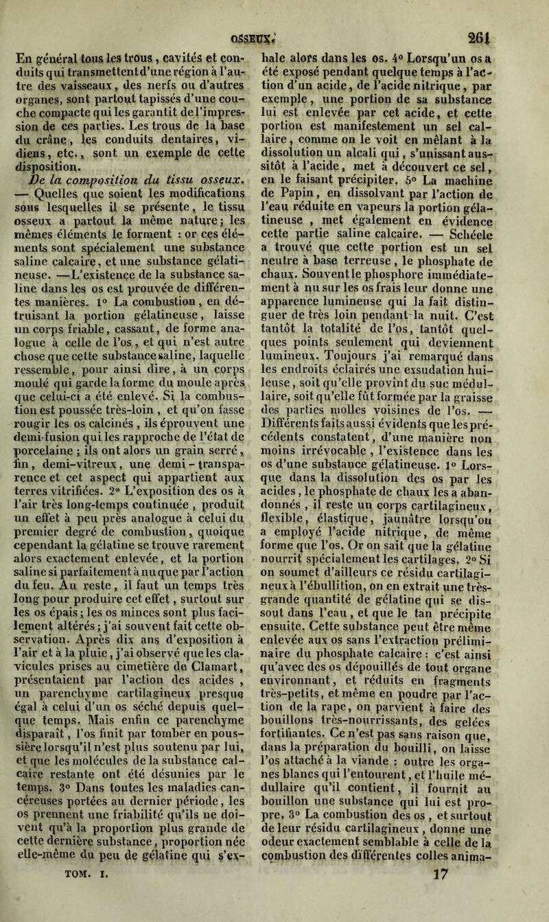 En général tous les trous, cavités et con- duits qui transmettentd’une région à l’au- tre des vaisseaux, des nerfs ou d’autres organes, sont partout tapissés d’une cou- che compacte qui les garantit de l’impres- sion de ces parties. Les trous de la base du crâne, les conduits dentaires, vi- diens, etc., sont un exemple de cette disposition. De la composition du tissu osseux. — Quelles que soient les modifications sous lesquelles il se présente, le tissu osseux a partout la même nature; les mêmes éléments le forment : or ces élé- ments sont spécialement une substance saline calcaire, et une substance gélati- neuse. —L’existençe de la substance sa- line dans les os est prouvée de différen- tes manières. 1° La combustion, en dé- truisant la portion gélatineuse, laisse un corps friable, cassant, de forme ana- logue à celle de l’os , et qui n’est autre chose que cette substance saline, laquelle ressemble, pour ainsi dire, à un corps moulé qui garde la forme du moule après que celui-ci a été enlevé. Si la combus- tion est poussée très-loin , et qu’on fasse rougir les os calcinés , ils éprouvent une demi-fusion qui les rapproche de l’état de porcelaine ; ils ont alors un grain serré, fin, demi-vitreux, une demi - transpa- rence et cet aspect qui appartient aux terres vitrifiées. 2® L’exposition des os à l’air très long-temps continuée , produit un effet à peu près analogue à celui du premier degré de combustion, quoique cependant la gélatine se trouve rarement alors exactement enlevée, et la portion saline si parfaitement à nu que par l’action du feu. Au reste , il faut un temps très long pour produire cet effet, surtout sur les os épais ; les os minces sont plus faci- lement altérés ; j’ai souvent fait cette ob- servation. Après dix ans d’exposition à l’air et à la pluie, j’ai observé que les cla- vicules prises au cimetière de Clamart, présentaient par l’action des acides , un parenchyme cartilagineux presque égal à celui d’un os séché depuis quel- que temps. Mais enfin ce parenchyme disparaît, l’os finit par tomber en pous- sière lorsqu’il n’est plus soutenu par lui, et que les molécules delà substance cal- caire restante ont été désunies par le temps. 3° Dans toutes les maladies can- céreuses portées au dernier période, les os prennent une friabilité qu’ils ne doi- vent qu’à la proportion plus grande de cette dernière substance, proportion née elle-même du peu de gélatine qui s’ex- TOM. i. haie alors dans les os. 4° Lorsqu’un osa été exposé pendant quelque temps à l’ac- tion d’un acide, de l’acide nitrique, par exemple, une portion de sa substance lui est enlevée par cet acide, et cette portion est manifestement un sel cal- laire , comme on le voit en mêlant à la dissolution un alcali qui, s’unissant aus- sitôt à l’acide, met à découvert ce sel, en le faisant précipiter. 5° La machine de Papin, en dissolvant par l’action de l’eau réduite en vapeurs la portion géla- tineuse , met également en évidence cette partie saline calcaire. — Schéele a trouvé que cette portion est un sel neutre à base terreuse , le phosphate de chaux. Souvent le phosphore immédiate- ment à nu sur les os frais leur donne une apparence lumineuse qui la fait distin- guer de très loin pendant la nuit. C’est tantôt la totalité de l’os, tantôt quel- ques points seulement qui deviennent lumineux. Toujours j’ai remarqué dans les endroits éclairés une exsudation hui- leuse , soit qu’elle provînt du suc médul- laire, soit qu’elle fût formée par la graisse des parties molles voisines de l’os. —- Différents faits aussi évidents que les pré- cédents constatent, d’une manière non moins irrévocable , l’existence dans les os d’une substance gélatineuse. 1° Lors- que dans la dissolution des os par les acides, le phosphate de chaux les a aban- donnés , il reste un corps cartilagineux, flexible, élastique, jaunâtre lorsqu’on a employé l’acide nitrique, de même forme que l’os. Or on sait que la gélatine nourrit spécialement les cartilages. 2° Si on soumet d’ailleurs ce résidu cartilagi- neux à l’ébullition, on en extrait une très- grande quantité de gélatine qui se dis- sout dans l’eau , et que le tan précipite ensuite. Cette substance peut être même enlevée aux os sans l’extraction prélimi- naire du phosphate calcaire : c’est ainsi qu’avec des os dépouillés de tout organe environnant, et réduits en fragments très-petits, et même en poudre par l’ac- tion de la râpe, on parvient à faire des bouillons très-nourrissants, des gelées fortifiantes. Ce n’est pas sans raison que, dans la préparation du bouilli, on laisse l’os attaché à la viande : outre les orga- nes blancs qui l’entourent, et l’huile mé- dullaire qu’il contient, il fournit au bouillon une substance qui lui est pro- pre. 3° La combustion des os , et surtout de leur résidu cartilagineux , donne une odeur exactement semblable à celle de la combustion des différentes colles anima- 17