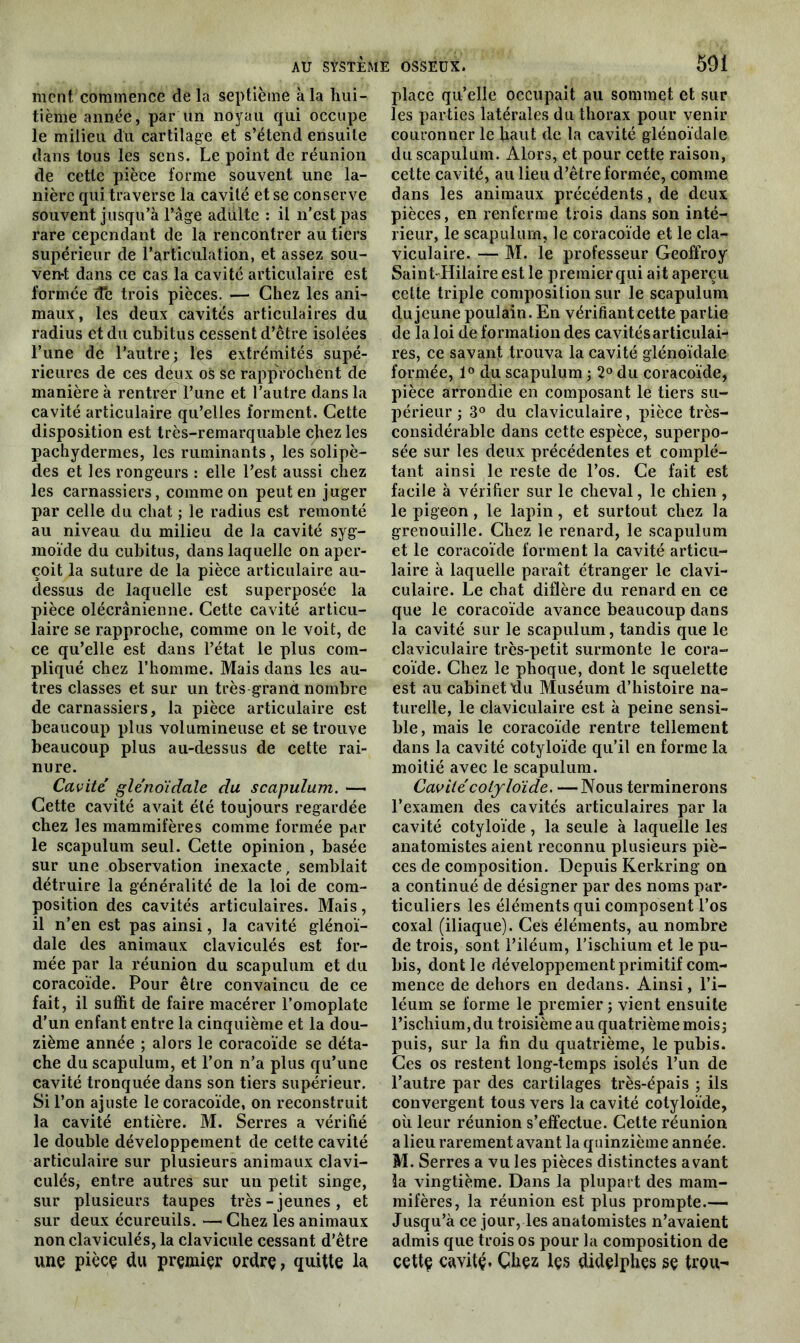 ment commence de la septième à la hui- tième année, par un noyau qui occupe le milieu du cartilage et s’étend ensuite dans tous les sens. Le point de réunion de cette pièce forme souvent une la- nière qui traverse la cavité et se conserve souvent jusqu’à l’âge adulte : il n’est pas rare cependant de la rencontrer au tiers supérieur de l’articulation, et assez sou- vent dans ce cas la cavité articulaire est formée de trois pièces. — Chez les ani- maux, les deux cavités articulaires du radius et du cubitus cessent d’être isolées l’une de l’autre; les extrémités supé- rieures de ces deux os se rapprochent de manière à rentrer l’une et l’autre dans la cavité articulaire qu’elles forment. Cette disposition est très-remarquable chez les pachydermes, les ruminants, les solipè- des et les rongeurs : elle l’est aussi chez les carnassiers, comme on peut en juger par celle du chat ; le radius est remonté au niveau du milieu de la cavité syg- moïde du cubitus, dans laquelle on aper- çoit la suture de la pièce articulaire au- dessus de laquelle est superposée la pièce olécranienne. Cette cavité articu- laire se rapproche, comme on le voit, de ce qu’elle est dans l’état le plus com- pliqué chez l’homme. Mais dans les au- tres classes et sur un très grand nombre de carnassiers, la pièce articulaire est beaucoup plus volumineuse et se trouve beaucoup plus au-dessus de cette rai- nure. Cavité glénoïdale du scapulum. — Cette cavité avait été toujours regardée chez les mammifères comme formée par le scapulum seul. Cette opinion, basée sur une observation inexacte, semblait détruire la généralité de la loi de com- position des cavités articulaires. Mais, il n’en est pas ainsi, la cavité glénoï- dale des animaux claviculés est for- mée par la réunion du scapulum et du coracoïde. Pour être convaincu de ce fait, il suffit de faire macérer l’omoplate d’un enfant entre la cinquième et la dou- zième année ; alors le coracoïde se déta- che du scapulum, et l’on n’a plus qu’une cavité tronquée dans son tiers supérieur. Si l’on ajuste le coracoïde, on reconstruit la cavité entière. M. Serres a vérifié le double développement de cette cavité articulaire sur plusieurs animaux clavi- culés, entre autres sur un petit singe, sur plusieurs taupes très-jeunes, et sur deux écureuils. — Chez les animaux non claviculés, la clavicule cessant d’être une pièce du premier ordre, quitte la place qu’elle occupait au sommet et sur les parties latérales du thorax pour venir couronner le haut de la cavité glénoïdale du scapulum. Alors, et pour cette raison, cette cavité, au lieu d’être formée, comme dans les animaux précédents, de deux pièces, en renferme trois dans son inté- rieur, le scapulum, le coracoïde et le cla- viculaire. — M. le professeur Geoffroy Saint-Hilaire est le premier qui ait aperçu cette triple composition sur le scapulum du jeune poulain. En vérifiant cette partie de la loi de formation des cavités articulai- res, ce savant trouva la cavité glénoïdale formée, 1° du scapulum ; 2° du coracoïde, pièce arrondie en composant le tiers su- périeur ; 3° du claviculaire, pièce très- considérable dans cette espèce, superpo- sée sur les deux précédentes et complé- tant ainsi le reste de l’os. Ce fait est facile à vérifier sur le cheval, le chien , le pigeon, le lapin, et surtout chez la grenouille. Chez le renard, le scapulum et le coracoïde forment la cavité articu- laire à laquelle paraît étranger le clavi- culaire. Le chat diffère du renard en ce que le coracoïde avance beaucoup dans la cavité sur le scapulum, tandis que le claviculaire très-petit surmonte le cora- coïde. Chez le phoque, dont le squelette est au cabinet tlu Muséum d’histoire na- turelle, le claviculaire est à peine sensi- ble, mais le coracoïde rentre tellement dans la cavité cotyloïde qu’il en forme la moitié avec le scapulum. Cavité cotyloïde. —Nous terminerons l’examen des cavités articulaires par la cavité cotyloïde, la seule à laquelle les anatomistes aient reconnu plusieurs piè- ces de composition. Depuis Kerkring on a continué de désigner par des noms par- ticuliers les éléments qui composent l’os coxal (iliaque). Ces éléments, au nombre de trois, sont l’iléum, l’ischium et le pu- bis, dont le développement primitif com- mence de dehors en dedans. Ainsi, l’i- léum se forme le premier ; vient ensuite l’ischium, du troisième au quatrième mois; puis, sur la fin du quatrième, le pubis. Ces os restent long-temps isolés l’un de l’autre par des cartilages très-épais ; ils convergent tous vers la cavité cotyloïde, où leur réunion s’effectue. Cette réunion a lieu rarement avant la quinzième année. M. Serres a vu les pièces distinctes avant la vingtième. Dans la plupart des mam- mifères, la réunion est plus prompte.— Jusqu’à ce jour, les anatomistes n’avaient admis que trois os pour la composition de cettç cavitç. Çhçz lçs didelphçs sç trou-