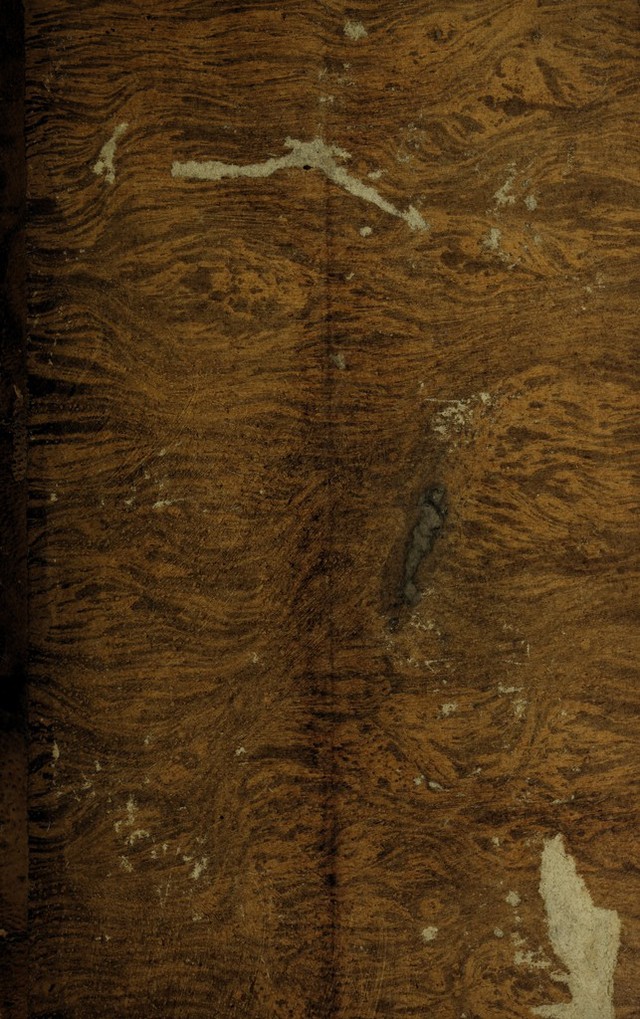 No text description is available for this image