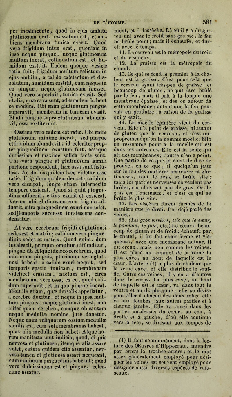 )per incaîescénte, quod in ejus ambitu glutinosum erat, exassatum est, et am- biens membrana tunica evasit. Quod vero frigidum intus erat, quoniam in ipso neque pingue, neque glutinosum jnultum inerat, colliquatum est, et liu- midum -exstitit. Eadem quoque vesicæ ratio fuit ; frigidum multutn relictum in ejus ambitu, a calido calefactum et dis- solutum, humidum exstitit, cum neque in eo pingue , neque glutinosum inesset. Quod vero superfuit, tunica evasit. Sed etalia, quæcava sunt, ad eumdem habent se modum. Ubi enim glutinosum pingue superavit, membrana in tunicam evasit. Et ubi pingue supra glutinosum abunda- vit, ossa exstiterunt. Ossium vero eadem est ratio. Ubi enim glutinosum minime inerat, sed pingue et frigidum abundavit, id celeriler prop- ter pinguedinem exustum fuit, ossaque durissima et maxime solida facta sunt. Ubi -vero pingue et glutinosum simili portione respondent, hæcossa suntfistn- losa. Ac de hisquidem hæc videtur esse ratio. Frigidum quidem densat ; calidum vero dissipât, longo etiam interposito tempore exsiccat. Quod si quid pingue- dinis adfuerit, citius exurit et exsiccat. Verum ubi glutinosum cum frigido ad- fuerit, citra pinguedinem exuri non solet, sedjtemporis successu incalescens con- densatur. At vero cerebrum frigidi et glutinosi sedesest et matrix ; calidum vero pingue- dinis sedes et matrix. Quod enim, dum incalescit, priraum omnium diffunditur, pingue fit. Atqueidcirco cerebrum, quod minimum pinguis, plurimum vero gluti- nosi habeat, a calido exuri nequit, sed temporis spatio tunicam , membranam videlicet crassam, nactum est, circa membranam vero ossa, ex eo , quod cali- dum superavit, et in quo pingue inerat. Medulla etiam, quæ dorsalis appellatur , a cerebro ducitur, et neque in ipsa mul- tum pinguis, neque glutinosi inest, non aliter quam cerebro , eamque ob causam neque medullæ nomme jure donatur. Neque enim reliquorum ossium medullæ similis est, cum sola membranas habeat, quas alia medulla non habet. Atque ho- rum manifesta sunt indicia, quod, si quis nervosa et glutinosa, itemque alia assare volet, cætera quidem cito assentur, ner- vosa tamen et glutinosa assari nequeant, cum minimum pinguedinishabeant ; quod vero dulcissimum est et pingue, celer- rime assatur. ment, et il dessèche. Là où il y a du glu- ten uni avec le froid sans graisse, le feu ne brûle point ; mais il échauffe, et dur- cit avec le temps. 11. Le cerveau est la métropole du froid et du visqueux. 12. La graisse est la métropole du chaud. 13. Ce qui se fond le premier à la cha- leur est la graisse. C’est pour cela que le cerveau ayant très-peu de graisse , et beaucoup de gluten, ne put être brûlé par le feu , mais il prit à la longue une membrane épaisse, et des os autour de cette membrane ; autant que le feu pou- vait en produire, à raison de la graisse qui y était. 14. La moelle épinière vient du cer- veau. Elle n’a point de graisse, ni autant de gluten que le cerveau, et c’est im- proprement qu’on la nomme moelle. Elle ne ressemme point a la moelle qui est dans les autres os. Elle est la seule qui ait des membranes ; l’autre n’en a point. Une partie de ce que je viens de dire se prouve, en ce que , si quelqu’un jette sur le feu des matières nerveuses et glu- lineuses, tout le reste se brûle vite ; mais les parties nerveuses ne veulent pas brûler, car elles ent peu de gras. Or, le gras est l’onctueux , et c’est ce qui se brûle le plus vite. 15. Les viscères furent formés de la manière que je dirai. J’ai déjà parlé des veines. 16. (Les gros viscères, tels que le cœur, le ■poumon, le foie, etc.) Le cœur a beau- coup de gluten et de froid ; échauffé par le chaud, il fut fait chair ferme et vis- queuse / avec une membrane autour. Il est creux, mais non comme les veines. Il est placé au sommet de la veine la plus cave, au bout de laquelle est le cœur. L'artère (1) a plus de chaleur que la veine cave, et elle distribue le souf- fle. Outre ces veines, il y en a d’autres dans le corps. La plus cave , au bout de laquelle est le cœur, va dans tout le ventre et au diaphragme ; elle se divise pour aller à chacun des deux reins; elle va aux lombes , aux autres parties et à chaque jambe. Elle va aussi dans les parties au-dessus du cœur, au cou , à droite et à gauche, d’où elle continue vers la tête, se divisant aux tempes de (1) Il faut communément, dans la lec- ture des Œuvres d’Hippocrate, entendre par artère la trachée-artère ; et le mot assez généralement employé pour dési- gner les veines est souvent employé pour désigner aussi diverses espèces de vais- seaux.