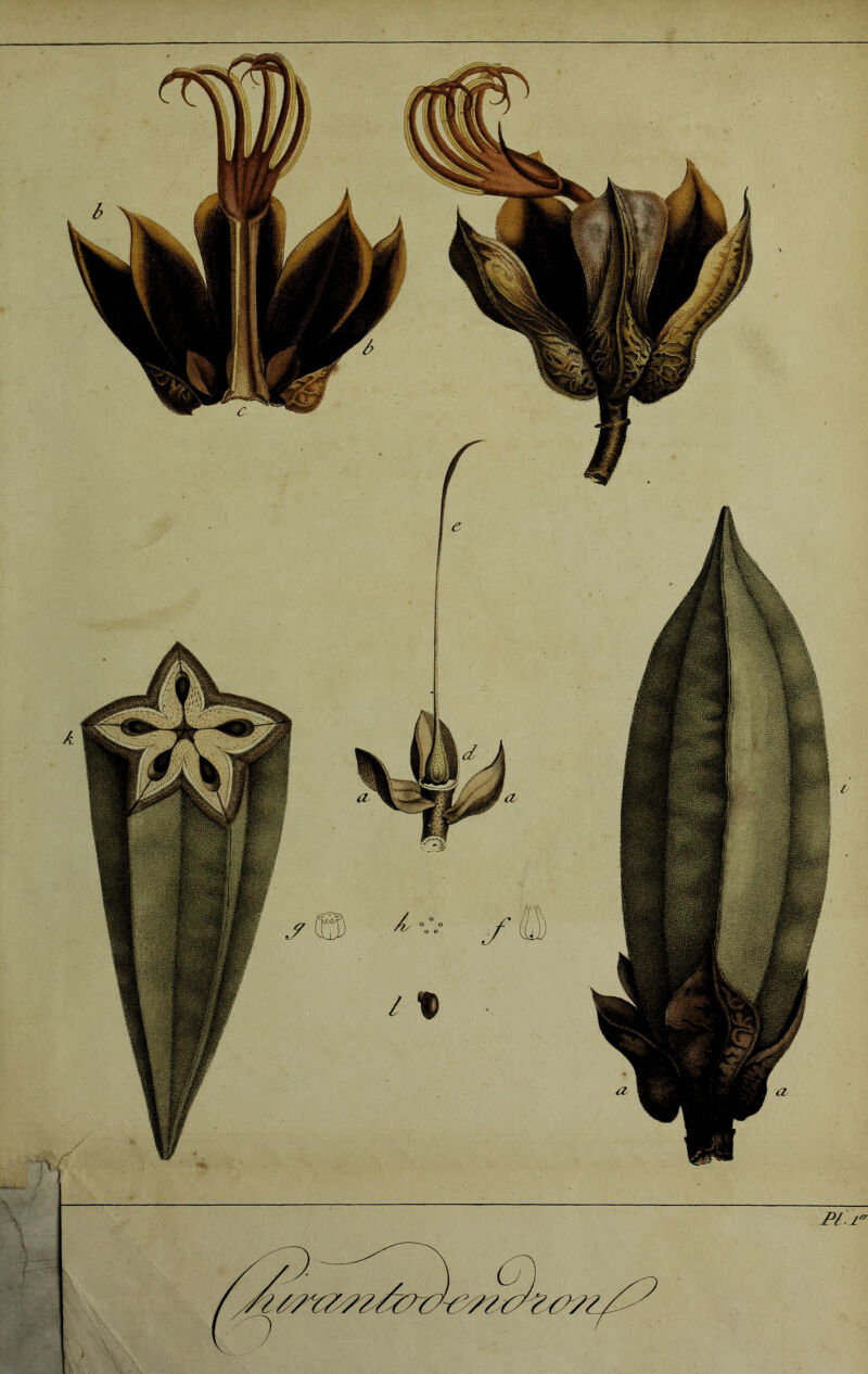 l Xp ' kn / y i .. in Pl'.i^' il ÜBIriî / IwMl^ 1