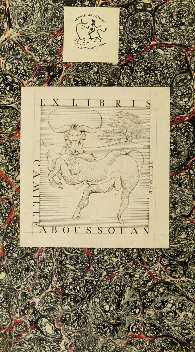 No text description is available for this image