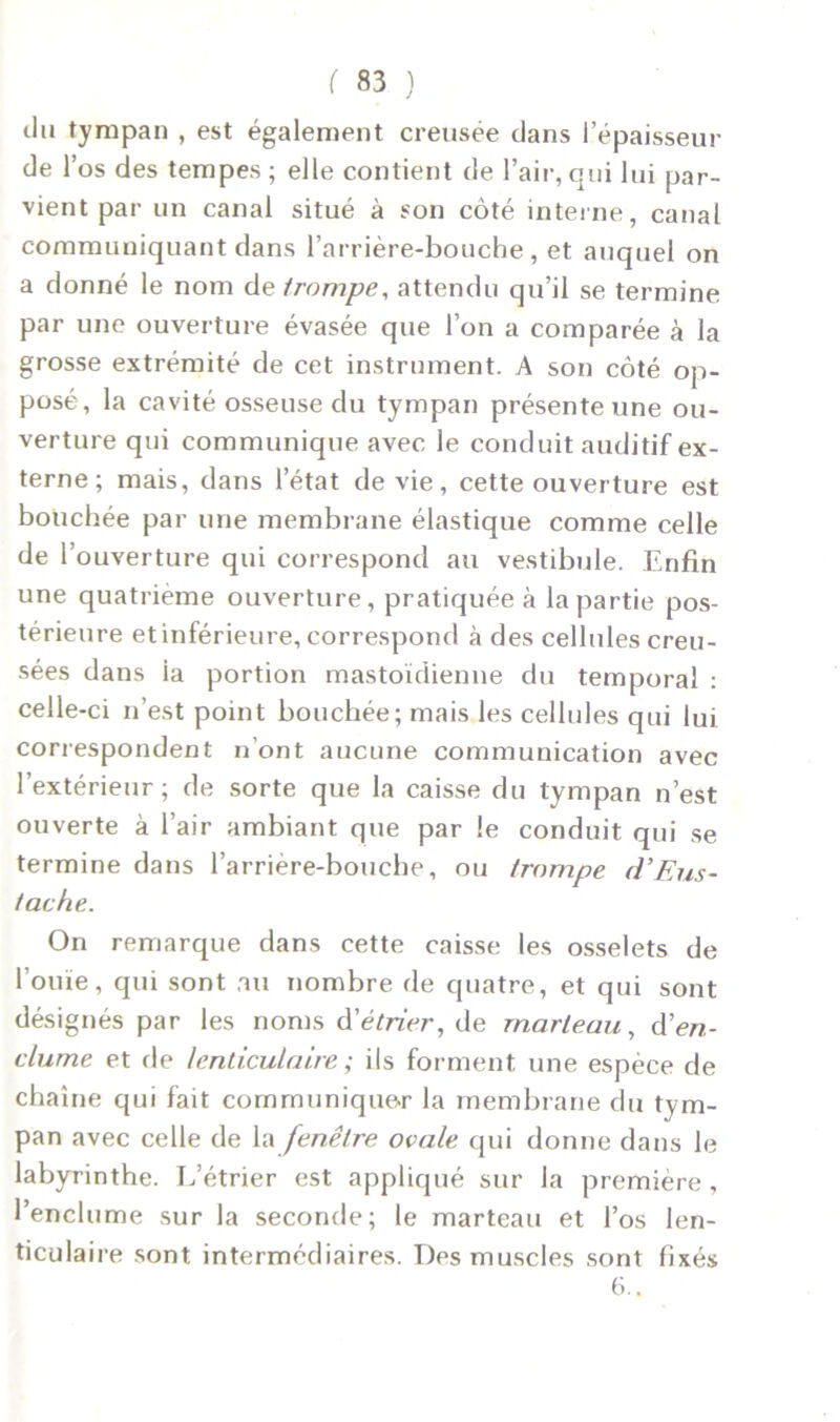 du tympan , est également creusée dans l’épaisseur de l’os des tempes ; elle contient de l’air, qui lui par- vient par un canal situé à son côté interne, canal communiquant dans l’arrière-bouche, et auquel on a donné le nom de trompe, attendu qu’il se termine par une ouverture évasée que l’on a comparée à la grosse extrémité de cet instrument. A son côté op- posé, la cavité osseuse du tympan présente une ou- verture qui communique avec le conduit auditif ex- terne; mais, dans l’état de vie, cette ouverture est bouchée par une membrane élastique comme celle de l’ouverture qui correspond au vestibule. Enfin une quatrième ouverture, pratiquée à la partie pos- térieure et inférieure, correspond à des cellules creu- sées dans ia portion mastoïdienne du temporal : celle-ci n’est point bouchée; mais les cellules qui lui correspondent n'ont aucune communication avec l’extérieur; de sorte que la caisse du tympan n’est ouverte à l’air ambiant que par le conduit qui se termine dans l’arrière-bouche, ou trompe d’Eus- tache. On remarque dans cette caisse les osselets de l’ouïe, qui sont au nombre de quatre, et qui sont désignés par les noms d'étrier, de marteau, d'en- clume et de lenticulaire ; ils forment une espèce de chaîne qui fait communiquer la membrane du tym- pan avec celle de la fenêtre ovale qui donne dans le labyrinthe. L’étrier est appliqué sur la première , l’enclume sur la seconde; le marteau et l’os len- ticulaire sont intermédiaires. Des muscles sont fixés 6..