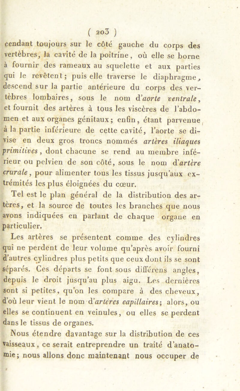 ( 200 ) cendaut toujours sur le côté gauche du corps des vertèbres, la cavité de la poitrine, où elle se borne à fournir des rameaux au squeletle et aux parties qui Je revêtent; puis elle traverse le diaphragme, descend sur la partie antérieure du corps des ver- tèbres lombaires, sous le nom d’aorte ventrale, et fournit des artères à tous les viscères de l’abdo- men et aux organes génitaux; enfin, étant parvenue à la partie inférieure de cette cavité, l’aorte se di- vise en deux gros troncs nommés artères iliaques primitives, dont chacune se rend au membre infé- rieur ou pelvien de son côté, sous le nom d’artère crurale, pour alimenter tous les tissus jusqu’aux ex- trémités les plus éloignées du cœur. Tel est le plan général de la distribution des ar- tères, et la source de toutes les branches que nous avons indiquées en parlant de chaque organe en particulier. Les artères se présentent comme des cylindres qui ne perdent de leur volume qu’après avoir fourni d’autres cylindres plus petits que ceux dont ils se sont séparés. Ces départs se font sous différens angles, depuis le droit jusqu’au plus aigu. Les dernières sont si petites, qu’on les compare à des cheveux, d’où leur vient le nom d'artères capillaires; alors, ou elles se continuent en veinules, ou elles se perdent dans le tissus de organes. Nous étendre davantage sur la distribution de ces vaisseaux, ce serait entreprendre un traité d'anato- mie; nous allons donc maintenant nous occuper de