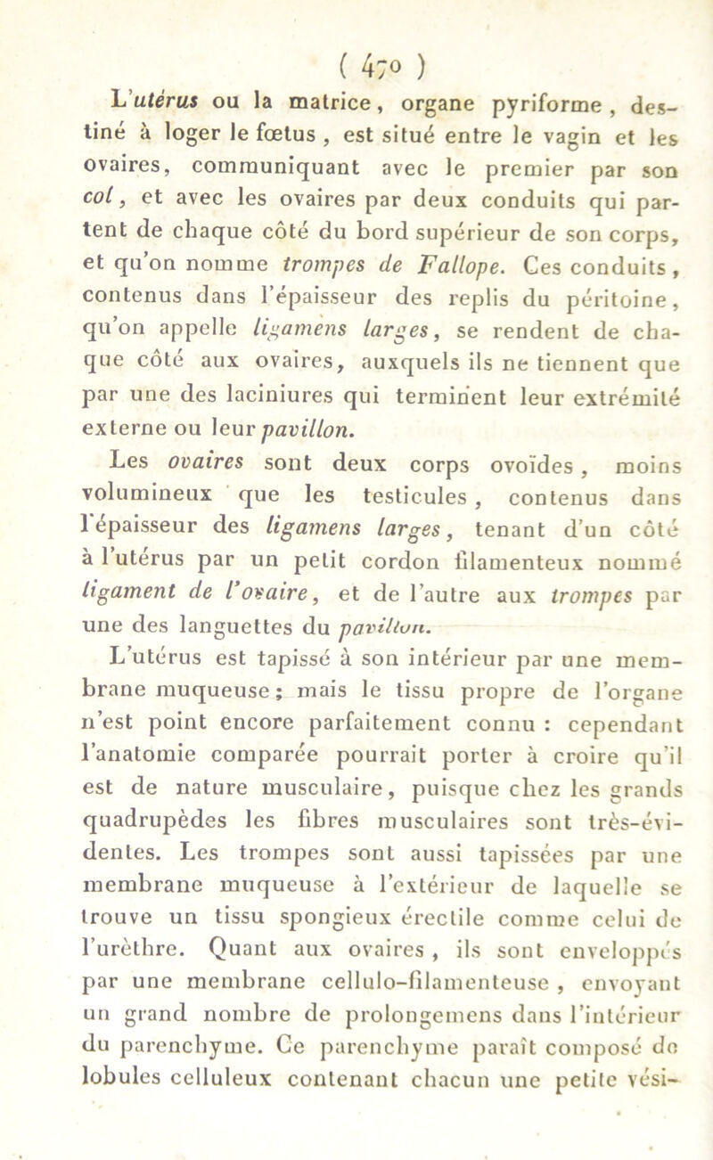 L'utérus ou la matrice, organe pyriforme , des- tiné à loger le fœtus , est situé entre le vagin et les ovaires, communiquant avec le premier par son col, et avec les ovaires par deux conduits qui par- tent de chaque côté du bord supérieur de son corps, et qu’on nomme trompes de Fallope. Ces conduits , contenus dans l’épaisseur des replis du péritoine, qu’on appelle ligamèns larges, se rendent de cha- que côté aux ovaires, auxquels ils ne tiennent que par une des laciniures qui terminent leur extrémité externe ou leur pavillon. Les ovaires sont deux corps ovoïdes, moins volumineux que les testicules, contenus dans 1 épaisseur des ligamens larges, tenant d’un côté à 1 utérus par un petit cordon filamenteux nommé ligament de l’ovaire, et de l’autre aux trompes par une des languettes du pavillon. L’utérus est tapissé à son intérieur par une mem- brane muqueuse ; mais le tissu propre de l’organe n’est point encore parfaitement connu : cependant l’anatomie comparée pourrait porter à croire qu’il est de nature musculaire, puisque chez les grands quadrupèdes les fibres musculaires sont très-évi- dentes. Les trompes sont aussi tapissées par une membrane muqueuse à l’extérieur de laquelle se trouve un tissu spongieux érectile comme celui de l’urèthre. Quant aux ovaires , ils sont enveloppés par une membrane cellulo-filamenteuse , envoyant un grand nombre de prolongemens dans l’intérieur du parenchyme. Ce parenchyme paraît composé de lobules celluleux contenant chacun une petite vési—