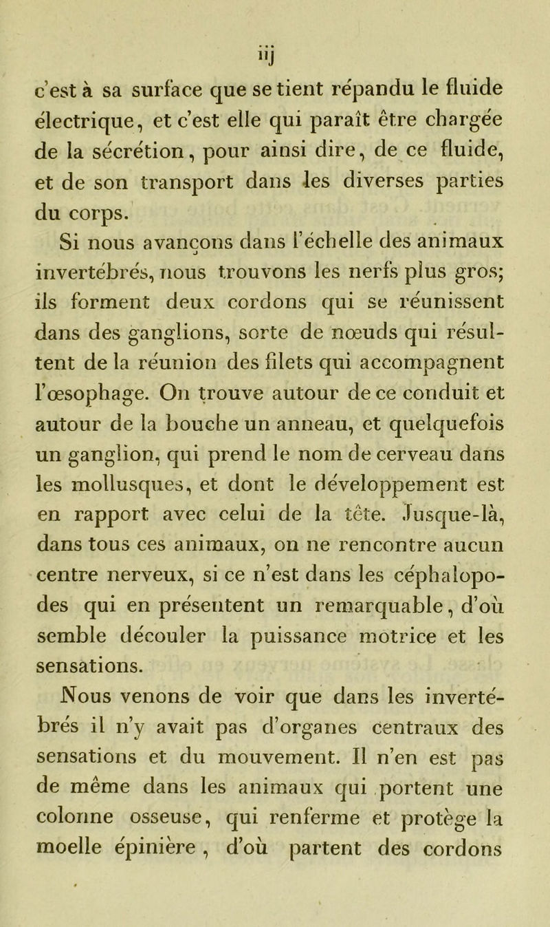11J c’est à sa surface que se tient répandu le fluide électrique, et c’est elle qui paraît être chargée de la sécrétion, pour ainsi dire, de ce fluide, et de son transport dans les diverses parties du corps. Si nous avançons dans l’échelle des animaux j invertébrés, nous trouvons les nerfs plus gros; ils forment deux cordons qui se réunissent dans des ganglions, sorte de nœuds qui résul- tent de la réunion des filets qui accompagnent l’œsophage. On trouve autour de ce conduit et autour de la bouche un anneau, et quelquefois un ganglion, qui prend le nom de cerveau dans les mollusques, et dont le développement est en rapport avec celui de la tête. Jusque-là, dans tous ces animaux, on ne rencontre aucun centre nerveux, si ce n’est dans les céphalopo- des qui en présentent un remarquable, d’où semble découler la puissance motrice et les sensations. Nous venons de voir que dans les inverté- brés il n’y avait pas d’organes centraux des sensations et du mouvement. Il n’en est pas de même dans les animaux qui portent une colonne osseuse, qui renferme et protège la moelle épinière, d’où partent des cordons