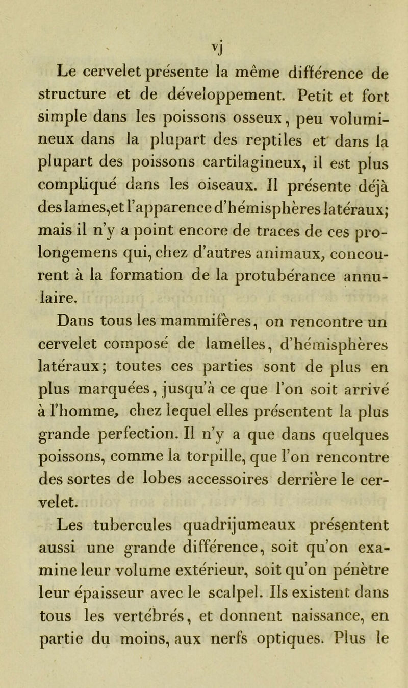 VJ Le cervelet présente la même différence de structure et de développement. Petit et fort simple dans les poissons osseux, peu volumi- neux dans la plupart des reptiles et dans la plupart des poissons cartilagineux, il est plus compliqué dans les oiseaux. Il présente déjà des lames,et l’apparence d’hémisphères latéraux; mais il n’y a point encore de traces de ces pro- longemens qui, chez d’autres animaux, concou- rent à la formation de la protubérance annu- laire. Dans tous les mammifères, on rencontre un cervelet composé de lamelles, d’hémisphères latéraux; toutes ces parties sont de plus en plus marquées, jusqu’à ce que l’on soit arrivé à l’homme, chez lequel elles présentent la plus grande perfection. Il n’y a que dans quelques poissons, comme la torpille, que l’on rencontre des sortes de lobes accessoires derrière le cer- velet. Les tubercules quadrijumeaux présentent aussi une grande différence, soit qu’on exa- mine leur volume extérieur, soit qu’on pénètre leur épaisseur avec le scalpel. Ils existent dans tous les vertébrés, et donnent naissance, en partie du moins, aux nerfs optiques. Plus le