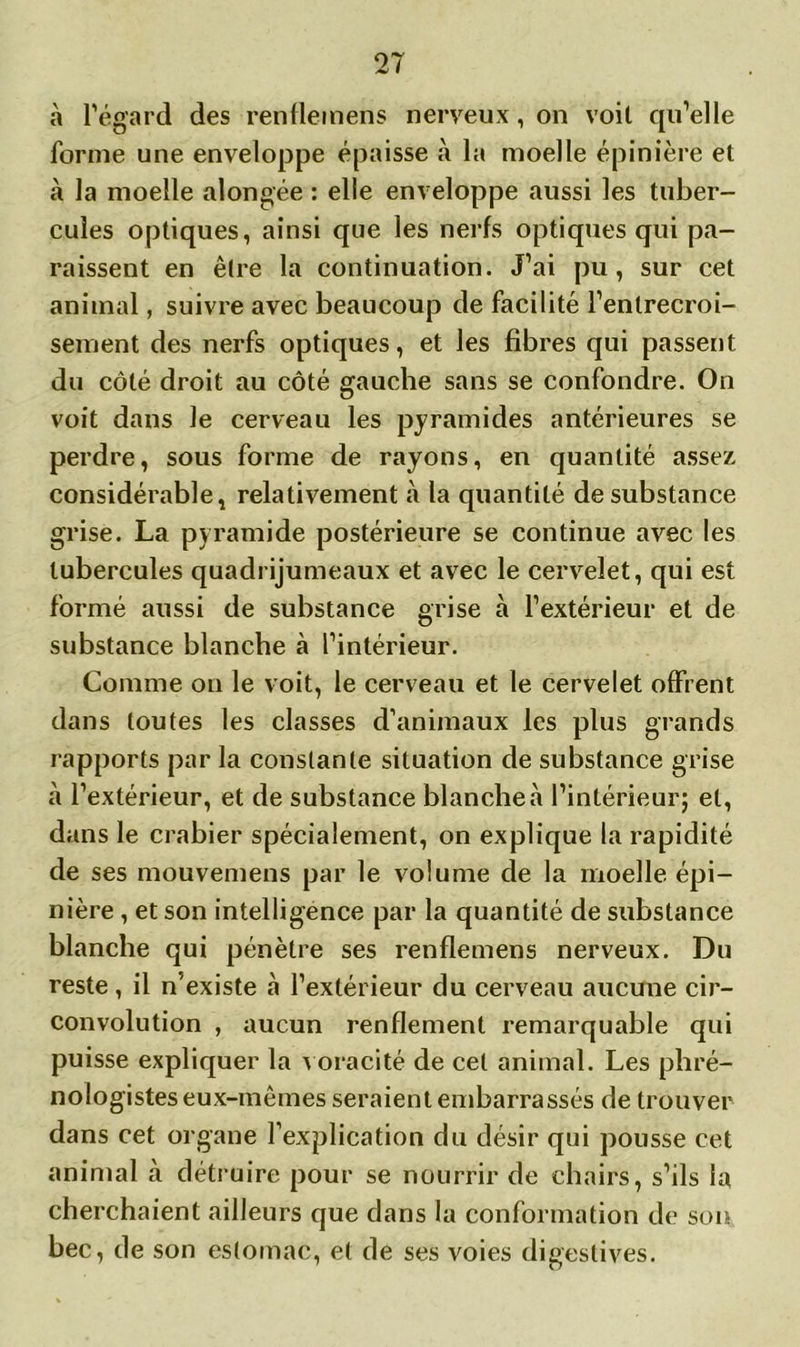 à l’égard des renflemens nerveux, on voit qu’elle forme une enveloppe épaisse à la moelle épinière et à la moelle alongée : elle enveloppe aussi les tuber- cules optiques, ainsi que les nerfs optiques qui pa- raissent en être la continuation. J’ai pu, sur cet animal, suivre avec beaucoup de facilité l’entrecroi- sement des nerfs optiques, et les fibres qui passent du côté droit au côté gauche sans se confondre. On voit dans Je cerveau les pyramides antérieures se perdre, sous forme de rayons, en quantité assez considérable, relativement à la quantité de substance grise. La pyramide postérieure se continue avec les tubercules quadrijumeaux et avec le cervelet, qui est formé aussi de substance grise à l’extérieur et de substance blanche à l’intérieur. Comme on le voit, le cerveau et le cervelet offrent dans toutes les classes d’animaux les plus grands rapports par la constante situation de substance grise à l’extérieur, et de substance blanche à l’intérieur; et, dans le crabier spécialement, on explique la rapidité de ses mouvemens par le volume de la moelle épi- nière , et son intelligence par la quantité de substance blanche qui pénètre ses renflemens nerveux. Du reste, il n’existe à l’extérieur du cerveau aucune cir- convolution , aucun renflement remarquable qui puisse expliquer la voracité de cet animal. Les phré- nologistes eux-mêmes seraient embarrassés de trouver dans cet organe l’explication du désir qui pousse cet animal à détruire pour se nourrir de chairs, s’ils la cherchaient ailleurs que dans la conformation de son bec, de son estomac, et de ses voies digestives.